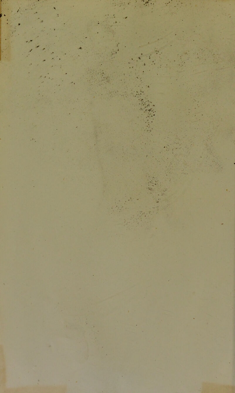 * * / A . • -' it * • ■ / * . * • V I *t