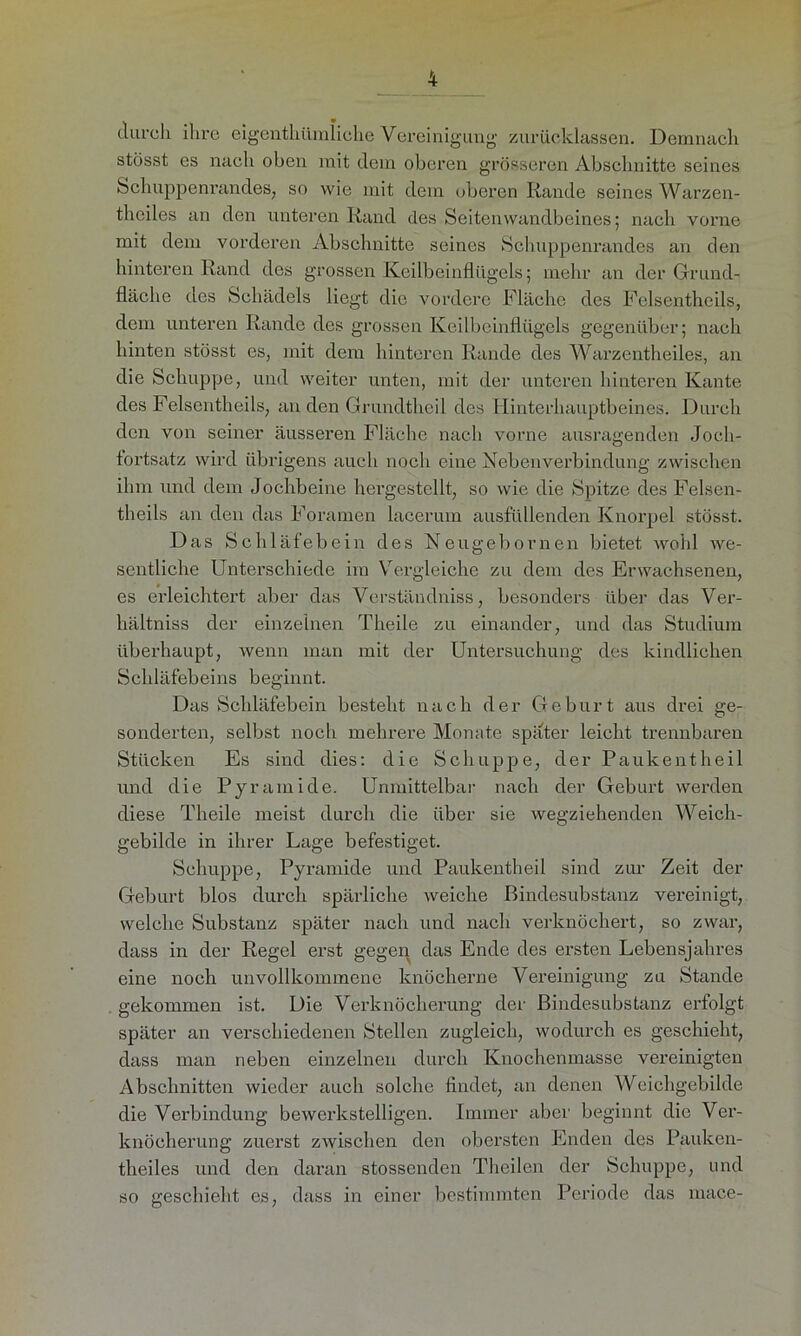 durch ihre eigentümliche Vereinigung zurücklassen. Demnach stösst es nach oben mit dem oberen grösseren Abschnitte seines Schuppenrandes, so wie mit dem oberen Rande seines Warzen- theiles an den unteren Rand des Seitenwandbeines; nach vorne mit dem vorderen Abschnitte seines Schuppenrandes an den hinteren Rand des grossen Keilbeinflügels; mehr an der Grund- fläche des Schädels liegt die vordere Fläche des Felsentheils, dem unteren Rande des grossen Keilbeinflügels gegenüber; nach hinten stösst es, mit dem hinteren Rande des Warzentheiles, an die Schuppe, und weiter unten, mit der unteren hinteren Kante des Felsentheils, an den Grundthcil des Hinterhauptbeines. Durch den von seiner äusseren Fläche nach vorne ausragenden Joch- tortsatz wird übrigens auch noch eine Nebenverbindung zwischen ihm und dem Jochbeine hergestellt, so wie die Spitze des Felsen- theils an den das Foramen laceruin ausfüllenden Knorpel stösst. Das Schläfebein des Neugebornen bietet wohl we- sentliche Unterschiede im Vergleiche zu dem des Erwachsenen, es erleichtert aber das Verständniss, besonders über das Ver- hältnis der einzelnen Theile zu einander, und das Studium überhaupt, wenn man mit der Untersuchung des kindlichen Schläfebeins beginnt. Das Schläfebein besteht nach der Geburt aus drei ge- sonderten, selbst noch mehrere Monate spater leicht trennbaren Stücken Es sind dies: die Schuppe, der Pauke nt heil und die Pyramide. Unmittelbar nach der Geburt werden diese Theile meist durch die über sie wegziehenden Weich- gebilde in ihrer Lage befestiget. Schuppe, Pyramide und Paukentheil sind zur Zeit der Geburt blos durch spärliche weiche Bindesubstanz vereinigt, welche Substanz später nach und nach verknöchert, so zwar, dass in der Regel erst gegen das Ende des ersten Lebensjahres eine noch unvollkommene knöcherne Vereinigung zu Stande gekommen ist. Die Verknöcherung der Bindesubstanz erfolgt später an verschiedenen Stellen zugleich, wodurch es geschieht, dass man neben einzelnen durch Knochenmasse vereinigten Abschnitten wieder auch solche findet, an denen Weichgebilde die Verbindung bewerkstelligen. Immer aber beginnt die Ver- knöcherung zuerst zwischen den obersten Enden des Paulcen- theiles und den daran stossenden Theilen der Schuppe, und so geschieht es, dass in einer bestimmten Periode das mace-