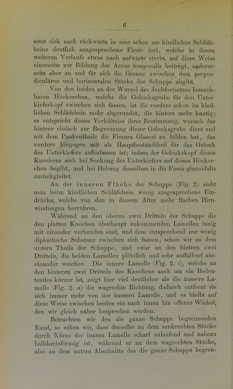 setzt sicli nach rückwärts in eine schon am kindlichen Schläfe- beine deutlich ausgesprochene Firste fort, welche in ihrem weiteren Verlaufe etwas nach aufwärts strebt, auf diese Weise einerseits zur Bildung des Arcus temporalis beiträgt, anderer- seits aber an und für sich die Grenze zwischen dem perpen- diculären und horizontalen Stücke der Schuppe abgibt. Von den beiden an der Wurzel des Jochfortsatzes bemerk- baren Höckerchen, welche die Gelenksgrube für den Unter- kieferkopf zwischen sich fassen, ist die vordere schon im kind- lichen Schläfebein mehr abgerundet, die hintere mehr kantig; es entspricht dieses Verhältniss ihrer Bestimmung, wonach das hintere einfach zur Begrenzung dieser Gelenksgrube dient und mit dem Paukentheile die Fissura Glaseri zu bilden hat, das vordere hingegen mit als Hauptbestandtlieil für das Gelenk des Unterkiefers aufzufassen ist; indem der Gelenkskopf dieses Knochens sich bei Senkung des Unterkiefers auf dieses Höcker- chen begibt, und bei Hebung desselben in die Fossa glenoidalis zurückgleitet. An der inneren Fläche der Schuppe (Fig. 2) sieht man beim kindlichen Schläfebein wenig ausgesprochene Ein- drücke, welche von den in diesem Alter mehr flachen Hirn- windungen herrühren. Während an den oberen zwei Dritteln der Schuppe die den platten Knochen überhaupt zukommenden Lamellen innig mit einander verbunden sind, und dem entsprechend nur wenig diploetische Substanz zwischen sich fassen, sehen wir an dem untern Theile der Schuppe, und zwar an den hintern zwei Dritteln, die beiden Lamellen plötzlich und sehr auffallend aus- einander weichen. Die innere Lamelle (Fig. 2. i), welche an den hinteren zwei Dritteln des Knochens auch um ein Bedeu- tendes kürzer ist, zeigt hier viel deutlicher als die äussere La- melle (Fig. 2. a) die wagrechte Richtung, dadurch entfernt sie sich immer mehr von der äussern Lamelle, und es bleibt auf diese Weise zwischen beiden ein nach innen hin offener Winkel, den wir gleich näher besprechen werden. Betrachten wir den die ganze Schuppe begrenzenden Rand, so sehen wir, dass derselbe an dem senkrechten Stücke durch Kürze der innern Lamelle scharf zulaufend und nahezu halbkreisförmig ist, während er an dem wagrechten Stücke, also an dem untern Abschnitte des die ganze Schuppe begren-