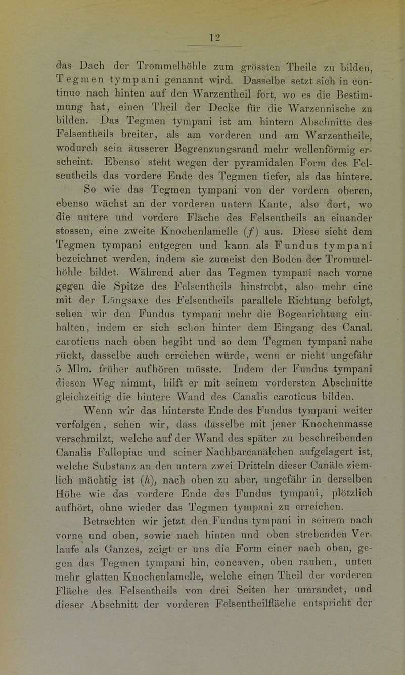 das Dach der Trommelhöhle zum grössten Theile zu bilden, Tegmen tympani genannt wird. Dasselbe setzt sich in con- tinuo nach hinten auf den Warzentheil fort, wo es die Bestim- mung hat, einen Theil der Decke für die Warzennische zu bilden. Das Tegmen tympani ist am hintern Abschnitte des Felsentheils breiter, als am vorderen und am Warzentheile, wodurch sein äusserer Begrenzungsrand mehr wellenförmig er- scheint. Ebenso steht wegen der pyramidalen Form des Fel- sentheils das vordere Ende des Tegmen tiefer, als das hintere. So wie das Tegmen tympani von der vordem oberen, ebenso wächst an der vorderen untern Kante, also dort, wo die untere und vordere Fläche des Felsentheils an einander stossen, eine zweite Knochenlamelle (f) aus. Diese sieht dem Tegmen tympani entgegen und kann als Fundus tympani bezeichnet werden, indem sie zumeist den Boden der Trommel- höhle bildet. Während aber das Tegmen tympani nach vorne gegen die Spitze des Felsentheils hinstrebt, also mehr eine mit der Liingsaxe des Felsentheils parallele Richtung befolgt, sehen wir den Fundus tympani mehr die Bogenrichtung ein- haltcn, indem er sich schon hinter dem Eingang des Canal, carotieus nach oben begibt und so dem Tegmen tympani nahe rückt, dasselbe auch erreichen würde, wenn er nicht ungefähr 5 Mim. früher aufhören müsste. Indem der Fundus tympani diesen Weg nimmt, hilft er mit seinem vordersten Abschnitte gleichzeitig die hintere Wand des Canalis carotieus bilden. Wenn wir das hinterste Ende des Fundus tympani weiter verfolgen, sehen wir, dass dasselbe mit jener Knochenmasse verschmilzt, welche auf der Wand des später zu beschreibenden Canalis Fallopiae und seiner Nachbarcanälchen aufgelagert ist, welche Substanz an den untern zwei Dritteln dieser Canäle ziem- lich mächtig ist (/i), nach oben zu aber, ungefähr in derselben Höhe wie das vordere Ende des Fundus tympani, plötzlich aufhört, ohne wieder das Tegmen tympani zu erreichen. Betrachten wir jetzt den Fundus tympani in seinem nach vorne und oben, sowie nach hinten und oben strebenden Ver- laufe als Ganzes, zeigt er uns die Form einer nach oben, ge- gen das Tegmen tympani hin, concaven, oben rauhen, unten mehr glatten Knochenlamelle, welche einen Theil der vorderen Fläche des Felsentheils von drei Seiten her umrandet, und dieser Abschnitt der vorderen Felsentheilfiäche entspricht der