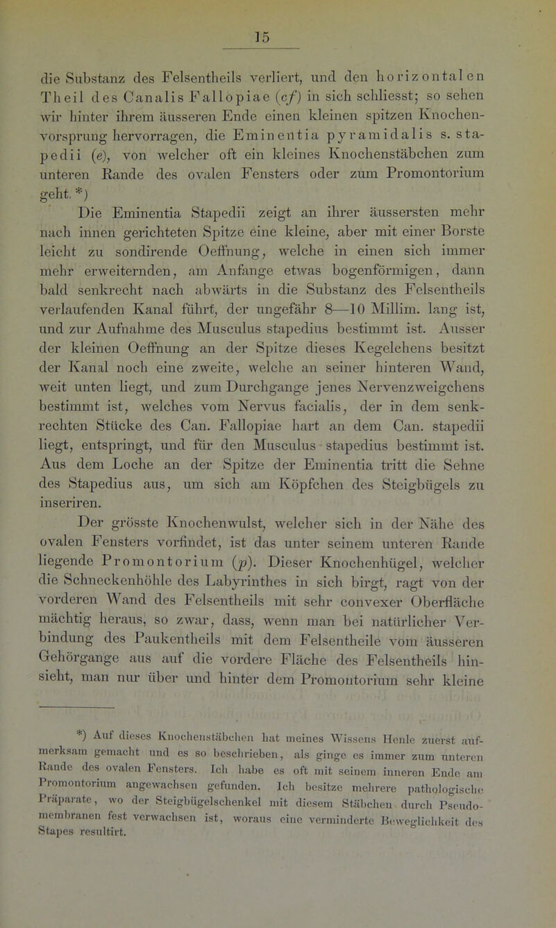 die Substanz des Felsentheils verliert, und den horizontalen Th eil des Canalis Fallopiae (cf) in sieh schliesst; so sehen wir hinter ihrem äusseren Ende einen kleinen spitzen Knochen- vorsprung hervorragen, die Eminentia pyramidalis s. sta- pedii (e), von welcher oft ein kleines Knochenstäbchen zum unteren Rande des ovalen Fensters oder zum Promontorium geht. *) Die Eminentia Stapedii zeigt an ihrer äussersten mehr nach innen gerichteten Spitze eine kleine, aber mit einer Borste leicht zu sondirende Oeffnung, welche in einen sich immer mehr erweiternden, am Anfänge etwas bogenförmigen, dann bald senkrecht nach abwärts in die Substanz des Felsentheils verlaufenden Kanal führt, der ungefähr 8—10 Millim. lang ist, und zur Aufnahme des Musculus stapedius bestimmt ist. Ausser der kleinen Oeffnung an der Spitze dieses Kegelehens besitzt der Kanal noch eine zweite, welche an seiner hinteren Wand, weit unten liegt, und zum Durchgänge jenes Nervenzweigchens bestimmt ist, welches vom Nervus facialis, der in dem senk- rechten Stücke des Can. Fallopiae hart an dem Can. stapedii liegt, entspringt, und für den Musculus stapedius bestimmt ist. Aus dem Loche an der Spitze der Eminentia tritt die Sehne des Stapedius aus, um sich am Köpfchen des Steigbügels zu inseriren. Der grösste Knochenwulst, welcher sich in der Nähe des ovalen Fensters vorfindet, ist das unter seinem unteren Rande liegende Promontorium (p). Dieser Knochenhügel, welcher die Schneckenhöhle des Labyrinthes in sich birgt, ragt von der vorderen Wand des Felsentheils mit sehr convexer Oberfläche mächtig heraus, so zwar, dass, wenn man bei natürlicher Ver- bindung des Paukentheils mit dem Felsentheile vom äusseren Gehörgange aus auf die vordere Fläche des Felsentheils hin- sieht, man nur über und hinter dem Promontorium sehr kleine *) Auf dieses Knochenstäbchen hat meines Wissens Henle zuerst auf- merksam gemacht und es so beschrieben, als ginge es immer zum unteren Rande des ovalen Fensters. Ich habe es oft mit seinem inneren Ende am Promontorium angewachsen gefunden. Ich besitze mehrere pathologische Präparate, wo der Steigbügelschenkel mit diesem Stäbchen durch Pseudo- membranen fest verwachsen ist, woraus eine verminderte Beweglichkeit des Stapes resultirt.