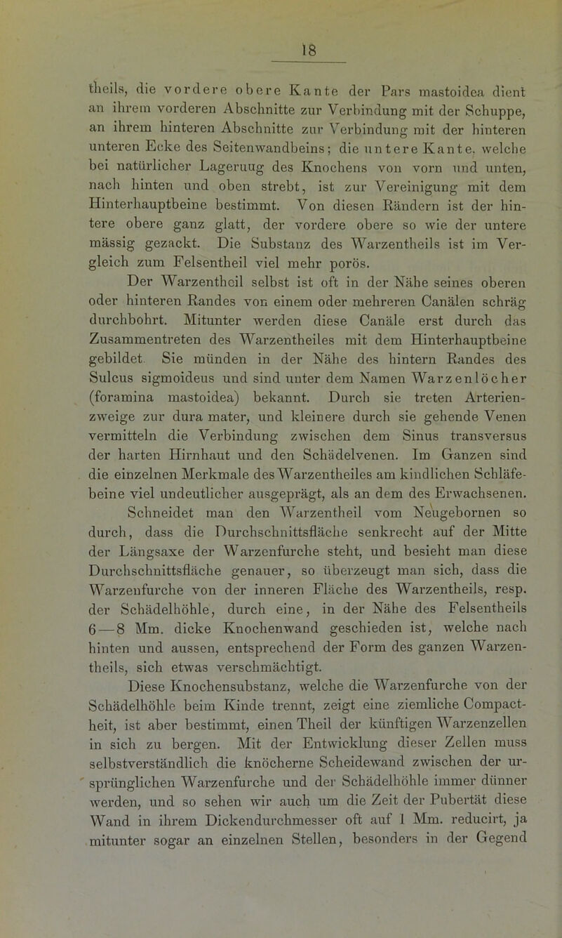 tlieils, die vordere obere Kante der Pars mastoidea dient an ihrem vorderen Abschnitte zur Verbindung mit der Schuppe, an ihrem hinteren Abschnitte zur Verbindung mit der hinteren unteren Ecke des Seitenwandbeins; die untere Kante, welche bei natürlicher Lageruug des Knochens von vorn und unten, nach hinten und oben strebt, ist zur Vereinigung mit dem Hinterhauptbeine bestimmt. Von diesen Rändern ist der hin- tere obere ganz glatt, der vordere obere so wie der untere massig gezackt. Die Substanz des Warzentheils ist im Ver- gleich zum Felsentheil viel mehr porös. Der Warzenthcil selbst ist oft in der Nähe seines oberen oder hinteren Randes von einem oder mehreren Canälen schräg durchbohrt. Mitunter werden diese Canäle erst durch das Zusammentreten des Warzentheiles mit dem Hinterhauptbeine gebildet. Sie münden in der Nähe des hintern Randes des Sulcus sigmoideus und sind unter dem Namen Warzenlöcher (foramina mastoidea) bekannt. Durch sie treten Arterien- zweige zur dura mater, und kleinere durch sie gehende Venen vermitteln die Verbindung zwischen dem Sinus transversus der harten Hirnhaut und den Schädelvenen. Im Ganzen sind die einzelnen Merkmale des Warzentheiles am kindlichen Schläfe- beine viel undeutlicher ausgeprägt, als an dem des Erwachsenen. Schneidet man den Warzentheil vom Neugebornen so durch, dass die Durchschnittsfläche senkrecht auf der Mitte der Längsaxe der Warzenfurche steht, und besieht man diese Durchschnittsfläche genauer, so überzeugt man sich, dass die Warzenfurche von der inneren Fläche des Warzentheils, resp. der Schädelhöhle, durch eine, in der Nähe des Felsentheils 6 — 8 Mm. dicke Knochenwand geschieden ist, welche nach hinten und aussen, entsprechend der Form des ganzen Warzen- theils, sich etwas verschmächtigt. Diese Knochensubstanz, welche die Warzenfurche von der Schädelhöhle beim Kinde trennt, zeigt eine ziemliche Compact- heit, ist aber bestimmt, einen Theil der künftigen Warzenzellen in sich zu bergen. Mit der Entwicklung dieser Zellen muss selbstverständlich die knöcherne Scheidewand zwischen der ur- sprünglichen Warzenfurche und der Schädelhöhle immer dünner werden, und so sehen wir auch um die Zeit der Pubertät diese Wand in ihrem Dickendurchmesser oft auf 1 Mm. reducirt, ja mitunter sogar an einzelnen Stellen, besonders in der Gegend