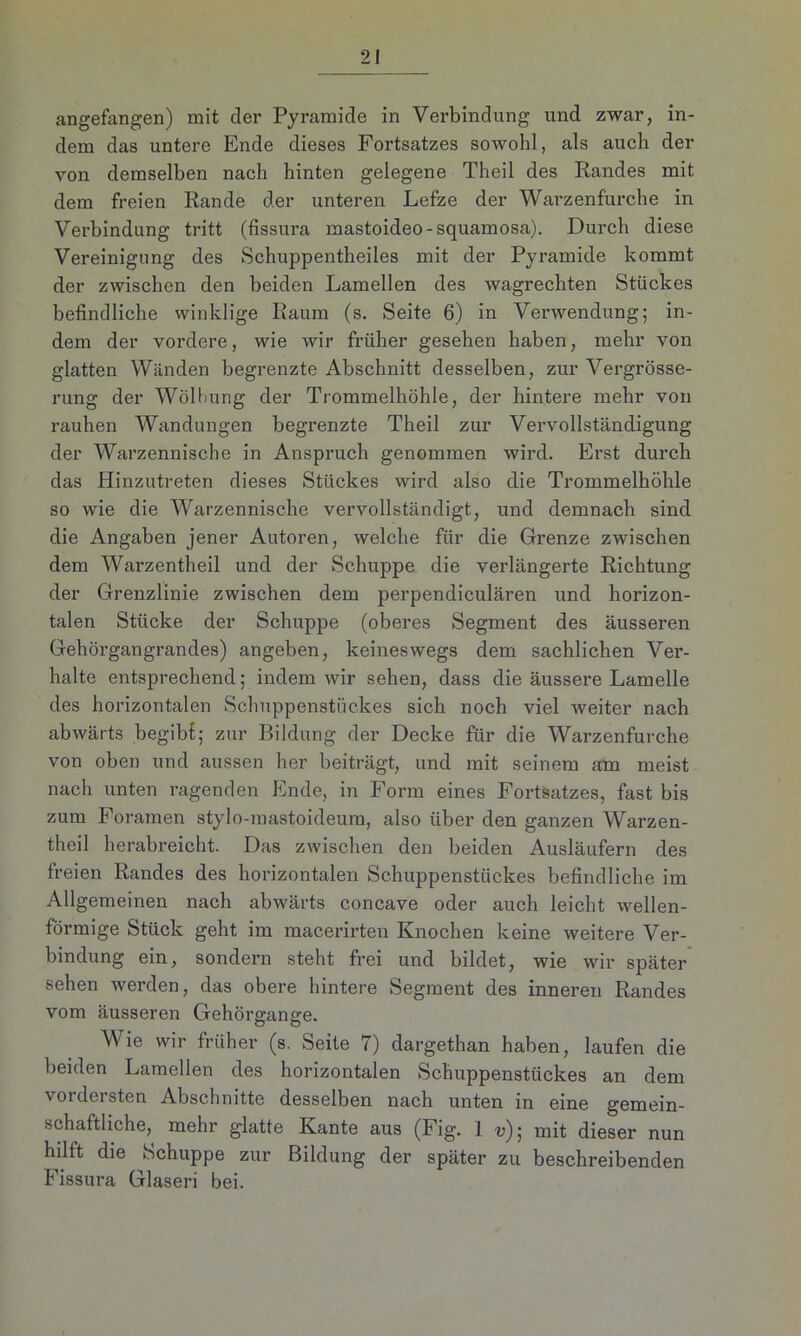 angefangen) mit der Pyramide in Verbindung und zwar, in- dem das untere Ende dieses Fortsatzes sowohl, als auch der von demselben nach hinten gelegene Tlieil des Randes mit dem freien Rande der unteren Lefze der Warzenf'urche in Verbindung tritt (fissura mastoideo-squamosa). Durch diese Vereinigung des Schuppentheiles mit der Pyramide kommt der zwischen den beiden Lamellen des wagrechten Stückes befindliche winklige Raum (s. Seite 6) in Verwendung; in- dem der vordere, wie wir früher gesehen haben, mehr von glatten Wänden begrenzte Abschnitt desselben, zur Vergrösse- rung der Wölbung der Trommelhöhle, der hintere mehr von rauhen Wandungen begrenzte Theil zur Vervollständigung der Warzennische in Anspruch genommen wird. Erst durch das Hinzutreten dieses Stückes wird also die Trommelhöhle so wie die Warzennische vervollständigt, und demnach sind die Angaben jener Autoren, welche für die Grenze zwischen dem Warzentheil und der Schuppe die verlängerte Richtung der Grenzlinie zwischen dem perpendiculären und horizon- talen Stücke der Schuppe (oberes Segment des äusseren Gehörgangrandes) angeben, keineswegs dem sachlichen Ver- halte entsprechend; indem wir sehen, dass die äussere Lamelle des horizontalen Schuppenstückes sich noch viel weiter nach abwärts begibt; zur Bildung der Decke für die Warzenfurche von oben und aussen her beiträgt, und mit seinem am meist nach unten ragenden Ende, in Form eines Fortsatzes, fast bis zum Foramen stylo-mastoideum, also über den ganzen Warzen- theil herabreicht. Das zwischen den beiden Ausläufern des freien Randes des horizontalen Schuppenstückes befindliche im Allgemeinen nach abwärts concave oder auch leicht wellen- förmige Stück geht im macerirten Knochen keine weitere Ver- bindung ein, sondern steht frei und bildet, wie wir später sehen werden, das obere hintere Segment des inneren Randes vom äusseren Gehörgange. Wie wir früher (s. Seite 7) dargethan haben, laufen die beiden Lamellen des horizontalen Schuppenstückes an dem vordersten Abschnitte desselben nach unten in eine gemein- schaftliche, mehr glatte Kante aus (Fig. 1 u); mit dieser nun hilft die Schuppe zur Bildung der später zu beschreibenden Fissura Glaseri bei.