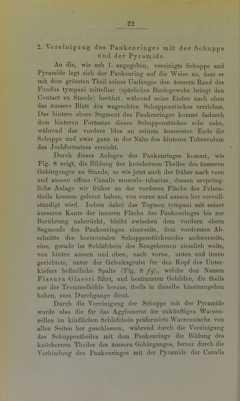 2. Vereinigung des Pauken ringes mit der Schuppe und der Pyramide. An die, wie sub 1. angegeben, vereinigte Schuppe und Pyramide legt sich der Paukenring auf die Weise an, dass er mit dem grössten Theil seines Umfanges den äussern Rand des Fundus tympani mittelbar (spärliches Bindegewebe bringt den Contact zu Stande) berührt, während seine Enden nach oben das äussere Blatt des wagrechten Schuppenstückes erreichen. Das hintere obere Segment des Paukenringes kommt dadurch dem hinteren Fortsatze dieses Schuppenstückes sehr nahe, während das vordere blos an seinem äussersten Ende die Schuppe und zwar ganz in der Nähe des hinteren Tuberculum des Jochfortsatzes erreicht. Durch dieses Anlegen des Paukenringes kommt, wie Fig. 8 zeigt, die Bildung des knöchernen Theiles des äusseren Gehörganges zu Stande, so wie jetzt auch der früher nach vorn und aussen offene Canalis musculo-tubarius, dessen ursprüng- liche Anlage wir früher an der vorderen Fläche des Felsen- theils kennen gelernt haben, von vorne und aussen her vervoll- ständigt wird. Indem dabei das Tegmen tympani mit seiner äusseren Kante der inneren Fläche des Paukenringes bis zur Berührung naherückt, bleibt zwischen dem vordem obern Segmente des Paukenringes einerseits, dem vordersten Ab- schnitte des horizontalen Schuppenstückrandes andererseits, eine, gerade im Schläfebein des Neugebornen ziemlich weite, von hinten aussen und oben, nach vorne, unten und innen gerichtete, unter der Gelenksgrube für den Kopf des Unter- kiefers befindliche Spalte (Fig. 8 fg), welche den Namen Fissura Glaseri führt, und bestimmten Gebilden, die theils aus der Trommelhöhle heraus, theils in dieselbe hineinzugehen haben, zum Durchgänge dient. Durch die Vereinigung der Schuppe mit der Pyramide wurde also die für das Agglomerat der zukünftigen Warzen- zellen im kindlichen Schläfebein präformirte Warzennische von allen Seiten her geschlossen, während durch die Vereinigung des Schuppentheiles mit dem Paukenringe die Bildung des knöchernen Theiles des äussern Gehörganges, ferner durch die Verbindung des Paukenringes mit der Pyramide der Canalis