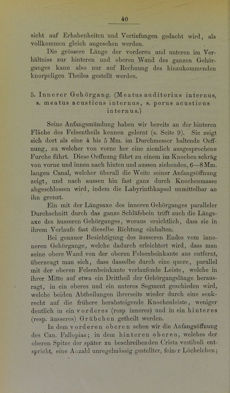 sicht auf Erhabenheiten und Vertiefungen gedacht wird, als vollkommen gleich angesehen werden. Die grössere Länge der vorderen und unteren im Ver- hältniss zur hinteren und oberen Wand des ganzen Gehör- ganges kann also nur auf Rechnung des hinzukommenden knorpeligen Theiles gestellt werden. 5. Innerer Gehörgang. (Meatus auditorius internus, s. meatus acusticus internus, s. porus acusticus internus.) Seine Anfangsmündung haben wir bereits an der hinteren Fläche des Felsentheils kennen gelernt (s. Seite 9). Sie zeigt sich dort als eine 4 bis 5 Mm. im Durchmesser haltende Oeff- nung, zu welcher von vorne her eine ziemlich ausgesprochene Furche führt. Diese Oeffnung führt zu einem im Knochen schräg von vorne und innen nach hinten und aussen ziehenden, 6—8 Mm. langen Canal, welcher überall die Weite seiner Anfangsöffnung zeigt, und nach aussen hin fast ganz durch Knochenmasse abgeschlossen wird, indem die Labyrinthkapsel unmittelbar an ihn grenzt. Ein mit der Längsaxe des inneren Gehörganges paralleler Durchschnitt durch das ganze Schläfebein trifft auch die Längs- axe des äusseren Gehörganges, woraus ersichtlich, dass sie in ihrem Verlaufe fast dieselbe Richtung einhalten. Bei genauer Besichtigung des äusseren Endes vom inne- neren Gehörgange, welche dadurch erleichtert wird, dass man seine obere Wand von der oberen Felsenbeinkante aus entfernt, überzeugt man sich, dass dasselbe durch eine quere, parallel mit der oberen Felsenbeinkante verlaufende Leiste, welche in ihrer Mitte auf etwa ein Drittheil der Gehörgangslänge heraus- ragt, in ein oberes und ein unteres Segment geschieden wird, welche beiden Abtheilungen ihrerseits wieder durch eine senk- recht auf die frühere herabsteigende Knochenleiste, weniger deutlich in ein vorderes (resp. inneres) und in ein hinteres (resp. äusseres) Grübchen getheilt werden. In dem vorderen oberen sehen wir die Anfangsöffnung des Can. Fallopiae; in dem hinteren oberen, welches der oberen Spitze der später zu beschreibenden Crista vestibuli ent- spricht, eine Anzahl unregelmässig gestellter, feiner Löchelchen;