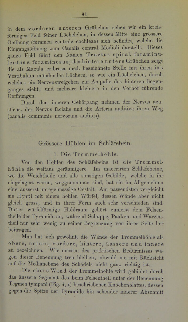 in dem vorderen unteren Grübchen sehen wir ein kreis- förmiges Feld feiner Löchelchen, in dessen Mitte eine grössere Oeffnung (foramen centrale cochleae) sich befindet, welche die Eingangsöffnung zum Canalis central. Modioli darstellt. Dieses ganze Feld führt den Namen Tractus spiral, foraminu- lentus s. foraminosusj das hintere untere Grübchen zeigt die als Macula cribrosa med. bezeichnete Stelle mit ihren in’s Vestibulum mündenden Löchern, so wie ein Löchelchen, durch welches ein Nervenzweigchen zur Ampulle des hinteren Bogen- ganges zieht, und mehrere kleinere in den Vorhof führende Oeffnungen. Durch den inneren Gehörgang nehmen der Nervus acu- sticus, der Nervus facialis und die Arteria auditiva ihren Weg (canalis communis nervorum auditus). Grössere Höhlen im Schläfebein. 1. Die Trommelhöhle. Von den Höhlen des Schläfebeins ist die Trommel- höhle die weitaus geräumigere. Im macerirten Schläfebeine, wo die Weichtheile und alle sonstigen Gebilde, welche in ihr eingelagert waren, weggenommen sind, hat sie im Allgemeinen eine äusserst unregelmässige Gestalt. Am passendsten vergleicht sie Hyrtl mit einem hohlen Würfel, dessen Wände aber nicht gleich gross, und in ihrer Form auch sehr verschieden sind. Dieser würfelförmige Hohlraum gehört zumeist dem Felsen- theile der Pyramide an, während Schuppe, Pauken- und Warzen- theil nur sehr wenig zu seiner Begrenzung von ihrer Seite her beitragen. Man hat sich gewöhnt, die Wände der Trommelhöhle als obere, untere, vordere, hintere, äussere und innere zu bezeichnen. Wir müssen des praktischen Bedürfnisses we- gen dieser Benennung treu bleiben, obwohl sie mit Rücksicht auf die Medianebene des Schädels nicht ganz richtig ist. Die obere Wand der Trommelhöhle wird gebildet durch das äussere Segment des beim Felsentheil unter der Benennung Tegmen tympani (Fig. 4, t) beschriebenen Knochenblattes, dessen gegen die Spitze der Pyramide hin sehender innerer Abschnitt