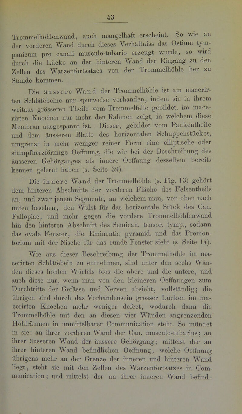 Trommelhöhlenwand, auch mangelhaft erscheint. So wie an der vorderen Wand durch dieses Verhältniss das Ostium tym- panicum pro canali musculo-tubario erzeugt wurde, so wird durch die Lücke an der hinteren Wand der Eingang zu den Zellen des Warzenfortsatzes von der Trommelhöhle her zu Stande kommen. Die äussere Wand der Trommelhöhle ist am macerii- ten Schläfebeine nur spurweise vorhanden, indem sie in ihrem weitaus grösseren Tlieile vom Trommelfelle gebildet, im mace- rirten Knochen nur mehr den Rahmen zeigt, in welchem diese Membran ausgespannt ist. Dieser, gebildet vom Paukentheile und dem äusseren Blatte des horizontalen Schuppenstückes, umgrenzt in mehr weniger reiner Form eine elliptische oder stumpfherzförmige OefFnung, die wir bei der Beschreibung des äusseren Gehörganges als innere OefFnung desselben bereits kennen gelernt haben (s. Seite 39). Die innere Wand der Trommelhöhle (s. Fig. 13) gehört dem hinteren Abschnitte der vorderen Fläche des Felsentheils an, und zwar jenem Segmente, an welchem man, von oben nach unten besehen, den Wulst für das horizontale Stück des Can. Fallopiae, und mehr gegen die vordere Trommelhühlenwand hin den hinteren Abschnitt des Semican. tensor. tymp., sodann das ovale Fenster, die Eminentia pyramid. und das Promon- torium mit der Nische für das rundfe Fenster sieht (s Seite 14). Wie aus dieser Beschreibung der Trommelhöhle im ma- cerirten Schläfebein zu entnehmen, sind unter den sechs Wän- den dieses hohlen Würfels blos die obere und die untere, und auch diese nur, wenn man von den kleineren Oeffnungen zum Durchtritte der Gefässe und Nerven absieht, vollständig; die übrigen sind durch das Vorhandensein grosser Lücken im ma- cerirten Knochen mehr weniger defect, wodurch dann die Trommelhöhle mit den an diesen vier Wänden angrenzenden Hohlräumen in unmittelbarer Communication steht. So mündet in sie: an ihrer vorderen Wand der Can. musculo-tubarius; an ihrer äusseren Wand der äussere Gehörgang; mittelst der an ihrer hinteren Wand befindlichen OefFnung, welche OefFnung übrigens mehr an der Grenze der inneren und hinteren Wand liegt, steht sie mit den Zellen des Warzenfortsatzes in Com- munication; und mittelst der an ihrer inneren Wand befind-