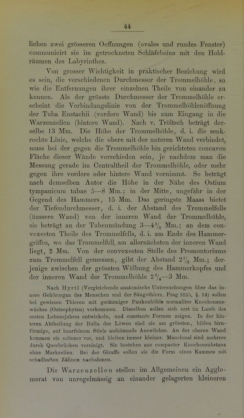 liehen zwei grösseren Oeffnungen (ovales uncl rundes Fenster) communicirt sie im getrockneten Schläfebeine mit den Hohl- räumen des Labyrinthes. Von grosser Wichtigkeit in praktischer Beziehung wird es sein, die verschiedenen Durchmesser der Trommelhöhle, so wie die Entfernungen ihrer einzelnen Theile von einander zu kennen. Als der grösste Durchmesser der Trommelhöhle er- scheint die Verbindungslinie von der Trommelhöhlenöffnung der Tuba Eustachii (vordere Wand) bis zum Eingang in die Warzenzellen (hintere Wand). Nach v. Tröltsch beträgt der- selbe 13 Mm. Die Höhe der Trommelhöhle, d. i. die senk- rechte Linie, welche die obere mit der unteren Wand verbindet, muss bei der gegen die Trommelhöhle hin gerichteten concaven Fläche dieser Wände verschieden sein, je nachdem man die Messung gerade im Centraltheil der Trommelhöhle, oder mehr gegen ihre vordere oder hintere Wand vornimmt. So beträgt nach demselben Autor die Höhe in der Nähe des Ostium tympanicum tubae 5—8 Mm.; in der Mitte, ungefähr in der Gegend des Hammers, 15 Mm. Das geringste Maass bietet der Tiefendurchmesser, d. i. der Abstand des Trommelfells (äussere Wand) von der inneren Wand der Trommelhöhle, sie beträgt an der Tubenmündung 3—4% Mm.; an dem con- vexesten Theile des Trommelfells, d. i. am Ende des Hammer- griffes, wo das Trommelfell am allernächsten der inneren Wand liegt, 2 Mm. Von der convexesten Stelle des Promontoriums zum Trommelfell gemessen, gibt der Abstand 21/2 Mm.; der- jenige zwischen der grössten Wölbung des Hammerkopfes und der inneren Wand der Trommelhöhle 2a/4—3 Mm. Nach Hyrtl (Vergleichende anatomische Untersuchungen über das in- nere Gehörorgan des Menschen und der Säugethiere. Prag 1855, §. 14) sollen bei gewissen Thieren mit geräumiger Paukenhöhle normaliter Knochenaus- wüchse (Osteophyten) Vorkommen. Dieselben sollen sich erst im Laufe des ersten Lebensjahres entwickeln, und constante Formen zeigen. In der hin- teren Abtheilung der Bulla des Löwen sind sie am grössten, bilden hirn- förmige, auf haarfeinem Stiele aufsitzende Auswüchse. An der oberen Wand kommen sie seltener vor, und bleiben immer kleiner. Manchmal sind mehrere durch Querhrücken vereinigt. Sie bestehen aus compacter Knochensubstanz ohne Markzellen. Bei der Giraffe sollen sie die Form eines Kammes mit schadhaften Zähnen naebahmen. Die Warzenzellen stellen im Allgemeinen ein Agglo- merat von unregelmässig an einander gelagerten kleineren