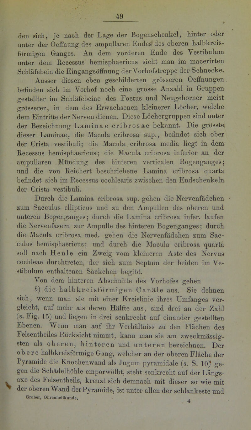 den sich, je nach der Lage der Bogenschenkel, hinter oder unter der ÖefFnung des ampullären Endes des oberen halbkreis- förmigen Ganges. An dem vorderen Ende des Vestibulum unter dem Recessus hemisphaericus sieht man im macerirten Schläfebein die Eingangsöffnung der Vorhofstreppe der Schnecke. Ausser diesen eben geschilderten grösseren Oeffnungen. befinden sich im Vorhof noch eine grosse Anzahl in Gruppen gestellter im Schläfebeine des Foetus und Neugeborner meist grösserer, in dem des Erwachsenen kleinerer Löcher, welche dem Eintritte der Nerven dienen. Diese Löchergruppen sind unter der Bezeichnung Laminae cribrosae bekannt. Die grösste; dieser Laminae, die Macula ci’ibrosa sup., befindet sich ober der Crista vestibuli; die Macula cribrosa media liegt in dem Recessus hemisphaericus; die Macula cribrosa inferior an der ampullären Mündung des hinteren verticalen Bogenganges; und die von Reichert beschriebene Lamina cribrosa quarta befindet sich im Recessus cochlearis zwischen den Endschenkeln der Crista vestibuli. Durch die Lamina cribrosa sup. gehen die Nervenfadchen • zum Sacculus ellipticus und zu den Ampullen des obei’en und unteren Bogenganges; durch die Lamina cribrosa infer. laufen die Nervenfasern zur Ampulle des hinteren Bogenganges; durch die Macula cribrosa med. gehen die Nervenfadchen zum Sac- culus hemisphaericus; und durch die Macula cribrosa quarta soll nach Henle ein Zweig vom kleineren Aste des Nervus cochleae durchtreten, der sich zum Septum der beiden im Ve- stibulum enthaltenen Säckchen begibt. Von dem hinteren Abschnitte des Vorhofes geben b) die halbkreisförmigen Canäle aus. Sie dehnen sich, wenn man sie mit einer Kreislinie ihres Umfanges ver- gleicht, auf mehr als deren Hälfte aus, sind drei an der Zahl (s. Eig. 15) und liegen in drei senkrecht auf einander gestellten Ebenen. Wenn man auf ihr Verhältniss zu den Flächen des Felsentheiles Rücksicht nimmt, kann man sie am zweckmässig- sten als oberen, hinteren und unteren bezeichnen. Der obere halbkreisförmige Gang, welcher an der oberen Fläche der Pyramide die Knochenwand als Jugum pyramidale (s. S. 10) ge- gen die Schädelhöhle emporwölbt, steht senkrecht auf der Längs- axe des Felsentheils, kreuzt sich demnach mit dieser so wie mit ^ der oberen Wand der Pyramide, ist unter allen der schlankeste und Gruber, Ohrenheilkunde.