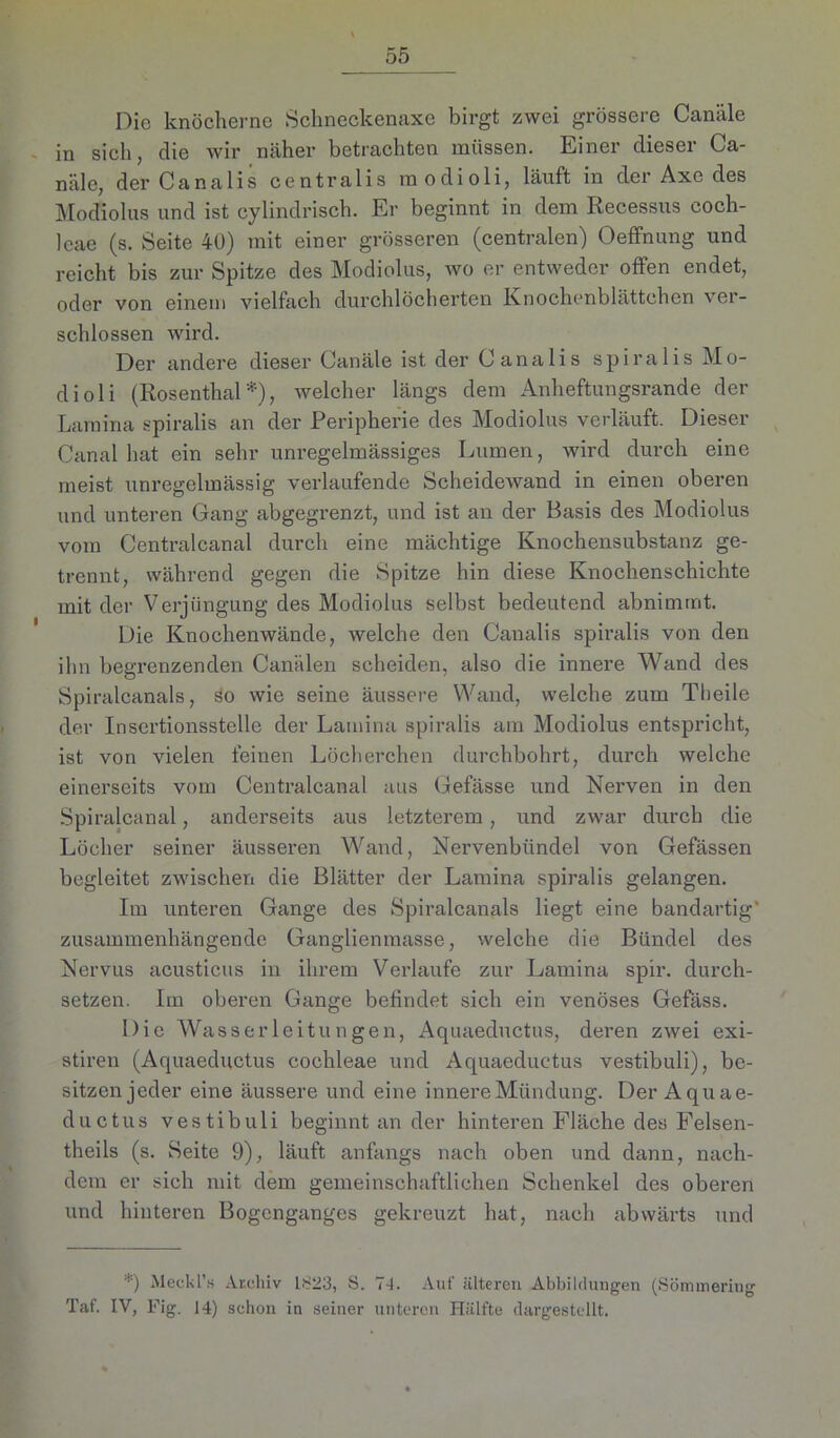 Die knöcherne Schneekenaxe birgt zwei grössere Canäle in sich, die wir näher betrachten müssen. Einer dieser Ca- näle, der Canalis centralis modioli, läuft in der Axe des Modiolus und ist cylindrisch. Er beginnt in dem Recessus coch- lcae (s. Seite 40) mit einer grösseren (centralen) Oeffnung und reicht bis zur Spitze des Modiolus, wo er entweder offen endet, oder von einem vielfach durchlöcherten Knochenblättchen ver- schlossen wird. Der andere dieser Canäle ist der Canalis spiralis Mo- dioli (Rosenthal *), welcher längs dem Anheftungsrande der Lamina spiralis an der Peripherie des Modiolus verläuft. Dieser Canal hat ein sehr unregelmässiges Lumen, wird durch eine meist unregelmässig verlaufende Scheidewand in einen oberen und unteren Gang abgegrenzt, und ist an der Basis des Modiolus vom Centralcanal durch eine mächtige Knochensubstanz ge- trennt, während gegen die Spitze hin diese Knochenschichte mit der Verjüngung des Modiolus selbst bedeutend abnimmt. Die Knochenwände, welche den Canalis spiralis von den ihn begrenzenden Canälen scheiden, also die innere Wand des Spiralcanals, so wie seine äussere Wand, welche zum Tlieile der Insertionsstelle der Lamina spiralis am Modiolus entspricht, ist von vielen feinen Löcherchen durchbohrt, durch welche einerseits vom Centralcanal aus Gefässe und Nei’ven in den Spiralcanal, anderseits aus letzterem, und zwar durch die Löcher seiner äusseren Wand, Nervenbündel von Gefässen begleitet zwischen die Blätter der Lamina spiralis gelangen. Im unteren Gange des Spiralcanals liegt eine bandartig' zusammenhängende Ganglienmasse, welche die Bündel des Nervus acusticus in ihrem Verlaufe zur Lamina spir. durch- setzen. Im oberen Gange befindet sich ein venöses Gefäss. Die Wasserleitungen, Aquaeductus, deren zwei exi- stiren (Aquaeductus cochleae und Aquaeductus vestibuli), be- sitzen jeder eine äussere und eine innere Mündung. Der Aquae- ductus vestibuli beginnt an der hinteren Fläche des Felsen- theils (s. Seite 9), läuft anfangs nach oben und dann, nach- dem er sich mit dem gemeinschaftlichen Schenkel des oberen und hinteren Bogenganges gekreuzt hat, nach abwärts und *) Meckl’s Archiv 1823, S. 74. Auf älteren Abbildungen (Sömmeriug Taf. IV, Fig. 14) schon in seiner unteren Hälfte dargestellt.