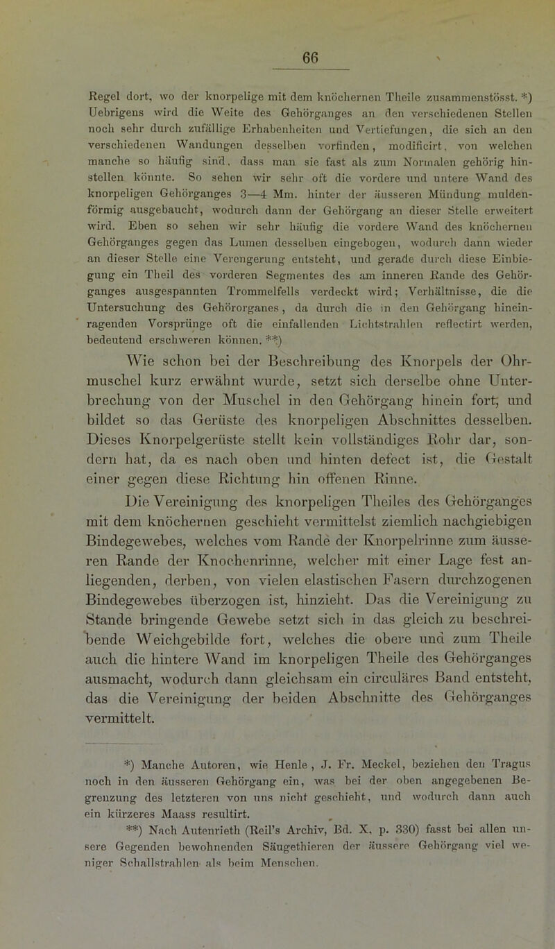 Regel dort, wo der knorpelige mit dem knöchernen Theile zusammenstösst. *) Uebrigeus wird die Weite des Gehörganges an den verschiedenen Stellen noch sehr durch zufällige Erhabenheiten und Vertiefungen, die sich an den verschiedenen Wandungen desselben vorfinden, modificirt, von welchen manche so häufig sind, dass man sie fast als zum Normalen gehörig hin- stellen könnte. So sehen wir sehr oft die vordere und untere Wand des knorpeligen Gehörganges 3—4 Mm. hinter der äusseren Mündung mulden- förmig ausgebaucht, wodurch dann der Gehörgang an dieser Stelle erweitert wird. Eben so sehen wir sehr häufig die vordere Wand des knöchernen Gehörganges gegen das Lumen desselben eingebogen, wodurch dann wieder an dieser Stelle eine Verengerung entsteht, und gerade durch diese Einbie- gung ein Theil des vorderen Segmentes des am inneren Rande des Gehör- ganges ausgespannten Trommelfells verdeckt wird; Verhältnisse, die die Untersuchung des Gehörorganes, da durch die in den Gehörgang hinein- ragenden Vorsprünge oft die einfallenden Lichtstrahlen reflectirt werden, bedeutend erschweren können. **) Wie schon bei der Beschreibung des Knorpels der Ohr- muschel kurz erwähnt wurde, setzt sich derselbe ohne Unter- brechung von der Muschel in den Gehörgang hinein fort, und bildet so das Gerüste des knorpeligen Abschnittes desselben. Dieses Knorpelgerüste stellt kein vollständiges Kohr dar, son- dern hat, da es nach oben und hinten defcct ist, die Gestalt einer gegen diese Richtung hin offenen Rinne. Die Vereinigung des knorpeligen Theiles des Gehörganges mit dem knöchernen geschieht vermittelst ziemlich nachgiebigen Bindegewebes, welches vom Rande der Knorpelrinne zum äusse- ren Rande der Knochenrinne, welcher mit einer Lage fest an- liegenden, derben, von vielen elastischen Fasern durchzogenen Bindegewebes überzogen ist, hinzieht. Das die Vereinigung zu Stande bringende Gewebe setzt sich in das gleich zu beschrei- bende Weichgebilde fort, welches die obere und zum Theile auch die hintere Wand im knorpeligen Theile des Gehörganges ausmacht, wodurch dann gleichsam ein circuläres Band entsteht, das die Vereinigung der beiden Abschnitte des Gehörganges vermittelt. *) Manche Autoren, wie Henle, J. Fr. Meckel, beziehen den Tragus noch in den äusseren Gehörgang ein, was bei der oben angegebenen Be- grenzung des letzteren von uns nicht geschieht, und wodurch dann auch ein kürzeres Maass resultirt. **) Nach Autenrieth (Reil’s Archiv, Bd. X. p. 330) fasst bei allen un- sere Gegenden bewohnenden Säugethieren der äussere Gehörgang viel we- niger Sch all strahlen als beim Menschen.