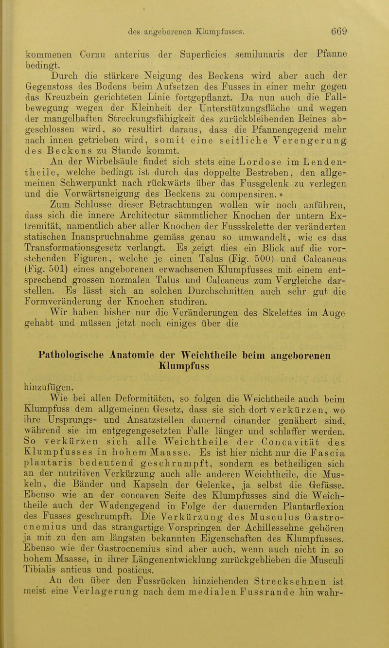 kommenen Cornu anterius der Superficies semilunaris der Pfanne bedingt. Durch die stärkere Neigung des Beckens wird aber aucii der Gegenstoss des Bodens beim Aufsetzen des Fusses in einer mehr gegen das Kreuzbein gerichteten Linie fortgepflanzt. Da nun auch die Fall- bewegung wegen der Kleinheit der Unterstützungsfläche und wegen der mangelhaften Streckungsfähigkeit des zurückbleibenden Beines ab- geschlossen wird, so resultirt daraus, dass die Pfannengegend mehr nach innen getrieben wird, somit eine seitliche Verengerung des Beckens zu Stande kommt. An der Wirbelsäule findet sich stets eine Lordose im Lenden- theile, welche bedingt ist durch das doppelte Bestreben, den allge- meinen Schwerpunkt nach rückwärts über das Fussgelenk zu verlegen und die Vorwärtsneigung des Beckens zu compensiren. ♦ Zum Schlüsse dieser Betrachtungen wollen wir noch anführen, dass sich die innere Architectur sämmthcher Knochen der untern Ex- tremität, namenthch aber aller Knochen der Fussskelette der veränderten statischen Inanspruchnahme gemäss genau so umwandelt, wie es das, Transformationsgesetz verlangt. Es zeigt dies ein Blick auf die vor- stehenden Figuren, welche je einen Talus (Fig. 500) und Calcaneus (Fig. 501) eines angeborenen erwachsenen Klumpfusses mit einem ent- sprechend grossen normalen Talus und Calcaneus zum Vergleiche dar- stellen. Es lässt sich an solchen Durchschnitten auch sehr gut die Formveränderung der Knochen studiren. Wir haben bisher nur die Veränderungen des Skelettes im Auge gehabt und müssen jetzt noch einiges über die Pathologische Anatomie der Weichtheile beim angeborenen Kliimpfuss hinzufügen. Wie bei allen Deformitäten, so folgen die Weichtheile auch beim Klumpfuss dem allgemeinen Gesetz, dass sie sich dort verkürzen, wo ihre Ursprungs- und Ansatzstellen dauernd einander genähert sind, während sie im entgegengesetzten Falle länger und schlaffer werden. So verkürzen sich alle Weichtheile der Concavität des Klumpfusses in hohem Maasse. Es ist hier nicht nur die Fascia plantaris bedeutend geschrumpft, sondern es betheiligen sich an der nutritiven Verkürzung auch alle anderen Weichtheile, die Mus- keln, die Bänder und Kapseln der Gelenke, ja selbst die Gefässe. Ebenso wie an der concaven Seite des Klumpfusses sind die Weich- theile auch der Wadengegend in Folge der dauernden Plantarflexion des Fusses geschrumpft. Die Verkürzung des Musculus Gastro- cnemius und das strangartige Vorspringen der Achillessehne gehören ja mit zu den am längsten bekannten Eigenschaften des Klumpfusses. Ebenso wie der Gastrocnemius sind aber auch, wenn auch nicht in so hohem Maasse, in ihrer Längenentwicklung zurückgeblieben die Musculi Tibialis anticus und posticus. An den über den Fussrücken hinziehenden Streck sehnen ist meist eine Verlagerung nach dem medialen Fussrande hin wahr-