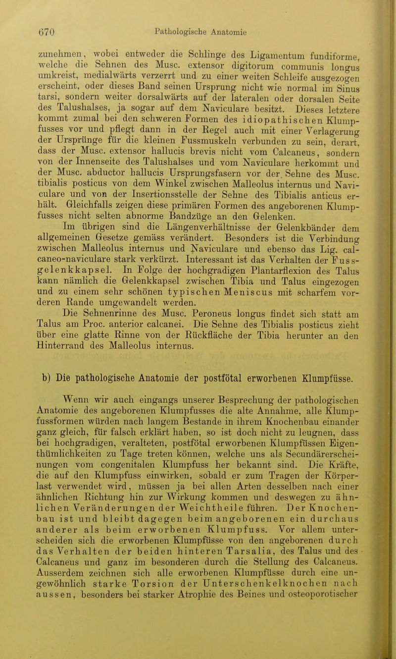 zunehmen, wobei entweder die Schlinge des Ligamentum fundiforme, welche die Sehnen des Muse, extensor digitorum communis longus umkreist, medialwärts verzerrt und zu einer weiten Schleife ausgezoo-en erscheint, oder dieses Band seinen Ursprung nicht wie normal im Sinus tarsi, sondern weiter dorsalwärts auf der lateralen oder dorsalen Seite des Talushalses, ja sogar auf dem Naviculare besitzt. Dieses letztere kommt zumal bei den schweren Formen des idiopathischen Klump- fusses vor und pflegt dann in der Regel auch mit einer Verlagerung der Ursprünge für die kleinen Fussmuskeln verbunden zu sein, derart, dass der Muse, extensor hallucis brevia nicht vom Calcaneus, sondern von der Innenseite des Talushalses und vom Naviculare herkommt und der Muse, abductor hallucis Ursprungsfasern vor der. Sehne des Muse, tibialis posticus von dem Winkel zwischen Malleolus internus und Navi- culare und von der Insertionsstelle der Sehne des Tibialis anticus er- hält. Gleichfalls zeigen diese primären Formen des angeborenen Klump- fusses nicht selten abnorme Bandzüge an den Gelenken. Im übrigen sind die Längenverhältnisse der Gelenkbänder dem allgemeinen Gesetze gemäss verändert. Besonders ist die Verbindung zwischen Malleolus internus und Naviculare und ebenso das Lig. cal- caneo-naviculare stark verkürzt. Interessant ist das Verhalten der Fuss- gelenkkapsel. In Folge der hochgradigen Plantarflexion des Talus kann nämlich die Gelenkkapsel zwischen Tibia und Talus eingezogen und zu einem sehr schönen typischen Meniscus mit scharfem vor- deren Rande umgewandelt werden. Die Sehnenrinne des Muse. Peroneus longus findet sich statt am Talus am Proc. anterior calcanei. Die Sehne des Tibialis posticus zieht über eine glatte Rinne von der Rückfläche der Tibia herunter an den Hinterrand des Malleolus internus. b) Die pathologische Anatomie der postfötal erworbenen Klumpfüsse. Wenn wir auch eingangs unserer Besprechung der pathologischen Anatomie des angeborenen Klumpfusses die alte Annahme, alle Klump- fussformen würden nach langem Bestände in ihrem Knochenbau einander ganz gleich, für falsch erklärt haben, so ist doch nicht zu leugnen, dass bei hochgradigen, veralteten, postfötal erworbenen Klumpfüssen Eigen- thümlichkeiten zu Tage treten können, welche uns als Secundärerschei- nungen vom congenitalen Klumpfuss her bekannt sind. Die Kräfte, die auf den Klumpfuss einwirken, sobald er zum Tragen der Körper- last verwendet wird, müssen ja bei allen Arten desselben nach einer ähnlichen Richtung hin zur Wirkung kommen und deswegen zu ähn- lichen Veränderungen der Weichtheile führen. Der Knochen- bau ist und bleibt dagegen beim angeborenen ein durchaus anderer als beim erworbenen Klumpfuss. Vor allem unter- scheiden sich die erworbenen Klumpfüsse von den angeborenen durch das Verhalten der beiden hinteren Tarsalia, des Talus und des Calcaneus und ganz im besonderen durch die Stellung des Calcaneus. Ausserdem zeichnen sich alle erworbenen Klumpfüsse durch eine un- gewöhnlich starke Torsion der Unterschenkelknochen nach aussen, besonders bei starker Atrophie des Beines und osteoporotischer