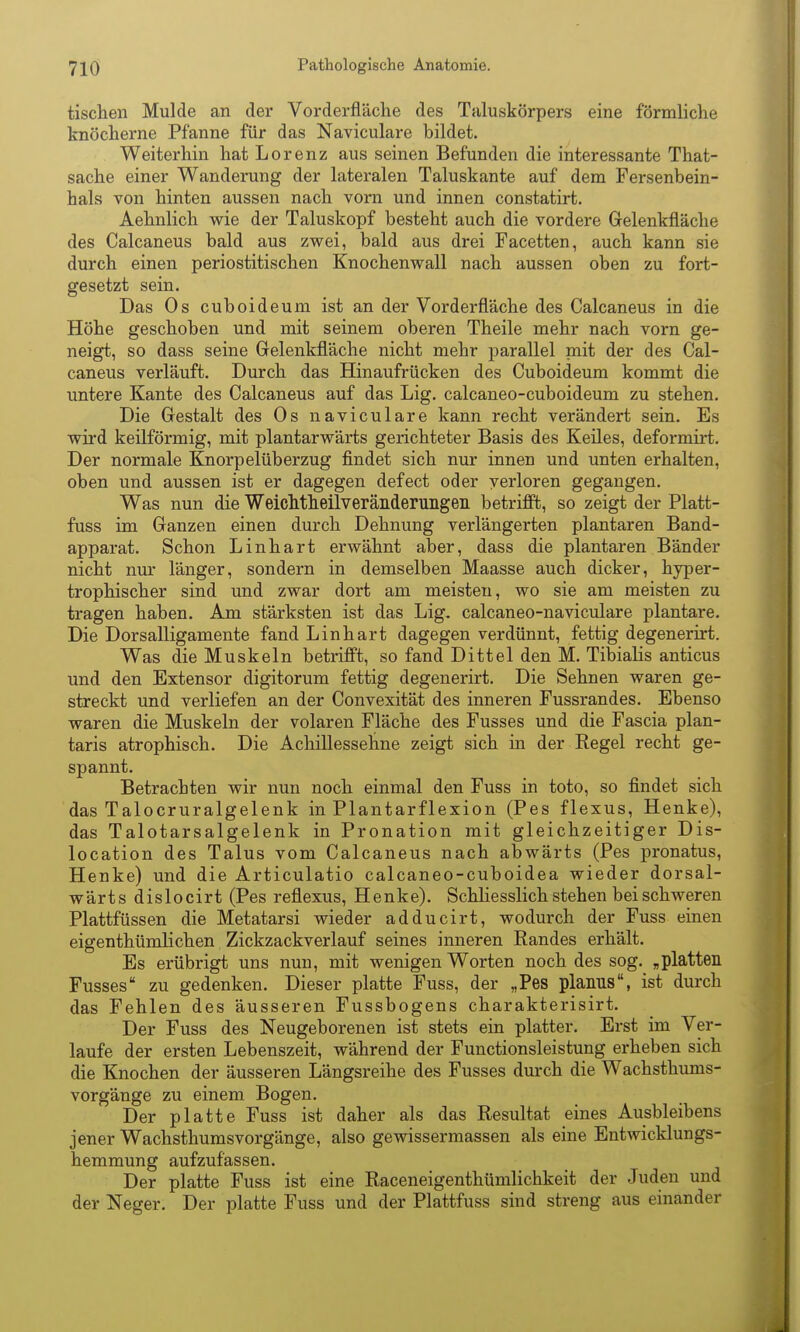 tischen Mulde an der Vorderfläche des Taluskörpers eine förmliche knöcherne Pfanne für das Naviculare bildet. Weiterhin hat Lorenz aus seinen Befunden die interessante That- sache einer Wanderung der lateralen Taluskante auf dem Fersenbein- hals von hinten aussen nach vorn und innen constatirt. Aehnlich wie der Taluskopf besteht auch die vordere Gelenkfläche des Calcaneus bald aus zwei, bald aus drei Facetten, auch kann sie durch einen periostitischen Knochenwall nach aussen oben zu fort- gesetzt sein. Das Os cuboideum ist an der Vorderfläche des Calcaneus in die Höhe geschoben und mit seinem oberen Theile mehr nach vorn ge- neigt, so dass seine Gelenkfläche nicht mehr parallel mit der des Cal- caneus verläuft. Durch das Hinaufrücken des Cuboideum kommt die untere Kante des Calcaneus auf das Lig. calcaneo-cuboideum zu stehen. Die Gestalt des Os naviculare kann recht verändert sein. Es wii'd keilförmig, mit plantarwärts gerichteter Basis des Keiles, deformirt. Der normale Knorpelüberzug findet sich nur innen und unten erhalten, oben und aussen ist er dagegen defect oder yerloren gegangen. Was nun die Weichtheilveränderuiigeii betrifft, so zeigt der Platt- fuss im Ganzen einen durch Dehnung verlängerten plantaren Band- apparat. Schon Linhart erwähnt aber, dass die plantaren Bänder nicht nur länger, sondern in demselben Maasse auch dicker, hyper- trophischer sind und zwar dort am meisten, wo sie am meisten zu tragen haben. Am stärksten ist das Lig, calcaneo-naviculare plantare. Die Dorsalligamente fand L in hart dagegen verdünnt, fettig degenerirt. Was die Muskeln betrifft, so fand Dittel den M. Tibialis anticus und den Extensor digitorum fettig degenerirt. Die Sehnen waren ge- streckt und verliefen an der Convexität des inneren Fussrandes. Ebenso waren die Muskeln der volaren Fläche des Fusses und die Fascia plan- taris atrophisch. Die Achillessehne zeigt sich in der Regel recht ge- spannt. Betrachten wir nun noch einmal den Fuss in toto, so findet sich das Talocruralgelenk in Plantarflexion (Pes flexus. Henke), das Talotarsalgelenk in Pronation mit gleichzeitiger Dis- location des Talus vom Calcaneus nach abwärts (Pes pronatus. Henke) und die Articulatio calcaneo-cuboidea wieder dorsal- wärts dislocirt (Pes reflexus, Henke). SchHesslich stehen bei schweren Plattfüssen die Metatarsi wieder adducirt, wodurch der Fuss einen eigenthümKchen Zickzackverlauf seines inneren Randes erhält. Es erübrigt uns nun, mit wenigen Worten noch des sog. „platten Fusses zu gedenken. Dieser platte Fuss, der „Pes planus, ist durch das Fehlen des äusseren Fussbogens charakterisirt. Der Fuss des Neugeborenen ist stets ein platter. Erst im Ver- laufe der ersten Lebenszeit, während der Functionsleistung erheben sich die Knochen der äusseren Längsreihe des Fusses durch die Wachsthums- vorgänge zu einem Bogen. Der platte Fuss ist daher als das Resultat eines Ausbleibens jener Wachsthumsvorgänge, also gewissermassen als eine Entwicklungs- hemmung aufzufassen. Der platte Fuss ist eine Raceneigenthümlichkeit der Juden und der Neger. Der platte Fuss und der Plattfuss sind streng aus einander