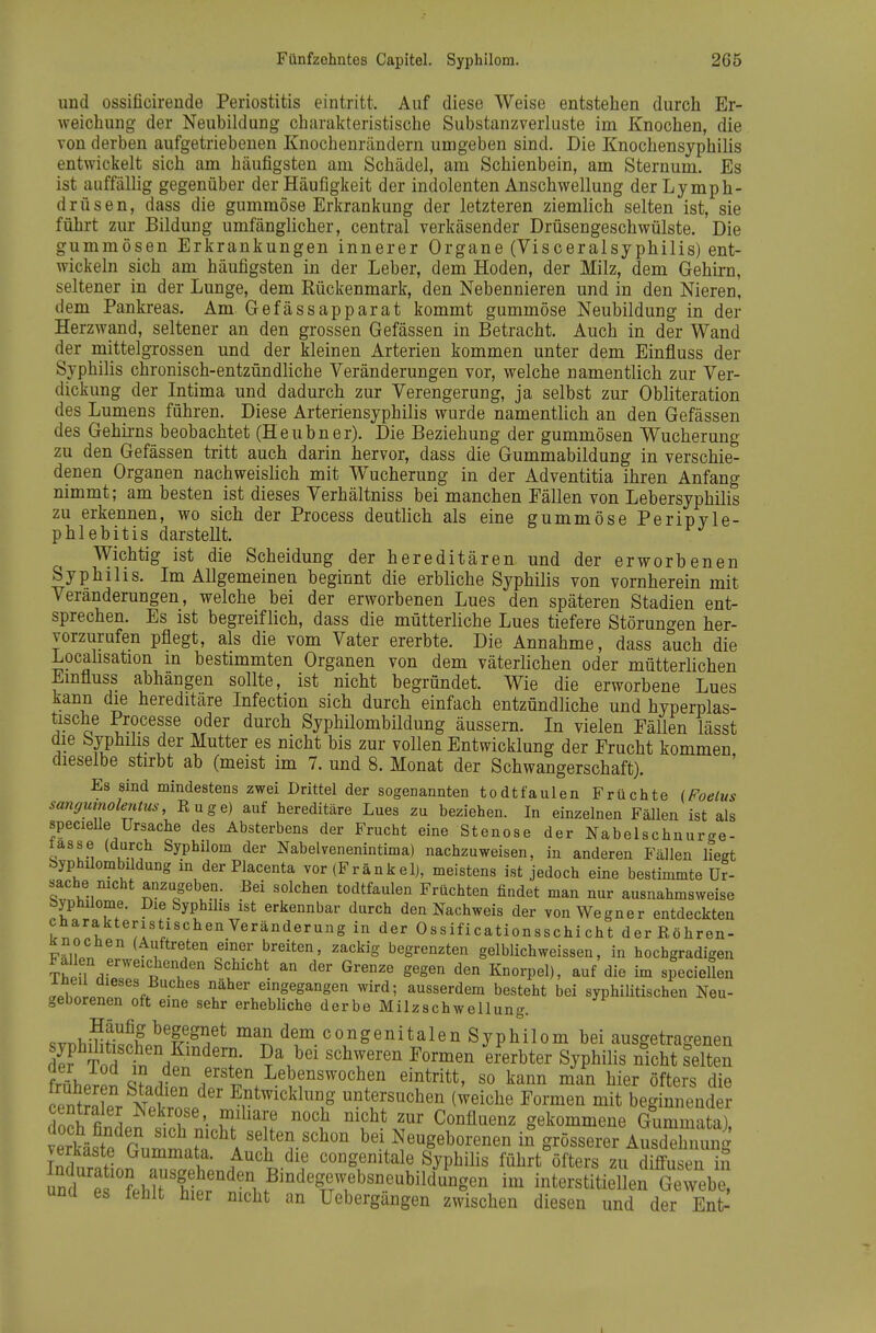 und ossificireude Periostitis eintritt. Auf diese Weise entstehen durch Er- weichung der Neubildung charakteristische Substanzverluste im Knochen, die von derben aufgetriebenen Knochenrändern umgeben sind. Die Knochensyphilis entwickelt sich am häufigsten am Schädel, am Schienbein, am Sternum. Es ist auffällig gegenüber der Häufigkeit der indolenten Anschwellung der Lymph- drüsen, dass die gummöse Erkrankung der letzteren ziemlich selten ist, sie führt zur Bildung umfänglicher, central verkäsender Drüsengeschwülste. Die gummösen Erkrankungen innerer Organe (Visceralsyphilis) ent- wickeln sich am häufigsten in der Leber, dem Hoden, der Milz, dem Gehirn, seltener in der Lunge, dem Rückenmark, den Nebennieren und in den Nieren, dem Pankreas. Am Gefässapparat kommt gummöse Neubildung in der Herzwand, seltener an den grossen Gefässen in Betracht. Auch in der Wand der mittelgrossen und der kleinen Arterien kommen unter dem Einfluss der Syphilis chronisch-entzündliche Veränderungen vor, welche namentlich zur Ver- dickung der Intima und dadurch zur Verengerung, ja selbst zur Obliteration des Lumens führen. Diese Arteriensyphilis wurde namentlich an den Gefässen des Gehirns beobachtet (Heubner). Die Beziehung der gummösen Wucherung zu den Gefässen tritt auch darin hervor, dass die Gummabildung in verschie- denen Organen nachweislich mit Wucherung in der Adventitia ihren Anfang nimmt; am besten ist dieses Verhältniss bei manchen Fällen von Lebersyphilis zu erkennen, wo sich der Process deutlich als eine gummöse Peripyle- phlebitis darstellt. Wichtig ist die Scheidung der hereditären und der erworbenen Syphilis. Im Allgemeinen beginnt die erbliche Syphilis von vornherein mit Veränderungen, welche bei der erworbenen Lues den späteren Stadien ent- sprechen. Es ist begreiflich, dass die mütterliche Lues tiefere Störungen her- vorzurufen pflegt, als die vom Vater ererbte. Die Annahme, dass auch die Localisation m bestimmten Organen von dem väterlichen oder mütterlichen Emfluss abhängen sollte, ist nicht begründet. Wie die erworbene Lues kann die hereditäre Infection sich durch einfach entzündliche und hyperplas- tische Processe oder durch SyphUombildung äussern. In vielen Fällen lässt die Syphilis der Mutter es nicht bis zur vollen Entwicklung der Frucht kommen dieselbe stirbt ab (meist im 7. und 8. Monat der Schwangerschaft). Es sind mindestens zwei Drittel der sogenannten todtfaulen Früchte (Foelus sangumolentus, Rüge) auf hereditäre Lues zu beziehen. In einzelnen Fällen ist als specieUe Ursache des Absterbens der Frucht eine Stenose der Nabelschnurge- iasse (durch Syphilom der Nabelvenenintima) nachzuweisen, in anderen Fällen liegt byphilombüdung in der Placenta vor (Frankel), meistens ist jedoch eine bestimmte Ur- sache nicht anzugeben. Bei solchen todtfaulen Früchten findet man nur ausnahmsweise byphüome. Die Syphilis ist erkennbar durch den Nachweis der von Wegner entdeckten charakteristischen Veränderung in der Ossificationsschi cht der Röhren- Knochen (Auftreten einer breiten, zackig begrenzten gelblichweissen, in hochgradigen Fallen erweichenden Schicht an der Grenze gegen den Knorpel), auf die im speciellen lüeu üieses Buches näher eingegangen wird-, ausserdem besteht bei syphiUtischen Neu- geborenen oft eine sehr erhebliche derbe Milzschwellung. «vr.}.i?S^? begegnet man dem congenitalen Syphilom bei ausgetragenen de? Tod f^H?''^''?- Syphilis nicht selten früheren S?.di.''^■'l'^^'M'''''''^'^ ^^^^ ^i^r öfters die /pnirlr 1^ ? ^'^ Entwicklung untersuchen (weiche Formen mit beginnender d Äen sioh'.i^ ''l ^^^^^^^^^ gekommene Gummata), Säste Cum^nH A selten schon bei Neugeborenen in grösserer Ausdehnung Tmw ^^^^1^- f uch die congenitale Syphilis führt öfters zu diffusen iii unf: Lirit'niH ,ß^-degewebsneubildVngen im interstitiellen Gewebe unü es lehlt hier nicht an Uebergangen zwischen diesen und der Ent-