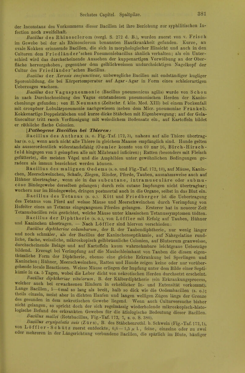 der Inconstaaz des Vorkommens dieser Bacillen ist ihre Beziehung zur syphilitischen In- fection noch zweifelhaft. Bacillus des Rhinoscierom (vorgl. S. 272 d. ß.), wurden zuerst von v. Frisch im Gewebe bei der als Rhinoscierom benannten Hautkrankheit gefunden. Kurze, an ovale Kokken erinnernde Bacillen, die sich in morphologischer Hinsicht und auch in den Culturen dem Friedländer'schen Pneumoniebacillus ähnlich verhalten; als ein Unter- schied wird das durchscheinende Aussehen der kuppenartigen Vorwölbung an der Ober- fläche hervorgehoben, gegenüber dem gelblichweissen undurchsichtigen Nagelkopf der Cultur des Friedländer'schen Bacillus. Bacillus der Xerosis conjunctivae, unbewegliche Bacillen mit endständiger kugliger Sporenbildung, die bei Körpertemperatur auf Agar-Agar in Form eines schleierartigen Ueberzuges wachsen. Bacillus der Vaguspneumonie (Bacillus pneumonicus agilis) wurde von Schon in nach Durchschneidung des Vagus entstandenen pneumonischen Herden der Kanin- chenlunge gefunden; von H. Neumann (Zeitschr. f. klin. Med. XIII) bei einem Pockenfall mit croupöser Lobulärpneumonie nachgewiesen (neben dem Micr. pneumoniae Frankel). Kokkenartige Doppelstäbchen und kurze dicke Stäbchen mit Eigenbewegung; auf der Gela- tinecultur tritt rasch Verflüssigung mit weisslichem Bodensatz ein, auf Kartoffeln bildet er röthliche flache Colonien. [PatJiogene Bacillen bei Thieren: Bacillus des Anthrax (s. o. Fig.-Taf. 172,3), nahezu auf alle Thiere übertrag- bar (s. 0.), wenn auch nicht alle Thiere in gleichem Maasse empfänglich sind. Hunde gelten als ausserordentlich widerstandsfähig (0 emier konnte von 69 nur 16, Birch-Hir sch- f eld hingegen von 3 geimpften alle mit Milzbrand inficiren); Ratten (besonders mit Fleisch gefütterte), die meisten Vögel und die Amphibien unter gewöhnlichen Bedingungen ge- radezu als immun bezeichnet werden können. Bacillus des malignen Oedems (s. o. und Fig.-Taf. 172,10), auf Mäuse, Kanin- chen, Meerschweinchen, Schafe, Ziegen, Rinder, Pferde, Tauben, ausnahmsweise auch auf Hühner übertragbar, wenn sie in das subcutane, intramusculäre oder submu- cöse Bindegewebe derselben gelangen; durch rein cutane Impfungen nicht übertragbar; wuchern nur im Bindegewebe, dringen postmortal auch in die Organe, selbst in das Blut ein. Bacillus des Tetanus (s. o.). Kitt und Friedberger ist die üebertragung des Tetanus vom Pferd auf weisse Mäuse und Meerschweinchen durch Verimpfung von Hufeiter eines an Tetanus eingegangenen Pferdes gelungen. Ersterer hat in neuerer Zeit Tetanusbacillen rein gezüchtet, welche Mäuse unter klassischen Tetanussymptomen tödten. Bacillus der Diphtherie (s, o.), von Löffler mit Erfolg auf Tauben, Hühner und Kaninchen übertragen. — Nach Löffler sind hiervon verschieden: Bacillus diphiheriae columharum, der B. der Taubendiphtherie, nur wenig länger und noch schmäler, als der Bacillus der Kaninchenseptikämie, auf Nährgelatine rund- liche, flache, weissliche, mikroskopisch gelbbräunliche Colonien, auf Blutserum grauweisse, durchscheinende Beläge und auf Kartoffeln kaum wahrnehmbare leichtgraue Ueberzüge bildend. Erzeugt bei Verimpfung auf die Maulschleimhaut von Tauben die diesen eigen- thümliche Form der Diphtherie, ebenso eine gleiche Erkrankung bei Sperlingen und Kaninchen; Hühner, Meerschweinchen, Ratten und Hunde zeigen keine oder nur vorüber- gehende locale Reactionen. Weisse Mäuse erliegen der Impfung unter dem Bilde einer Septi- kämie in ca. 5 Tagen, wobei die Leber dicht von nekrotischen Herden durchsetzt erscheint. Bacillus diphiheriae vitulorum, B. der Kälberdiphtherie (ein Erkrankungsprocess, welcher auch bei erwachsenen Rindern in erheblicher In- und Extensität vorkommt). Lange BacUlen, 5-6mal so lang als breit, halb so dick wie die OedembaciUen (s. o.); theils einzeln, meist aber in dichten Haufen und langen welligen Zügen längs der Grenze des gesunden in dem nekrotischen Gewebe liegend. Wenn auch Culturversuche bisher nicht gelangen, so spricht doch der sich regelmässig wiederholende mikroskopisch-histo- logische Befund des erkrankten Gewebes für die ätiologische Bedeutung dieser Bacillen. Bacillus mallei (Rotzbacillus, Fig.-Taf. 172, 7, s. o. S. 380). Bacillus erysipelatis suis (Zürn), B. des Stäbchenrothl. b. Schwein (Fig.-Taf. 172,1), von Löffler-Schütz zuerst entdeckte, 0,6-1,5 1., feine, einzelne oder zu zwei oder mehreren in der Längsrichtung verbundene Bacillen, die spärlich im Blute, häufiger