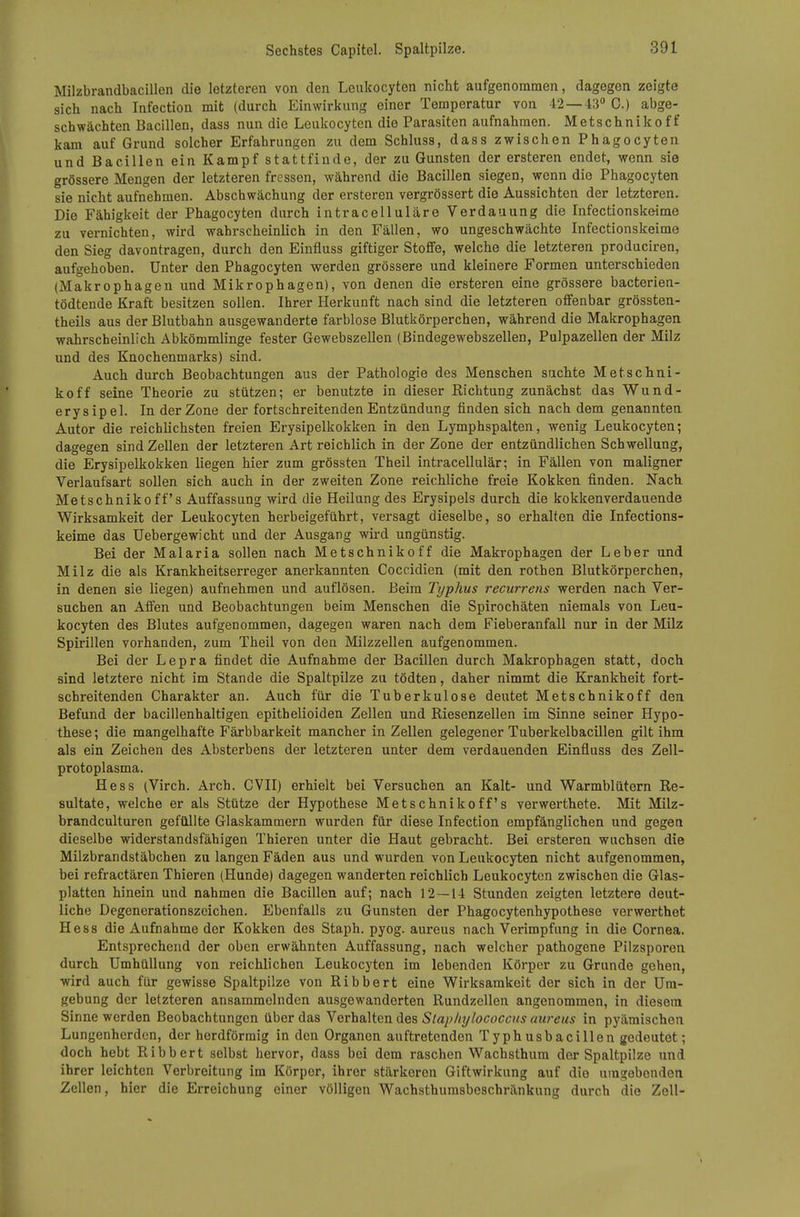 Milzbrandbacillen die letzteren von den Leiikocyten nicht aufgenommen, dagegen zeigte sich nach Infection mit (durch Einwirkung einer Temperatur von 42 — 43 C.) abge- schwächten Bacillen, dass nun die Leukocyten die Parasiten aufnahmen. Metschnlkoff kam auf Grund solcher Erfahrungen zu dem Schluss, dass zwischen Phagocyten und Bacillen ein Kampf stattfinde, der zu Gunsten der ersteren endet, wenn sie grössere Mengen der letzteren fressen, während die Bacillen siegen, wenn die Phagocyten sie nicht aufnehmen. Abschwächung der ersteren vergrössert die Aussichten der letzteren. Die Fähigkeit der Phagocyten durch intracelluläre Verdauung die Infectionskeime zu vernichten, wird wahrscheinlich in den Fällen, wo ungeschwächte Infectionskeime den Sieg davontragen, durch den Einfluss giftiger Stoffe, welche die letzteren produciren, aufgehoben. Unter den Phagocyten werden grössere und kleinere Formen unterschieden (Makrophagen und Mikrophagen), von denen die ersteren eine grössere bacterien- tödtende Kraft besitzen sollen. Ihrer Herkunft nach sind die letzteren offenbar grössten- theils aus der Blutbahn ausgewanderte farblose Blutkörperchen, während die Makrophagen wahrscheinlich Abkömmlinge fester Gewebszellen (Bindegewebszellen, Pulpazellen der Milz und des Knochenmarks) sind. Auch durch Beobachtungen aus der Pathologie des Menschen suchte Metsclini- koff seine Theorie zu stützen; er benutzte in dieser Richtung zunächst das Wund- erysipel. In der Zone der fortschreitenden Entzündung finden sich nach dem genannten Autor die reichlichsten freien Erysipelkokken in den Lymphspalten, wenig Leukocyten; dagegen sind Zellen der letzteren Art reichlich in der Zone der entzündlichen Schwellung, die Erysipelkokken liegen hier zum grössten Theil intracellulär; in Fällen von maligner Verlaufsart soUen sich auch in der zweiten Zone reichliche freie Kokken finden. Nach Metschnikoff's Auffassung wird die Heilung des Erysipels durch die kokkenverdauende Wirksamkeit der Leukocyten herbeigeführt, versagt dieselbe, so erhalten die Infections- keime das Uebergewicht und der Ausgang wii-d ungünstig. Bei der Malaria sollen nach Metschnlkoff die Makrophagen der Leber und Milz die als Krankheitserreger anerkannten Coccidien (mit den rothen Blutkörperchen, in denen sie liegen) aufnehmen und auflösen. Beim Typhus recurrens werden nach Ver- suchen an Affen und Beobachtungen beim Menschen die Spirochäten niemals von Leu- kocyten des Blutes aufgenommen, dagegen waren nach dem Fieberanfall nur in der Milz Spirillen vorhanden, zum Theil von den Milzzellen aufgenommen. Bei der Lepra findet die Aufnahme der Bacillen durch Makrophagen statt, doch sind letztere nicht im Stande die Spaltpilze zu tödten, daher nimmt die Krankheit fort- schreitenden Charakter an. Auch für die Tuberkulose deutet Metschnlkoff den Befund der bacillenhaltigen epithelioiden Zellen und Riesenzellen im Sinne seiner Hypo- these; die mangelhafte Färbbarkeit mancher in Zellen gelegener Tuberkelbacillen gilt ihm als ein Zeichen des Absterbens der letzteren unter dem verdauenden Einfluss des Zell- protoplasma. Hess (Virch. Arch. CVII) erhielt bei Versuchen an Kalt- und Warmblütern Re- sultate, welche er als Stütze der Hypothese Metschnikoff's verwerthete. Mit Milz- brandculturen gefüllte Glaskammern wurden für diese Infection empfänglichen und gegen dieselbe widerstandsfähigen Thieren unter die Haut gebracht. Bei ersteren wuchsen die Milzbrandstäbchen zu langen Fäden aus und wurden von Leukocyten nicht aufgenommen, bei refractären Thieren (Hunde) dagegen wanderten reichlich Leukocyten zwischen die Glas- platten hinein und nahmen die Bacillen auf; nach 12—14 Stunden zeigten letztere deut- liche Degenerationszeichen. Ebenfalls zu Gunsten der Phagocytenhypothese verwerthet Hess die Aufnahme der Kokken des Staph. pyog. aureus nach Verimpfung in die Cornea. Entsprechend der oben erwähnten Auffassung, nach welcher pathogene Pilzsporen durch Umhüllung von reichlichen Leukocyten im lebenden Körper zu Grunde gehen, wird auch für gewisse Spaltpilze von Ribbert eine Wirksamkeit der sich in der Um- gebung der letzteren ansammelnden ausgewanderten Rundzellen angenommen, in diesem Sinne werden Beobachtungen über das Verhalten des Slaphylococcus aureus in pyäraischen Lungenherden, der herdförmig in den Organen auftretenden Typhusbacillen gcdoutot; doch hebt Ribbert selbst hervor, dass bei dem raschen Wachsthum der Spaltpilze und ihrer leichten Verbreitung im Körper, ihrer stärkeren Giftwirkung auf die umgebenden Zellen, hier die Erreichung einer völligen Wachsthumsbeschränkung durch die Zell-