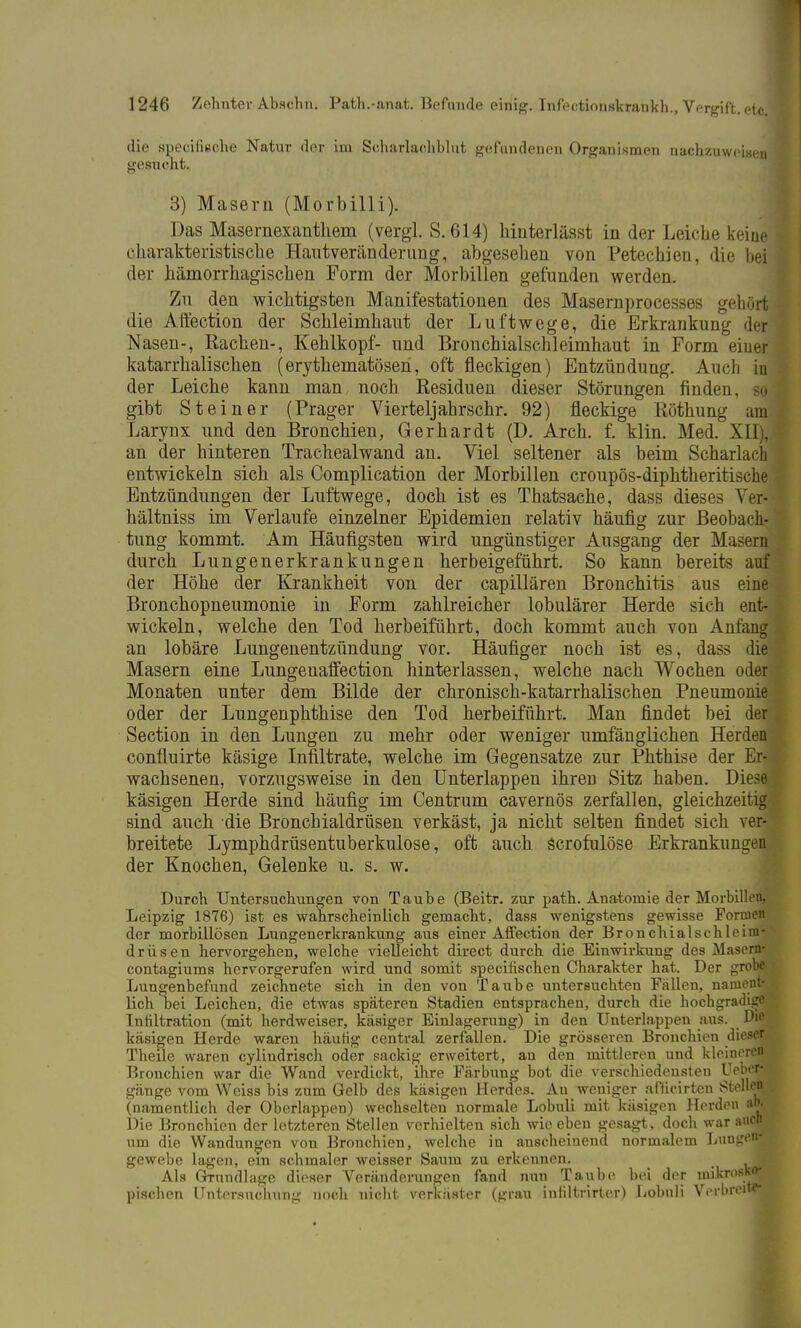 die specifische Natur der im Scharlachblut gefundenen Organismen nachzuweisen gesucht. 3) Masern (Morbilli). Das Masernexanthem (vergl. S. 614) hinterlässt in der Leiche keine charakteristische Hantveränderung, abgesehen von Petechien, die bei der hämorrhagischen Form der Morbillen gefunden werden. Zu den wichtigsten Manifestationen des Masernprocesses gehört die Affection der Schleimhaut der Luftwege, die Erkrankung der Nasen-, Rachen-, Kehlkopf- und Bronchialschleimhaut in Form eiuer katarrhalischen (erythematösen, oft fleckigen) Entzündung. Audi in der Leiche kann man noch Residuen dieser Störungen finden, d gibt Steiner (Prager Vierteljahrschr. 92) fleckige Röthung am Larynx und den Bronchien, Gerhardt (D. Arch. f. klin. Med. XII), an der hinteren Trachealwand an. Viel seltener als beim Scharlach entwickeln sich als Complication der Morbillen croupös-diphtheritische Entzündungen der Luftwege, doch ist es Thatsache, dass dieses Ver- hältniss im Verlaufe einzelner Epidemien relativ häufig zur Beobach- tung kommt. Am Häufigsten wird ungünstiger Ausgang der Masern durch Lungenerkrankungen herbeigeführt. So kann bereits auf der Höhe der Krankheit von der capillären Bronchitis aus eine Bronchopneumonie in Form zahlreicher lobulärer Herde sich ent- wickeln, welche den Tod herbeiführt, doch kommt auch von Anfang an lobäre Lungenentzündung vor. Häufiger noch ist es, dass die' Masern eine Lungeuaffection hinterlassen, welche nach Wochen oder Monaten unter dem Bilde der chronisch-katarrhalischen Pneumonie oder der Lungenphthise den Tod herbeiführt. Man findet bei der^ Section in den Lungen zu mehr oder weniger umfänglichen Herden confluirte käsige Infiltrate, welche im Gegensatze zur Phthise der Em wachsenen, vorzugsweise in den Unterlappen ihreü Sitz haben. Diese käsigen Herde sind häufig im Centrum cavernös zerfallen, gleichzeitig* sind auch die Bronchialdrüsen verkäst, ja nicht selten findet sich ver-' breitete Lymphdrüsentuberkulose, oft auch scrofulöse Erkrankungen der Knochen, Gelenke u. s. w. Durch Untersuchungen von Taube (Beitr. zur path. Anatomie der Morbillen, Leipzig 1876) ist es wahrscheinlich gemacht, dass wenigstens gewisse Formen der morbillösen Lungenerkrankung aus einer Affection der Bronchialschleini- drüsen hervorgehen, welche vielleicht direct durch die Einwirkung des Masern* contagiums hervorgerufen wird und somit speciüschen Charakter hat. Der grobe Lungenbefund zeichnete sich in den von Taube untersuchten Fällen, namenfry lieh Dei Leichen, die etwas späteren Stadien entsprachen, durch die hochgradige Infiltration (mit herdweiser, käsiger Einlagerung) in den Unterlappen aus. D-e käsigen Herde waren häutig central zerfallen. Die grösseren Bronchien dieser Theile waren cylindrisch oder sackig erweitert, an den mittleren und kleineren Bronchien war die Wand verdickt, ihre Färbung bot die verschiedensten Ueber* gänge vom Weiss bis zum Gelb des käsigen Herdes. Au weniger afticirten Stellen (namentlich der Oberlappen) wechselten normale Lobuli mit käsigen Horden ab. Die Bronchien der letzteren Stellen verhielten sich wie eben gesagt, doch war aueb um die Wandungen von Bronchien, welche in anscheinend normalem LungenS gewebe lagen, ein schmaler weisser Saum zu erkennen. Als Grundlage dieser Veränderungen fand nun Taube bei der mikrosko- pischen Untersuchung noch nicht verkäster (grau inliltrirtcr) Lobuli Verbren**