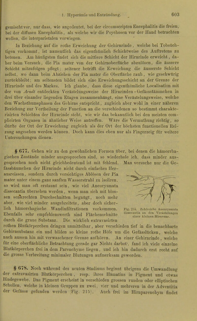 gemischt vor, nur dass, wie angedeutet, bei der circumscripten Encephalitis die freien, bei der diffusen Enceplialitis, als Avelche wir die Psychosen vor der Hand betrachten wollen, die interparietalen vorwiegen. In Beziehung auf die rothe Erweichung der Gehirnrinde , welche bei Tobsüch- tigen vorkommt, ist namentlich das eigenthümlich Schichtweise des Auftretens zu betonen. Am häufigsten findet sich die mittlere Schicht der Hirnrinde erweicht, da- her beim Versuch, die Pia mater von der Gehirnoberfläche abzulösen, die äussere Schicht mitzufolgen pflegt; seltener betrifft die Erweichung die äusserste Schicht selbst, wo dann beim Abziehen der Pia mater die Oberfläche rauh, wie geschwürig zurückbleibt; am seltensten bildet sich eine Erweichungsschicht an der Grenze der Hirnrinde und des Markes. Ich glaube, dass diese eigenthümliche Localisation mit der von Arndt entdeckten Verästelungsweise der Hirnrinden-Gefässstämmchen in drei über einander liegenden Etagen zusammenhängt, eine Verästelungsweise, welche den Wachsthumsphasen des Gehirns entspricht, zugleich aber wohl in einer näheren Beziehung zur Vertheilung der Function an die verschiedenen so bestimmt charakte- risirten Schichten der Hirnrinde steht, wie wir das bekanntlich bei den meisten com- plicirten Organen in ähnlicher Weise antreffen. Wäre die Vermuthung richtig, so dürfte der Ort der Erweichung zugleich als der Ort der höchsten functiouellen Rei- zung angesehen werden können. Doch kann dies eben nur als Fingerzeig für weitere Untersuchungen dienen. § 677. Gehen wir zu den gewöhnlichen Formen über, bei denen die hämori'ha- gischen Zustände minder ausgesprochen sind, so wiederhole ich, dass minder aus- gesprochen noch nicht gleichbedeutend ist mit fehlend. Man versuche nur die Ge- fässbäumchen der Hirnrinde nicht durch einfaches Her- ausreissen, sondern durch vorsichtiges Ablösen der Pia mater unter einem ganz sanften Wasserstrahl zu isoliren, so wird man oft erstaunt sein, wie viel Aneurysmata dissecantia übersehen werden, wenn man sich mit blos- sen senkrechten Durchschnitten begnügt, noch mehr aber, wie viel minder ausgebreitete, aber doch sicher- lich hämorrhagische Wandinfiltrationen vorkommen. Ebenfalls sehr empfehlenswerth sind Flächenschnitte durch die graue Substanz. Die wirklich extravasirten rothen Blutkörperchen dringen unmittelbar, aber verschieden tief in die benachbarte Gehirnsubstanz ein und bilden so kleine rothe Höfe um die Gefässlücken, welche nach aussen hin mit verwaschener Grenze aufhören. An einer Gehirnrinde , welche für eine oberflächliche Betrachtung gerade gar Nichts darbot-, fand ich viele einzelne Blutkörperchen frei in dem Parenchyme liegen, und ich bin dadurch erst recht auf die grosse Verbreitung minimaler Blutungen aufmerksam geworden. Fig. 214. Zahlreiche Aneurysmata dissecantia an den VerästeUingen einer kleinen Hirnvene. § 678. Noch während des acuten Stadiums beginnt übrigens die Umwandlung der extravasirten Blutkörperchen , resp. ihres Hämatins in Pigment und etwas Bindegewebe. Das Pigment erscheint in verschieden grossen runden oder elliptischen Schollen, welche in kleinen Gruppen zu zwei, vier und mehreren in der Adveutitia der Gefässe gefunden werden (Fig. 215). Auch frei im Hiruparenchym findet