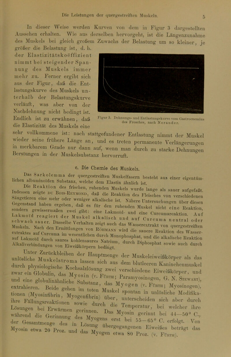 «lern in Figur 3 dargestellten Figur 3. Dehnungs- und Entlastungskurve vom Gastrocnemius des Frosches, nach Nerander. In dieser Weise werden Kurven von o Aussehen erhalten. Wie aus derselben hervorgeht, ist die Längenzunahme des Muskels bei gleich großem Zuwachs der Belastung um so kleiner, je größer die Belastung ist, d. h. der Elastizitätskoeffizient nimmt bei steigender Span- nung des Muskels immer mehr zu. Ferner ergibt sich aus der Figur, daß die Ent- lastungskurve des Muskels un- ter h a 1 b der Belastungskurve verläuft, was aber von der Nachdehnung nicht bedingt ist. Endlich ist zu erwähnen, daß die Elastizität des Muskels eine sehr vollkommene ist: nach stattgefnndener Entlastung nimmt der Muskel wieder seine frühere Länge an, und es treten permanente Verlängerungen m merkbarem Grade nur dann auf, wenn man durch zu starke Dehnungen Berstungen in der Muskelsubstanz hervorruft. c. Die Chemie des Muskels. Das Sarkolemma der quergestreiften Muskelfasern besteht aus einer eigentüm- lichen albutmnoiden Substanz, welche dem Elastin ähnlich ist. Die Reaktion des frischen, ruhenden Muskels wurde lange als sauer aufgefaßt Indessen zeigte du Bois-Reymond, daß die Reaktion des Fleisches von verschiedenen Saugetieren eine mehr oder weniger alkalische ist. Nähere Untersuchungen über diesen Gegenstand haben ergeben, daß es für den ruhenden Muskel nicht e ne R aDion sondern gewissermaßen zwei gibt: eine Lakmoid- und eine Curcumareaktion^ Auf auf LakmoYd^ ™1 *e arische Reaktion Alkaliverbindungen von Eiweifikörporn beij™’ Dlpl°‘pha‘ S°ie auoh dntch unlö^r Munk klbIfbeD dfr Ha“Ptmen?e dcr Muskeleiweiflkärper als das durch divsioIooLi 7! ff“ SICl' “llS dem blutleere“ Kaninchenmuskel rchiedene Eiweißk^r- ™d extrahieren. Beide gehen t toten’M,fl ^ Myosin etwa 20 Pros und L f ahergegmZeam Ehrei&» beträgt das Uncl das Myogen etwa 80 Proz. (v. Fürth).