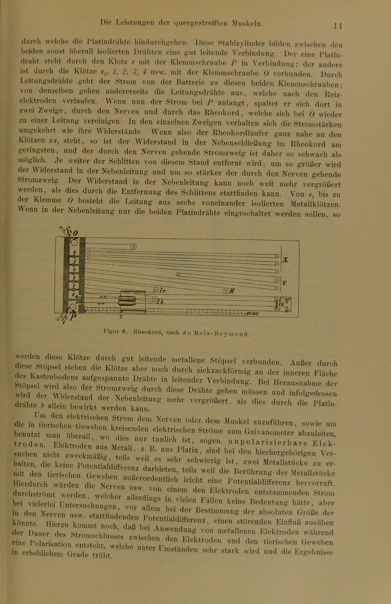 durch welche die PlatindWihte hindurcligeheu. Diese Stahlzylinder hildeu zwisehen den beiden sonst überall isolierten Drähten eine gut leitende Verbindung. Der eine Platin- draht steht durch den Klotz .v mit der Klemmschraube P in Verbindung; der andere ist durch die Klötze .v„ 1, 2, 5, 4 usw. mit der Klemmschraube 0 verbunden. Durch Leitungsdrähte geht der Strom von der Batterie zu diesen beiden Klemmschrauben; von denselben gehen andererseits die Leitungsdrähte aus, welche nach den Reiz- elektroden verlaufen. Wenn nun der Strom bei P anlangt, spaltet er sich dort in zwei Zweige, durch den Nerven und durch das Rheokord, welche sich bei 0 wieder zu einer Leitung vereinigen. In den einzelnen Zweigen verhalten sich die Stromstärken umgekehrt wie ihre Widerstände Wenn also der Rheokordläufer ganz nahe an den Klotzen ss, steht, so ist der Widerstand in der Nebenschließung im Rheokord am geringsten, und der durch den Nerven gehende Stromzweig ist daher so schwach als möglich. Je weiter der Schlitten von diesem Stand entfernt-wird, um so größer wird der Widerstand in der Nebenleitung und um so stärker der durch den Nerven gehende Stromzweig. Der Widerstand in der Nebenleitung kann noch weit mehr vergrößert werden, als dies durch die Entfernung des Schlittens stattfinden kann. Von .v, bis zu der Klemme 0 besteht die Leitung aus sechs voneinander isolierten Metallklötzen. Venn in der Nebenleitung nur die beiden Platindrähte eingeschaltet werden sollen, so werden diese Klötze durch gut leitende metallene Stöpsel verbunden Außer durch diese Stöpsel stehen die Klötze aber noch durch zickzackförmig an der inneren Fläche StläT *d°tno 'fs“l>an‘C D,'fte 1,1 Verbindung. Bei Herausnahme' der ttrlr Wid» r u fflese Dr“lte «*•» >«»en und infolgedessen ,nehr ^ die in^'LteLfrlttrn11'0''' n™' f“™ °te llusk«1 ^-fahren, sowie benutzt man überall »Vdte,™den 6 ektrläclien Ströme «um Galvanometer abzuleiten, trodeu. Elektroden . I M» „ *! T' „ o la riuicr I, a r e El.k- .■tuchen nicht zweckmäßig teih weil e“o/’'“'T’ S1”d bM <le hicrhergehärigcn Ver- halten, die keine Potential’,lim ■ SOh'tIerle ist, zwei Metallstiieke zn er- mit den äZmrri I .fl’ tCilS l'iC J!erlll'nls hietallstiicke Hierdurch würden die Nme,' , leiCl'1 ''«teutialdiilerenz hervorruft, durchströmt werden, welcher alleTdilga in', 'len.’:k'k'l'0<lc,‘ entstammenden Strom hei vielerlei Untersuchungen vor allen, • ä’ V“-™ kMnC lilc,t-r hätte, aber in den Nerven usw stittfimbrnd* p ' ’ der Bestlluniung der absoluten Größe der könnte. Hierzu kommt noch daß 1 0t*ntialdlfferenz, einen störenden Einfluß ausüben der Dauer des Stromschlusses zwischent’°A EIektroden wiihrend eine Polarisation ent-OMo ,, „i ,i n dcn Llektroden und den tierischen Geweben in erheblichem Grade trübt. ^ Untei Umstanden sehr stark wird und die Ergebnisse