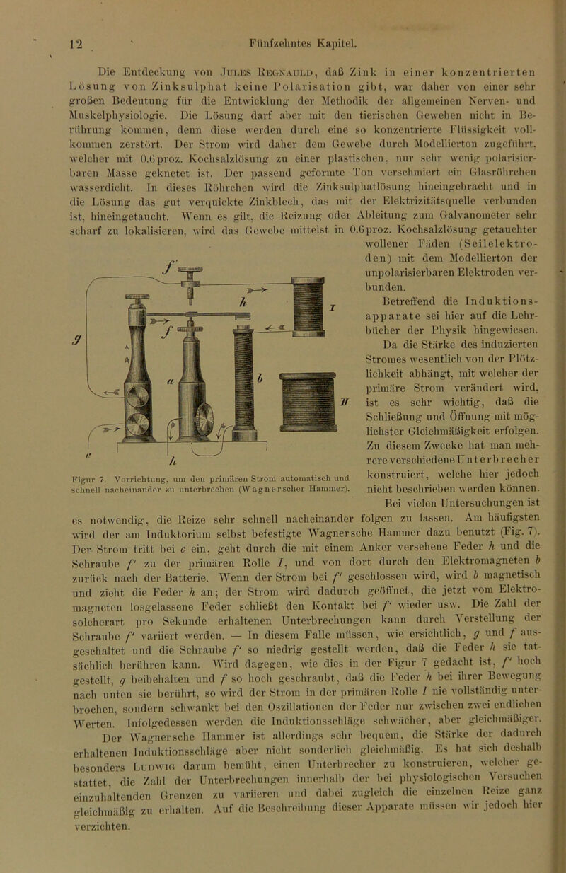 Die Entdeckung von Jules Regnauld, daß Zink in einer konzentrierten Lösung von Zinksulphat keine Polarisation gibt, war daher von einer sehr großen Bedeutung für die Entwicklung der Methodik der allgemeinen Nerven- und Muskelphysiologie. Die Lösung darf aber mit den tierischen Geweben nicht in Be- rührung kommen, denn diese werden durch eine so konzentrierte Flüssigkeit voll- kommen zerstört. Der Strom wird daher dem Gewebe durch Modellierton zugeführt, welcher mit O.Gproz. Kochsalzlösung zu einer plastischen, nur sehr wenig polarisier- baren Masse geknetet ist. Der passend geformte Ton verschmiert ein Glasröhrchen wasserdicht. In dieses Böhrchen wird die Zinksulphatlösung hineingebracht und in die Lösung das gut verquickte Zinkblech, das mit der Elektrizitätsquelle verbunden ist, hineingetaucht. Wenn es gilt, die Reizung oder Ableitung zum Galvanometer sehr scharf zu lokalisieren, wird das Gewebe mittelst in O.Gproz. Kochsalzlösung getauchter wollener Fäden (Seilelektro- den) mit dem Modellierton der unpolarisierbaren Elektroden ver- bunden. Betreffend die Induktions- apparate sei hier auf die Lehr- bücher der Physik hingewiesen. Da die Stärke des induzierten Stromes wesentlich von der Plötz- lichkeit abhängt, mit welcher der primäre Strom verändert wird, ist es sehr wichtig, daß die Schließung und Öffnung mit mög- lichster Gleichmäßigkeit erfolgen. Zu diesem Zwecke hat man meh- rere verschiedene Unterbrecher konstruiert, welche hier jedoch nicht beschrieben werden können. Bei vielen Untersuchungen ist es notwendig, die Reize sehr schnell nacheinander folgen zu lassen. Am häufigsten wird der am Induktorium selbst befestigte Wagner sehe Hammer dazu benutzt (Fig. 7). Der Strom tritt bei c ein, geht durch die mit einem Anker versehene Feder h und die Schraube f‘ zu der primären Rolle 7, und von dort durch den Elektromagneten b zurück nach der Batterie. Wenn der Strom bei f geschlossen wird, wird b magnetisch und zieht die Feder h an; der Strom wird dadurch geöffnet, die jetzt vom Elektro- magneten losgelassene Feder schließt den Kontakt bei f‘ wieder usw. Die Zahl der solcherart pro Sekunde erhaltenen Unterbrechungen kann durch Verstellung der Schraube f‘ variiert werden. — ln diesem Falle müssen, wie ersichtlich, g und f aus- geschaltet und die Schraube f‘ so niedrig gestellt werden, daß die Feder h sie tat- sächlich berühren kann. Wird dagegen, wie dies in der Figur 7 gedacht ist, f‘ hoch gestellt, g beibehalten und f so hoch geschraubt, daß die Feder h bei ihrer Bewegung nach unten sie berührt, so wird der Strom in der primären Rolle / nie vollständig unter- brochen, sondern schwankt bei den Oszillationen der Feder nur zwischen zwei endlichen Werten. Infolgedessen werden die Induktionsschläge schwächer, aber gleichmäßiger. Der Wagner sehe Hammer ist allerdings sehr bequem, die Stärke der dadurch erhaltenen Induktionsschläge aber nicht sonderlich gleichmäßig. Es hat sich deshalb besonders Ludwig darum bemüht, einen Unterbrecher zu konstruieren, welcher ge- stattet, die Zahl der Unterbrechungen innerhalb der bei physiologischen Versuchen einzuhaltenden Grenzen zu variieren und dabei zugleich die einzelnen Reize ganz gleichmäßig zu erhalten. Auf die Beschreibung dieser Apparate müssen wir jedoch hier verzichten. Figur 7. Vorrichtung, um den primären Strom automatisch und schnell nacheinander zu unterbrechen (Wagnerscher Hammer).