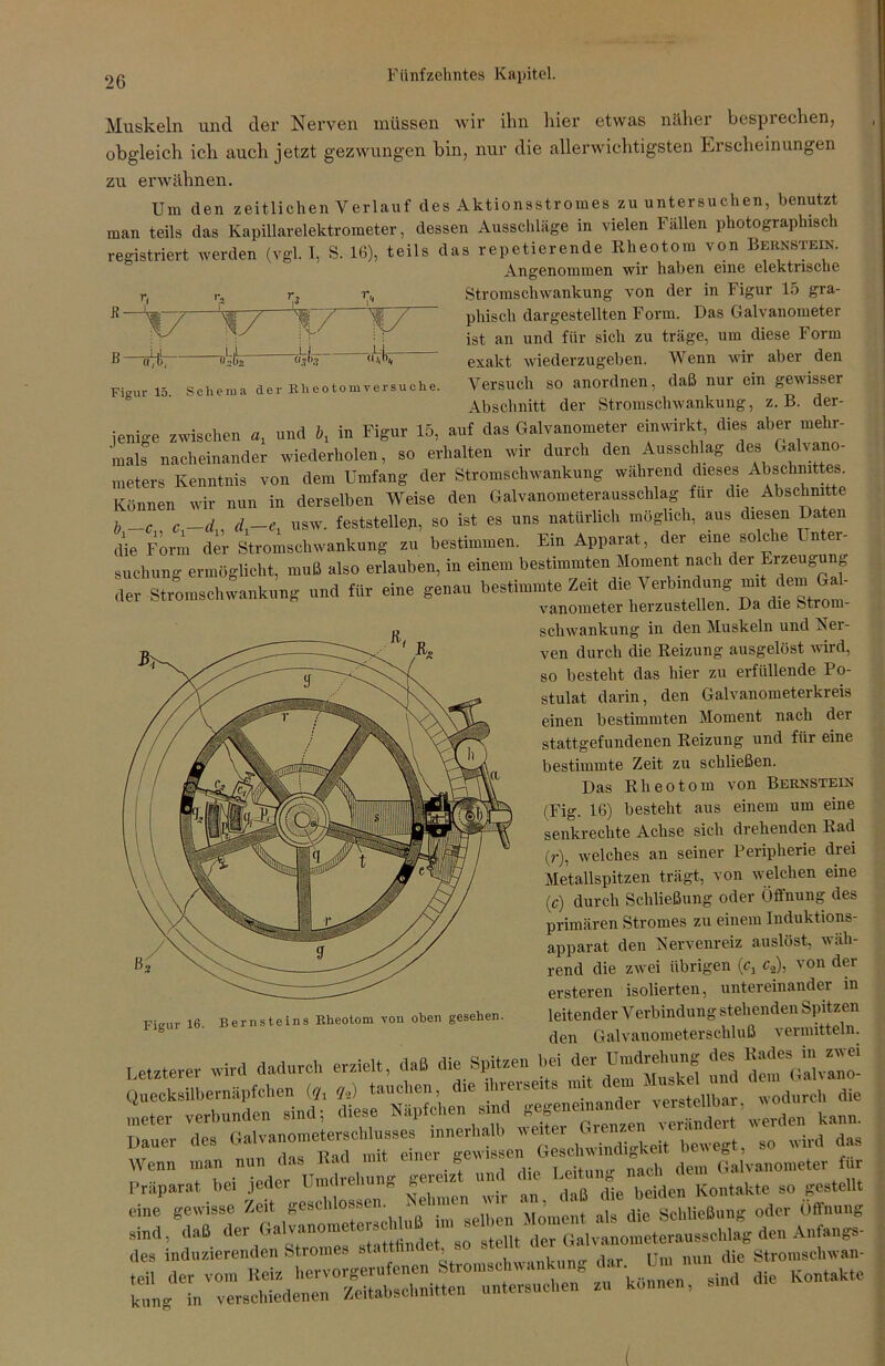 r, i3 r„ Muskeln und der Nerven müssen wir ihn hier etwas näher besprechen, obgleich ich auch jetzt gezwungen bin, nur die allerwichtigsten Erscheinungen zu erwähnen. Um den zeitlichen Verlauf des Aktionsstromes zu untersuchen, benutzt man teils das Kapillarelektrometer, dessen Ausschläge in vielen Fällen photographisch registriert werden (vgl. I, S. 16), teils das repetierende Rheotom von Bernstein. Angenommen wir haben eine elektrische Stromschwankung von der in Figur 15 gra- phisch dargestellten Form. Das Galvanometer ist an und für sich zu träge, um diese Form exakt wiederzugeben. Wenn wir aber den Versuch so anordnen, daß nur ein gewisser Abschnitt der Stromschwankung, z. B. der- jenige zwischen a, und \ in Figur 15, auf das Galvanometer einwirkt dies aber mehr- mals nacheinander wiederholen, so erhalten wir durch den Ausschlag des Galvano- meters Kenntnis von dem Umfang der Stromschwankung während dieses Abschnittes. Können wir nun in derselben Weise den Galvanometerausschlag für die Abschnitte * i , nv»o nQ+iirlip.h mfip’lieh. aus diesen Daten ß —i_iL «p>, _L,L_ usbz V CljjDg «4 ib. Figur 15. Schema der Rh eotomversuehe. tun m cierseiucn v* cibc utu ^ b -c <?,-</„ d,—e1 usw. feststelleji, so ist es uns natürlich möglich, aus diesen Daten die Form der Stromschwankung zu bestimmen. Ein Apparat, der eine solche Unter- suchung ermöglicht, muß also erlauben, in einem bestimmten Moment nach der Erzeugung - - - — Schwankung in den Muskeln und Ner- ven durch die Reizung ausgelöst wird, so besteht das hier zu erfüllende Po- stulat darin, den Galvanometerkreis einen bestimmten Moment nach der stattgefundenen Reizung und für eine bestimmte Zeit zu schließen. Das Rheotom von Bernstein (Fig. 16) besteht aus einem um eine senkrechte Achse sich drehenden Rad (,.), welches an seiner Peripherie drei Metallspitzen trägt, von welchen eine (c) durch Schließung oder Öffnung des primären Stromes zu einem Induktions- apparat den Nervenreiz auslöst, wäh- rend die zwei übrigen (c, c2), von dei ersteren isolierten, untereinander in leitender Yerbindung stehenden Spitzen den Galvanometerschluß vermitteln. Letzterer wird dadurch erzielt, daß die Spitze,, bei der Umdretag des Kades in^zwei Dauer des Galvanometerschlusses innerhalb weite * bewegt, so wird das Wenn man nun das Rad mit einer geiwissenl Gesdnvb (!alvan0meter für Präparat bei jeder Umdrehung gereizt und die LeiWng nach ^ ^ eine gewisse Zeit geschlossen. Nehmen wir an. daß d oder Öffnung sind, daß der de,, Aufang, des induzierenden Stromes statt » , d Ü1U nun die Stromschwan- “ (