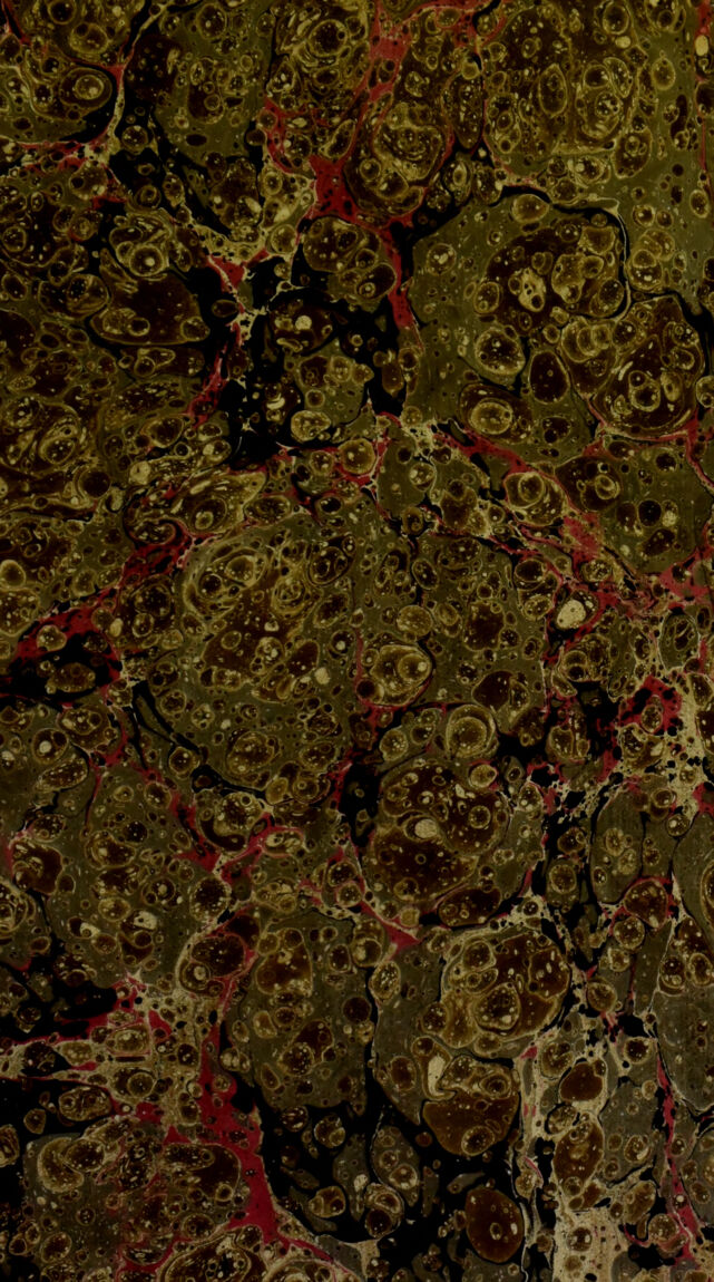 No text description is available for this image