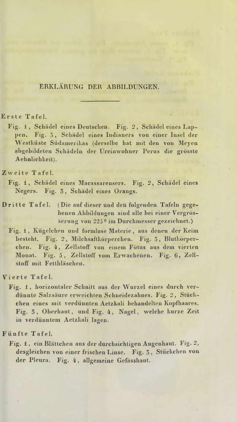 ERKLÄRUNC; DER ABBILDUNGEN. Erste Tafel. Fig. 1, Schädel eines Deutschen. Fig. 2, Schädel eines Lap- ])en. Fig. 3, Schädel eines Indianers von einer Insel der Wcsthüste Südamerikas (derselbe hat mit den von Meyea abgebildeten Schädeln der Ureinwohner Perus die grösste Aehnlichkeit). Zweite Tafel. Fig. 1, Schädel eines Macassarensers. Fig. 2, Schädel eines Negers. Fig. 3, Schädel eines Orangs. Dritte Tafel. (Die auf dieser und deli folgenden Tafeln gege- benen Al)bilduiigen sind alle bei einer Vergrös- Serung von 225** im Durchmesser gezeichnet.) Fig. 1, Kügolchon und formlose Materie, aus denen der Keim besteht. Fig. 2, Milchsaftkörperchen. Fig. 3, Blutkörper- chen. Fig. 4, Zellstofl von einem Fötus aus dem vierten Monat. Fig. 5, Zellstoff vom Erwachenen. Fig. 6, Zell- stofl mit Fetlbläscheii. Vierte Tafel. Fi». 1, horizontaler Schnitt aus der Wurzel eines durch ver- dünnte Salzsäure erweichten Schneidezahnes. Fig. 2, Stück- chen eines mit verdünnten Aetzkali behandelten Kopfhaares. Fig. 3, Oberhaut, und Fig. 4, Nagel, welche kurze Zeit in verdünntem Aetzkali lasen. Fünfte Tafel. Fig. 1, ein Blättchen aus der durchsichtigen Augenhaut. Fig. 2, desgleichen von einer frischen Linse. Fig. 3 , Stückchen von