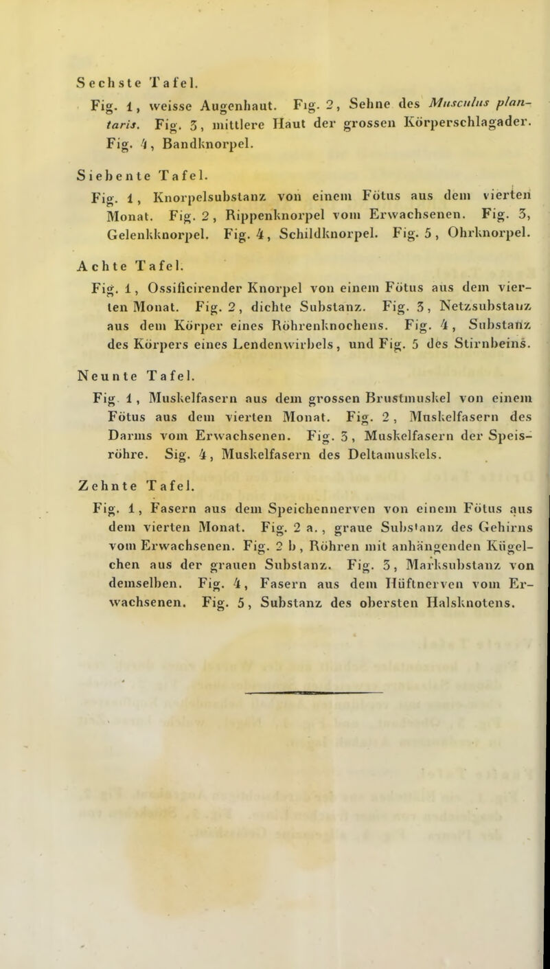 Sechste Tafel. Fig. 1, weisse Augenhaut. Fig. 2, Sehne des Musculus plan- taris. Fig. 5, mittlere Haut der grossen Körperschlagader. Fig. 'i, Bandknorpel. Siebente Tafel. Fig. 1 , Knorpelsubstanz von einem Fötus aus dem vierten Monat. Fig. 2, RippenUnorpel vom Erwachsenen. Fig. 3, Gelenkknorpel. Fig. 4, Schildknorpel. Fig. 5 , Ohrknorpel. Achte Tafel. Fig. 1, Ossificirender Knorpel von einem Fötus aus dem vier- ten Monat. Fig. 2, dichte Substanz. Fig. 3, Netzsubstauz aus dem Körper eines Röhrenknochens. Fig. 4, Substanz des Körpers eines Lendenwirbels, und Fig. 5 des Stirnbeins. Neunte Tafel. Fig. 1, Muskelfasern aus dem grossen Brustmuskel von einem Fötus aus dem vierten Monat. Fig. 2 , Muskelfasern des Darms vom Erwachsenen. Fig. 3, Muskelfasern der Speis- röhre. Sig. 4, Muskelfasern des Deltamuskels. Zehnte Tafel. Fig. 1, Fasern aus dem Speichennerven von einem Fötus aus dem vierten Monat. Fig;. 2 a., araue Substanz des Gehirns vom Erwachsenen. Fig;. 2 b , Röhren mit anhänoenden KUgel- chen aus der grauen Substanz. Fig. 3, Marksubstanz von demselben. Fig. 4, Fasern aus dem Hüflnerven vom Er-