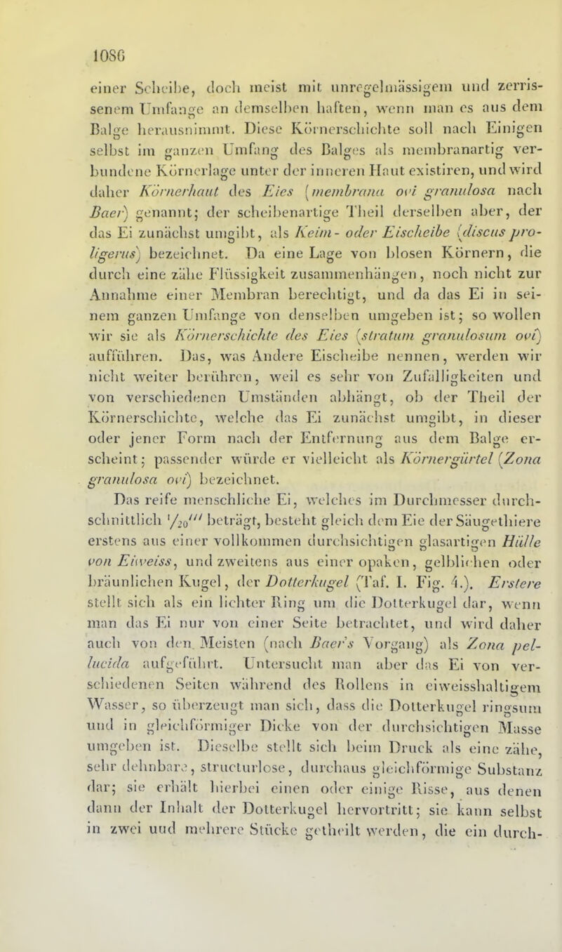 1080 einer Scheibe, doch meist mit unregelmässigem und zerris- senem Umfange an demselben haften, wenn man es aus dem u ' Balge herausnimmt. Diese Körnerschichte soll nach Einigen selbst im ganzen Umfang des Balges als membranartig ver- bundene Körnerlage unter der inneren Haut existiren, und wird daher Körnerhaut des Eies (membrana ovi granulosa nach Baer) genannt; der scheibenartige 1 hei 1 derselben aber, der das Ei zunächst umgibt, als Keim - oder Eischeibe Uliscus jjro- ligerus'j bezeichnet. Da eine Lage von blosen Körnern, die durch eine zähe Flüssigkeit Zusammenhängen, noch nicht zur Annahme einer Membran berechtigt, und da das Ei in sei- nem ganzen Umfange von denselben umgeben ist; so wollen wir sie als Körnerschichte des Eies (stratum sranulosum ovii) aufführen. Das, was Andere Eischeibe nennen, werden wir nicht weiter berühren, weil es sehr von Zufälligkeiten und von verschiedenen Umständen abhängt, ob der Theil der Körnerschichte, welche das Ei zunächst umgibt, in dieser oder jener Form nach der Entfernung aus dem Balge er- scheint; passender würde er vielleicht als Körnergürtel (Zona granulosa ovi) bezeichnet. Das reife menschliche Ei, welches im Durchmesser durch- schnittlich x/idn beträgt, besteht gleich dem Eie der Säugethiere erstens aus einer vollkommen durchsichtigen glasartigen Hülle von Eüveiss, und zweitens aus einer opaken, gelblichen oder bräunlichen Kugel, der Dotterkugel (Taf. I. Fig. 4.). Erstere stellt sich als ein lichter Ring um die Dotterkugel dar, wenn man das Ei nur von einer Seite betrachtet, und wird daher auch von den Meisten (nach Baers Vorgang) als Zona pel- lucida aufgeführt. Untersucht man aber das Ei von ver- schiedenen Seiten während des Rollens in eiweisshaltigem Wasser, so überzeugt man sich, dass die Doiterkuge! ringsum und in gleichförmiger Dicke von der durchsichtigen Masse umgeben ist. Dieselbe stellt sich beim Druck als eine zähe, sehr dehnbare, struclurlose, durchaus gleichförmige Substanz dar; sie erhält hierbei einen oder einige Risse, aus denen dann der Inhalt der Dotterkugel hervortritt; sie kann selbst in zwei uud mehrere Stücke getheilt werden, die ein durch-