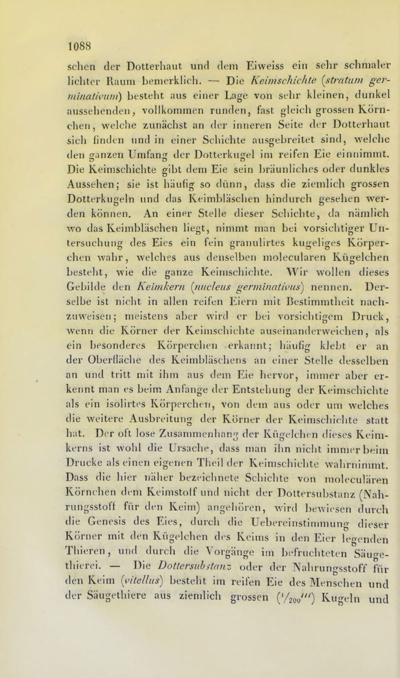 schon der Dotterhaut und dem Eiweiss ein sehr schmaler lichter Raum bemerklich. — Die Keimschichte (straturn ger- minativum) besteht aus einer Lage von sehr kleinen, dunkel aussehenden, vollkommen runden, fast gleich grossen Körn- chen, welche zunächst an der inneren Seite der Dotterhaut sich finden und in einer Schichte ausgebreitet sind, welche den ganzen Umfang der Dotterkugel im reifen Eie einnimmt. Die Keimschichte gibt dem Eie sein bräunliches oder dunkles Aussehen; sie ist häufig so dünn, dass die ziemlich grossen Dotterkugeln und das Keimbläschen hindurch gesehen wer- den können. An einer Stelle dieser Schichte, da nämlich wo das Keimbläschen liegt, nimmt man bei vorsichtiger Un- tersuchung des Eies ein fein granulirtes kugeliges Körper- chen wahr, welches aus denselben molecularen Kügelchen besteht, wie die ganze Keimschichte. Wir wollen dieses Gebilde den Keimkern (nitcleus genninativus) nennen. Der- selbe ist nicht in allen reifen Eiern mit Bestimmtheit nach- zuweisen; meistens aber wird er bei vorsichtigem Druck, wenn die Körner der Keimschichte auseinanderweichen, als ein besonderes Körperchen erkannt; häufig klebt er an der Oberfläche des Keimbläschens an einer Stelle desselben an und tritt mit ihm aus dem Eie hervor, immer aber er- kennt man es beim Anfänge der Entstehung der Keimschichte als ein isolirtes Körperchen, von dem aus oder um welches die weitere Ausbreitung der Körner der Keimschichte statt hat. Der oft lose Zusammenhang der Kügelchen dieses Keim- kerns ist wohl die Ursache, dass man ihn nicht immer beim Drucke alseinen eigenen Theil der Keimschichte wahrnimmt. Dass die hier näher bezeichnete Schichte von molecularen Körnchen dem Keimstoff und nicht der Dottersubstanz (Nah- rungsstoff für den Keim) angehören, wird bewiesen durch die Genesis des Eies, durch die Uebereinstimmung dieser Körner mit den Kügelchen des Keims in den Eier legenden Thieren, und durch die Vorgänge im befruchteten Säuge- thierei. — Die Dottersubstanz oder der Nahrungsstoff fin- den Keim (vitellus) besteht im reifen Eie des Menschen und der Säugethiere aus ziemlich grossen ('/2(H/) Kugeln und