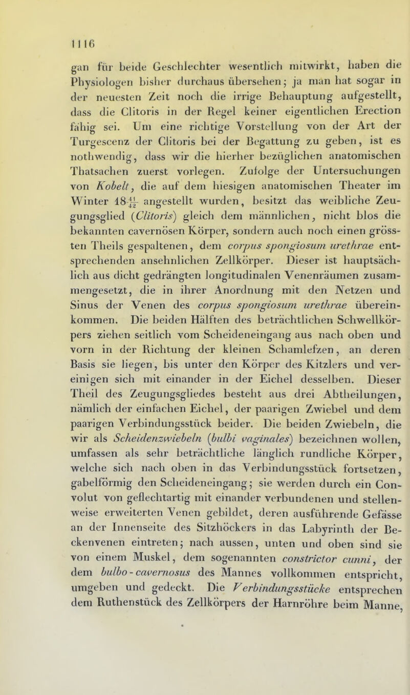 gan für beide Geschlechter wesentlich mitwirkt, haben die Physiologen bisher durchaus übersehen; ja man hat sogar in der neuesten Zeit noch die irrige Behauptung aufgestellt, dass die Clitoris in der Regel keiner eigentlichen Erection fähig sei. Um eine richtige Vorstellung von der Art der Turgeseenz der Clitoris bei der Begattung zu geben, ist es nothwendig, dass wir die hierher bezüglichen anatomischen Thatsachen zuerst vorlegen. Zulolge der Untersuchungen von Kobelt, die auf dem hiesigen anatomischen Theater im Winter 1814- ansrestellt wurden, besitzt das weibliche Zeu- gungsglied (Clitoris) gleich dem männlichen, nicht blos die bekannten cavernösen Körper, sondern auch noch einen gröss- ten Theils gespaltenen, dem corpus spongiosum urethrae ent- sprechenden ansehnlichen Zellkörper. Dieser ist hauptsäch- lich aus dicht gedrängten longitudinalen Venenräumen zusam- mengesetzt, die in ihrer Anordnung mit den Netzen und Sinus der Venen des corpus spongiosum urethrae Überein- kommen. Die beiden Hälften des beträchtlichen Schwellkör- pers ziehen seitlich vom Scheideneingang aus nach oben und vorn in der Richtung der kleinen Schamlefzen, an deren Basis sie liegen, bis unter den Körper des Kitzlers und ver- einigen sich mit einander in der Eichel desselben. Dieser Theil des Zeugungsgliedes besteht aus drei Abtheilungen, nämlich der einfachen Eichel, der paarigen Zwiebel und dem paarigen Verbindungsstück beider. Die beiden Zwiebeln, die wir als Scheidenzwiebeln (bulbi vaginales) bezeichnen wollen, umfassen als sehr beträchtliche länglich rundliche Körper, welche sich nach oben in das Verbindungsstück fortsetzen, gabelförmig den Scheideneingang; sie werden durch ein Con- volut von geflechtartig mit einander verbundenen und stellen- weise erweiterten Venen gebildet, deren ausführende Gefässe an der Innenseite des Sitzhöckers in das Labyrinth der Be- ckenvenen eintreten; nach aussen, unten und oben sind sie von einem Muskel, dem sogenannten constrictor cunni, der dem bulbo - cavernosus des Mannes vollkommen entspricht, umgeben und gedeckt. Die Verbindungsstücke entsprechen dem Ruthenstück des Zellkörpers der Harnröhre beim Manne.