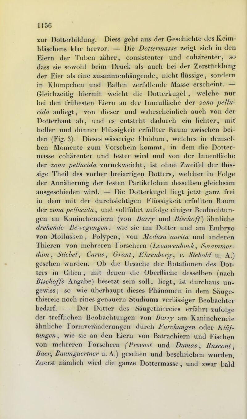 115G zur Dotterbildung. Diess geht aus der Geschichte des Keim- bläschens klar hervor. — Die Dottermasse zeigt sich in den Eiern der Tuben zäher, consistenter und cohärenter, so dass sie sowohl beim Druck als auch hei der Zerstücklung der Eier als eine zusammenhängende, nicht flüssige, sondern in Klümpchen und Ballen zerfallende Masse erscheint. — Gleichzeitig hiermit weicht die Dotterkugel , welche nur bei den frühesten Eiern an der Innenfläche der zona pellu- cida anliegt, von dieser und wahrscheinlich auch von der Dotterhaut ab, und es entsteht dadureh ein lichter, mit heller und dünner Flüssigkeit erfüllter Raum zwischen bei- den (Fig. 3). Dieses wässerige Fluidum , welches in demsel- ben Momente zum Vorschein kommt, in dem die Dotter- masse cohärenter und fester wird und von der Innenfläche der zona pellucida zurückweicht, ist ohne Zweifel der flüs- sige Theil des vorher breiartigen Dotters, welcher in Folge der Annäherung der festen Partikelchen desselben gleichsam ausgeschieden wird. — Die Dotterkugel liegt jetzt ganz frei in dem mit der durchsichtigen Flüssigkeit erfüllten Raum der zona pellucida, und vollführt zufolge einiger Beobachtun- gen an Kanincheneiern (von Barry und Bischoff) ähnliche drehende Bewegungen, wie sie am Dotter und am Embryo von Mollusken, Polypen, von Medusa aurita und anderen Thieren von mehreren Forschern [Leeuwenhoek, Swammer- dam, Stiebe!, Carus, Grant, Ehrenberg, i>. Siebold u. A.) gesehen wurden. Ob die Ursache der Rotationen des Dot- ters in Cilien , mit denen die Oberfläche desselben (nach Bischoffs Angabe) besetzt sein soll, liegt, ist durchaus un- gewiss; so wie überhaupt dieses Phänomen in dem Säuge- thiereie noch eines genauem Studiums verlässiger Beobachter bedarf. — Der Dotter des Säugethiereies erfährt zufolge der trefflichen Beobachtungen von Bariy am Kanincheneie ähnliche Formveränderungen durch Furchungen oder Klüf- tungen, wie sie an den Eiern von Batrachiern und Fischen von mehreren Forschern (Prevost und Dumas, Rusconi, Baer, Baumgaertner u. A.) gesehen und beschrieben wurden. Zuerst nämlich wird die ganze Dottermasse, und zwar bald