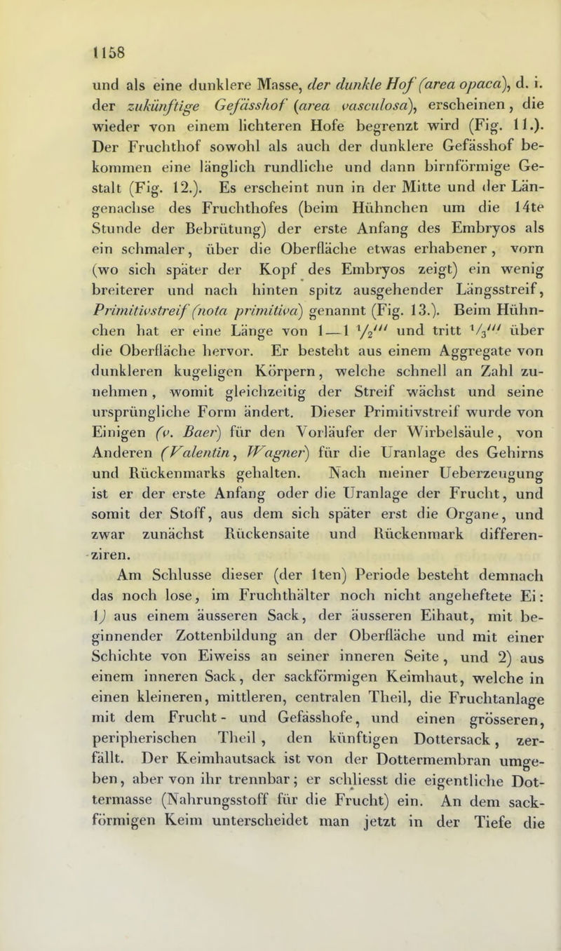 und als eine dunklere Masse, der dunkle Hof (area opaca), d. i. der zukünftige Gefässhof (area vasculosa), erscheinen , die wieder von einem lichteren Hofe begrenzt wird (Fig. 11.)* Der Fruchthof sowohl als auch der dunklere Gefässhof be- kommen eine länglich rundliche und dann bimförmige Ge- stalt (Fig. 12.). Es erscheint nun in der Mitte und der Län- genachse des Fruchthofes (beim Hühnchen um die 14te Stunde der Bebrütung) der erste Anfang des Embryos als ein schmaler, über die Oberfläche etwas erhabener , vorn (wo sich später der Kopf des Embryos zeigt) ein wenig breiterer und nach hinten spitz ausgehender Längsstreif, Primitivstreif (nota primitwa) genannt (Fig. 13.). Beim Hühn- chen hat er eine Länge von 1 — 1 1/2/// und tritt 1/3/// über die Oberfläche hervor. Er besteht aus einem Aggregate von dunkleren kugeligen Körpern, welche schnell an Zahl zu- nehmen , womit gleichzeitig der Streif wächst und seine ursprüngliche Form ändert. Dieser Primitivstreif wurde von Einigen (v. Baer) für den Vorläufer der Wirbelsäule, von Anderen (Valentin, Wagner) für die Uranlage des Gehirns und Rückenmarks gehalten. Nach meiner Ueberzeugung ist er der erste Anfang oder die Uranlage der Frucht, und somit der Stoff, aus dem sich später erst die Organe, und zwar zunächst Rückensaite und Rückenmark differen- ziren. Am Schlüsse dieser (der lten) Periode besteht demnach das noch lose, im Fruchthalter noch nicht angeheftete Ei: 1) aus einem äusseren Sack, der äusseren Eihaut, mit be- ginnender Zottenbildung an der Oberfläche und mit einer Schichte von Eiweiss an seiner inneren Seite , und 2) aus einem inneren Sack, der sackförmigen Keimhaut, welche in einen kleineren, mittleren, centralen Theil, die Fruchtanlage mit dem Frucht- und Gefässhofe, und einen grösseren, peripherischen Theil , den künftigen Dottersack, zer- fällt. Der Keimhautsack ist von der Dottermembran um«e- Ö ben, aber von ihr trennbar; er schliesst die eigentliche Dot- termasse (Nahrungsstoff für die Frucht) ein. An dem sack- förmigen Keim unterscheidet man jetzt in der Tiefe die