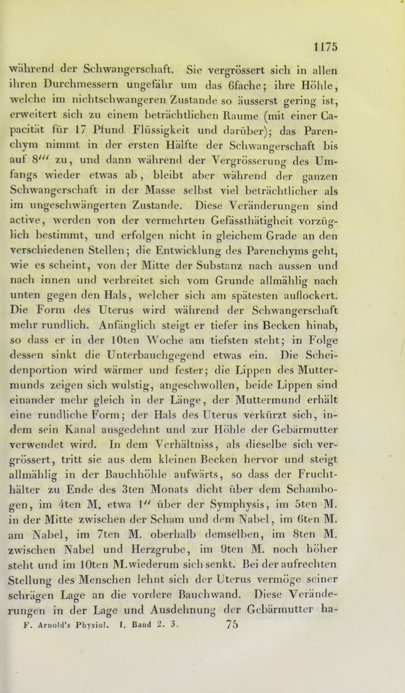 wahrend der Schwangerschaft. Sie vergrössert sich in allen ihren Durchmessern ungefähr um das Gfache; ihre Höhle, welche im nichtschwangeren Zustande so ausserst gering ist, erweitert sich zu einem beträchtlichen Raume (mit einer Ca- pacität für 1/ Pfund Flüssigkeit und darüber); das Paren- chym nimmt in der ersten Hälfte der Schwangerschaft bis auf 8//y zu, und dann während der Vergrösserung des Um- längs wieder etwas ah, bleibt aber während der ganzen Schwangerschaft in der Masse selbst viel beträchtlicher als im urigeschwängerten Zustande. Diese Veränderungen sind active, werden von der vermehrten Gefässthätigheit vorzüg- lieh bestimmt, und erfolgen nicht in gleichem Grade an den verschiedenen Stellen; die Entwicklung des Parenchyms geht, wie es scheint, von der Mitte der Substanz nach aussen und nach innen und verbreitet sich vom Grunde allmählig nach unten gegen den Hals, welcher sich am spätesten auflockert. Die Form des Uterus wird während der Schwangerschaft mehr rundlich. Anfänglich steigt er tiefer ins Becken hinab, so dass er in der lOten Woche am tiefsten steht; in Folge dessen sinkt die Unterbauchgegend etwas ein. Die Schei- denportion wird wärmer und fester; die Lippen des Mutter- munds zeigen sich wulstig, angeschwollen, beide Lippen sind einander mehr gleich in der Länge, der Muttermund erhält eine rundliche Form; der Hals des Uterus verkürzt sich, in- dem sein Kanal ausgedehnt und zur Höhle der Gebärmutter verwendet wird. In dem Verhältniss, als dieselbe sich ver- grössert, tritt sie aus dem kleinen Becken hervor und steigt allmählig in der Bauchhöhle aufwärts, so dass der Frucht- hälter zu Ende des 3ten Monats dicht über dem Schambo- gen, im 4ten M. etwa 1 über der Symphysis, im 5ten M. in der Mitte zwischen der Scham und dem Nabel, im Gten M. am Nabel, im 7ten M. oberhalb demselben, im 8ten M. zwischen Nabel und Herzgrube, im 9ten M. noch höher steht und im lOten M.wiederum sich senkt. Bei der aufrechten Stellung des Menschen lehnt sich der Uterus vermöge seiner schrägen Lage an die vordere Bauchwand. Diese Vcrände- rungen in der Lage und Ausdehnung der Gebärmutter ha- F. Arnold’s Physiol. I. Band 2. 3. 75