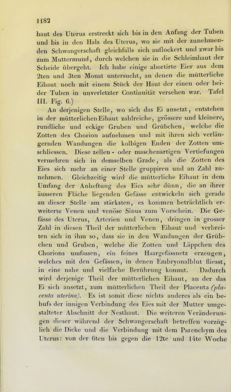 haut des Uterus erstreckt sich bis in den Anfang der Tuben und bis in den Hals des Uterus, wo sie mit der zunehmen- den Schwangerschaft gleichfalls sich aut lockert und zwar bis zum Muttermund, durch welchen sie in die Schleimhaut der Scheide übergeht. Ich habe einige abortirte Eier aus dem 2ten und 3ten Monat untersucht, an denen die mütterliche Eihaut noch mit einem Stück der Haut der einen oder bei- der Tuben in unverletzter Continuität versehen war. Tafel III. Fig. 6.) An derjenigen Stelle, wo sich das Ei ansetzt, entstehen in der mütterlichen Eihaut zahlreiche, grössere und kleinere, rundliche und eckige Gruben und Grübchen, welche die Zotten des Chorion aufnehmen und mit ihren sich verlän- gernden Wandungen die kolbigen Enden der Zotten um- schliessen. Diese zellen - oder maschenartigen Vertiefungen vermehren sich in demselben Grade, als die Zotten des Eies sich mehr an einer Stelle gruppiren und an Zahl zu- nehmen. Gleichzeitig wird die mütterliche Eihaut in dem Umfang der Anheftung des Eies sehr dünn, die an ihrer äusseren Fläche liegenden Gefässe entwickeln sich gerade an dieser Stelle am stärksten, es kommen beträchtlich er- weiterte Venen und venöse Sinus zum Vorschein. Die Ge- fässe des Uterus, Arterien und Venen, dringen in grosser Zahl in diesen Theil der mütterlichen Eihaut und verbrei- ten sich in ihm so, dass sie in den Wandungen der Grüb- chen und Gruben, welche die Zotten und Läppchen des Chorions umfassen, ein feines Haargefässnetz erzeugen, welches mit den Gefässen, in denen Embryonalblut fliesst, in eine nahe und vielfache Berührung kommt. Dadurch wird derjenige Theil der mütterlichen Eihaut, an der das Ei sich ansetzt, zum mütterlichen Theil der Placenta (pla- centci uterina). Es ist somit diese nichts anderes als ein be- hufs der innigen Verbindung des Eies mit der Mutter umge- stalteter Abschnitt der Nesthaut. Die weiteren Veränderun- gen dieser während der Schwangerschaft betreffen vorzüg- lich die Dicke und die Verbindung mit dem Parenchym des Uterus: von der 6ten bis gegen die 12te und 14te Woche