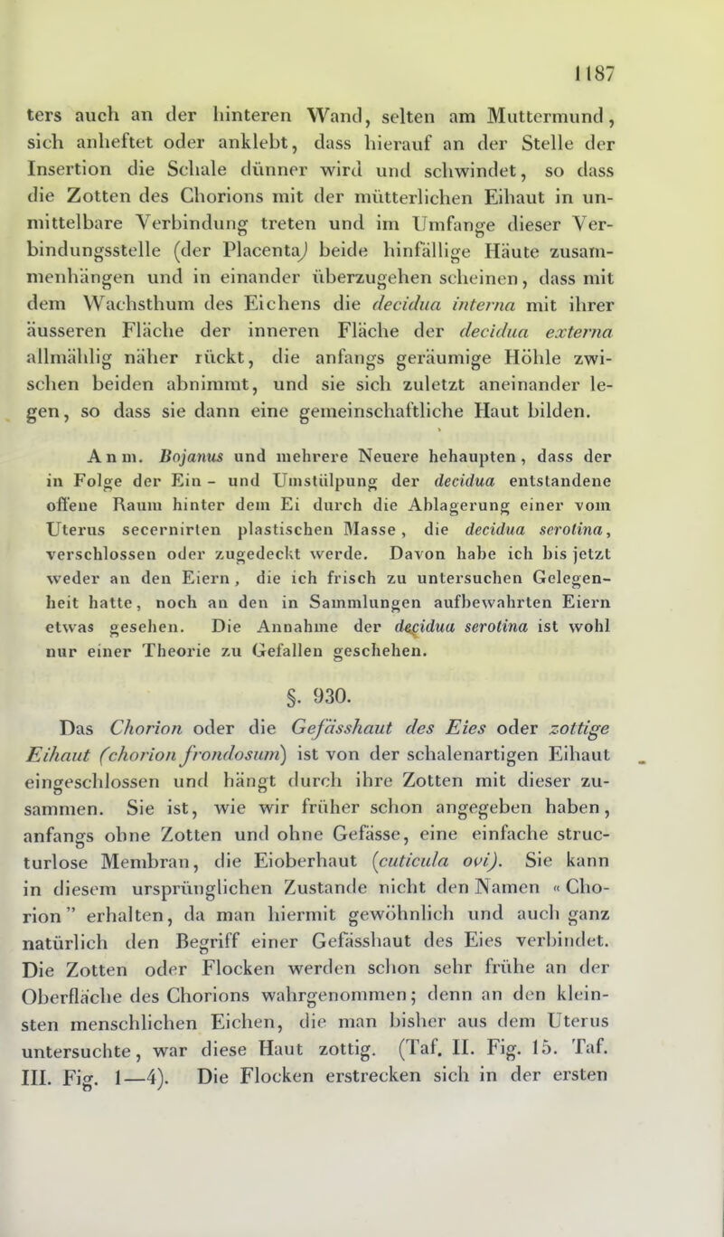 ters auch an der hinteren Wand, selten am Muttermund, sich anheftet oder anklebt, dass hierauf an der Stelle der Insertion die Schale dünner wird und schwindet, so dass die Zotten des Chorions mit der mütterlichen Eihaut in un- mittelbare Verbindung treten und im Umfange dieser Ver- bindungsstelle (der Placenta^) beide hinfällige Häute Zusam- menhängen und in einander überzugehen scheinen, dass mit dem Wachsthum des Eichens die decidua interna mit ihrer äusseren Fläche der inneren Fläche der decidua externa allmählig näher rückt, die anfangs geräumige Höhle zwi- schen beiden abnimmt, und sie sich zuletzt aneinander le- gen, so dass sie dann eine gemeinschaftliche Haut bilden. \ Anm, Bojanus und mehrere Neuere behaupten, dass der in Folge der Ein - und Umstülpung der decidua entstandene offene Raum hinter dem Ei durch die Ablagerung einer vom Uterus secernirten plastischen Masse, die decidua serotina, verschlossen oder zugedeckt werde. Davon habe ich bis jetzt weder an den Eiern, die ich frisch zu untersuchen Gelegen- heit hatte, noch an den in Sammlungen aufbewahrten Eiern etwas gesehen. Die Annahme der decidua serotina ist wohl nur einer Theorie zu Gefallen geschehen. §. 930. Das Chorion oder die Gefässhaut des Eies oder zottige Eihaut (chorion frondosum) ist von der schalenartigen Eihaut eingeschlossen und hängt durch ihre Zotten mit dieser zu- sammen. Sie ist, wie wir früher schon angegeben haben, anfangs ohne Zotten und ohne Gefässe, eine einfache struc- turlose Membran, die Eioberhaut (cuticula ovi). Sie kann in diesem ursprünglichen Zustande nicht den Namen « Cho- rion ” erhalten, da man hiermit gewöhnlich und auch ganz natürlich den Begriff einer Gefässhaut des Eies verbindet. Die Zotten oder Flocken werden schon sehr frühe an der Oberfläche des Chorions wahrgenommen; denn an den klein- sten menschlichen Eichen, die man bisher aus dem Uterus untersuchte, war diese Haut zottig. (Taf. II. Fig. 15. Taf. III. Fig. 1—4). D ie Flocken erstrecken sich in der ersten