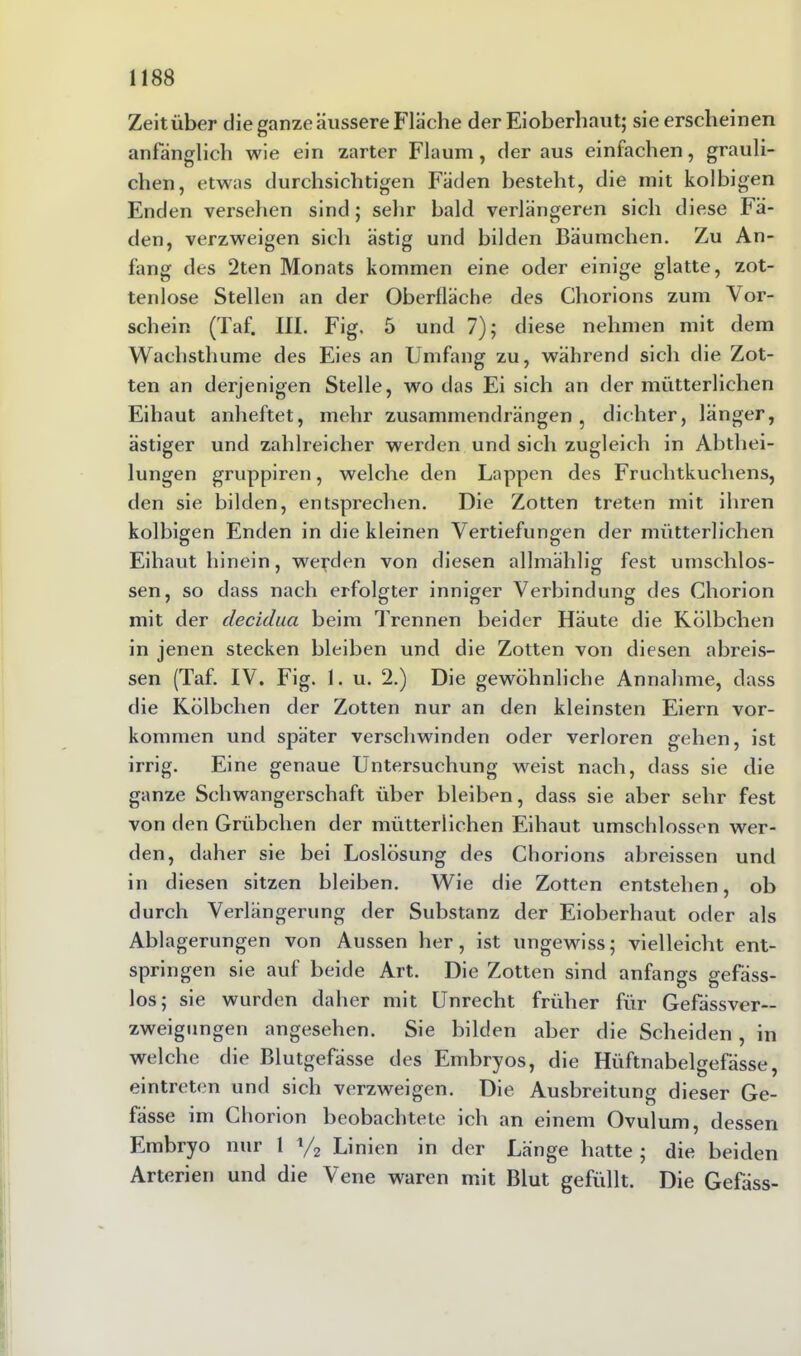 Zeitüber die ganze äussere Fläche der Eioberhaut; sie erscheinen anfänglich wie ein zarter Flaum, der aus einfachen, grauli- chen, etwas durchsichtigen Fäden besteht, die mit kolbigen Enden versehen sind; sehr bald verlängeren sich diese Fä- den, verzweigen sich ästig und bilden Bäumchen. Zu An- fang des 2ten Monats kommen eine oder einige glatte, zot- tenlose Stellen an der Oberfläche des Chorions zum Vor- schein (Taf. III. Fig. 5 und 7); diese nehmen mit dem Waehsthume des Eies an Umfang zu, während sich die Zot- ten an derjenigen Stelle, wo das Ei sich an der mütterlichen Eihaut anheftet, mehr zusammendrängen, dichter, länger, ästiger und zahlreicher werden und sich zugleich in Abthei- lungen gruppiren, welche den Lappen des Fruchtkuchens, den sie bilden, entsprechen. Die Zotten treten mit ihren kolbigen Enden in die kleinen Vertiefungen der mütterlichen Eihaut hinein, werden von diesen allmählig fest umschlos- sen, so dass nach erfolgter inniger Verbindung des Chorion mit der clecidua beim Trennen beider Häute die Kölbchen in jenen stecken bleiben und die Zotten von diesen abreis- sen (Taf. IV. Fig. 1. u. 2.) Die gewöhnliche Annahme, dass die Kölbchen der Zotten nur an den kleinsten Eiern Vor- kommen und später verschwinden oder verloren gehen, ist irrig. Eine genaue Untersuchung weist nach, dass sie die ganze Schwangerschaft über bleiben, dass sie aber sehr fest von den Grübchen der mütterlichen Eihaut umschlossen wer- den, daher sie bei Loslösung des Chorions abreissen und in diesen sitzen bleiben. Wie die Zotten entstehen, ob durch Verlängerung der Substanz der Eioberhaut oder als Ablagerungen von Aussen her, ist ungewiss; vielleicht ent- springen sie auf beide Art. Die Zotten sind anfangs gefäss- los; sie wurden daher mit Unrecht früher für Gefässver— zweigungen angesehen. Sie bilden aber die Scheiden, in welche die Blutgefässe des Embryos, die Hüftnabelgefässe, eintreten und sich verzweigen. Die Ausbreitung dieser Ge- fässe im Chorion beobachtete ich an einem Ovulum, dessen Embryo nur 1 */2 Linien in der Länge hatte ; die beiden Arterien und die Vene waren mit Blut gefüllt. Die Gefäss-