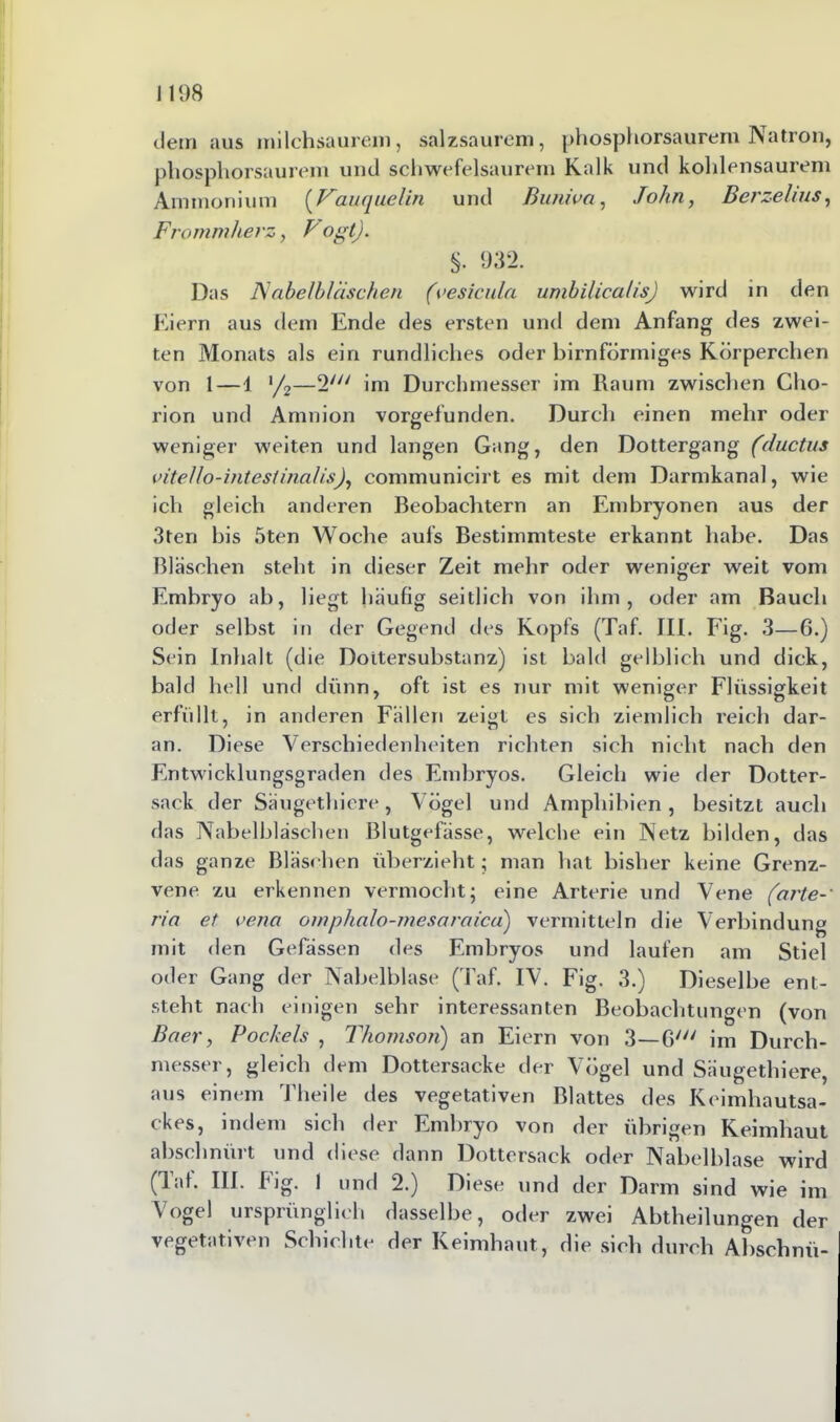 dein aus milchsaurem, salzsaurem, phosphorsaurem Natron, phosphorsaurem und schwefelsaurem Kalk und kohlensaurem Ammonium (Vauquelin und Buniva, John, Berzelius, Frommherz, Vogt). §• 932. Das Nabelbläschen (vesicula umbilicalis) wird in den Eiern aus dem Ende des ersten und dem Anfang des zwei- ten Monats als ein rundliches oder bimförmiges Körperchen von 1 — 1 */2—2//7 im Durchmesser im Raum zwischen Cho- rion und Amnion vorgefunden. Durch einen mehr oder weniger weiten und langen Gang, den Dottergang (ductus vitello-intestinalis), communicirt es mit dem Darmkanal, wie ich gleich anderen Beobachtern an Embryonen aus der 3ten bis 5ten Woche aufs Bestimmteste erkannt habe. Das Bläschen steht in dieser Zeit mehr oder weniger weit vom Embryo ab, liegt häufig seitlich von ihm, oder am Bauch oder selbst in der Gegend des Kopfs (Taf. III. Fig. 3—6.) Sein Inhalt (die Dottersubstanz) ist bald gelblich und dick, bald hell und dünn, oft ist es nur mit weniger Flüssigkeit erfüllt, in anderen Fällen zeigt es sich ziemlich reich dar- an. Diese Verschiedenheiten richten sich nicht nach den Entwicklungsgraden des Embryos. Gleich wie der Dotter- sack der Säugethicre, Vögel und Amphibien, besitzt auch das Nabelbläschen Blutgefässe, welche ein Netz bilden, das das ganze Bläsehen überzieht; man hat bisher keine Grenz- vene zu erkennen vermocht; eine Arterie und Vene (arte-' ria et vena omphalo-mesaraica) vermitteln die Verbindung mit den Gefässen des Embryos und laufen am Stiel oder Gang der Nabelblase (Taf. IV. Fig. 3.) Dieselbe ent- steht nach einigen sehr interessanten Beobachtungen (von Baer, Pockels , Thomson) an Eiern von 3—6' im Durch- messer, gleich dem Dottersacke der Vögel und Säugethiere, aus einem Theile des vegetativen Blattes des Keimhautsa- ckes, indem sich der Embryo von der übrigen Keimhaut abschnürt und diese dann Dottersack oder Nabelblase wird (laf. III. fig. 1 und 2.) Diese und der Darm sind wie im Vogel ursprünglich dasselbe, oder zwei Abtheilungen der vegetativen Schichte der Keimhaut, die sich durch Absclinü-