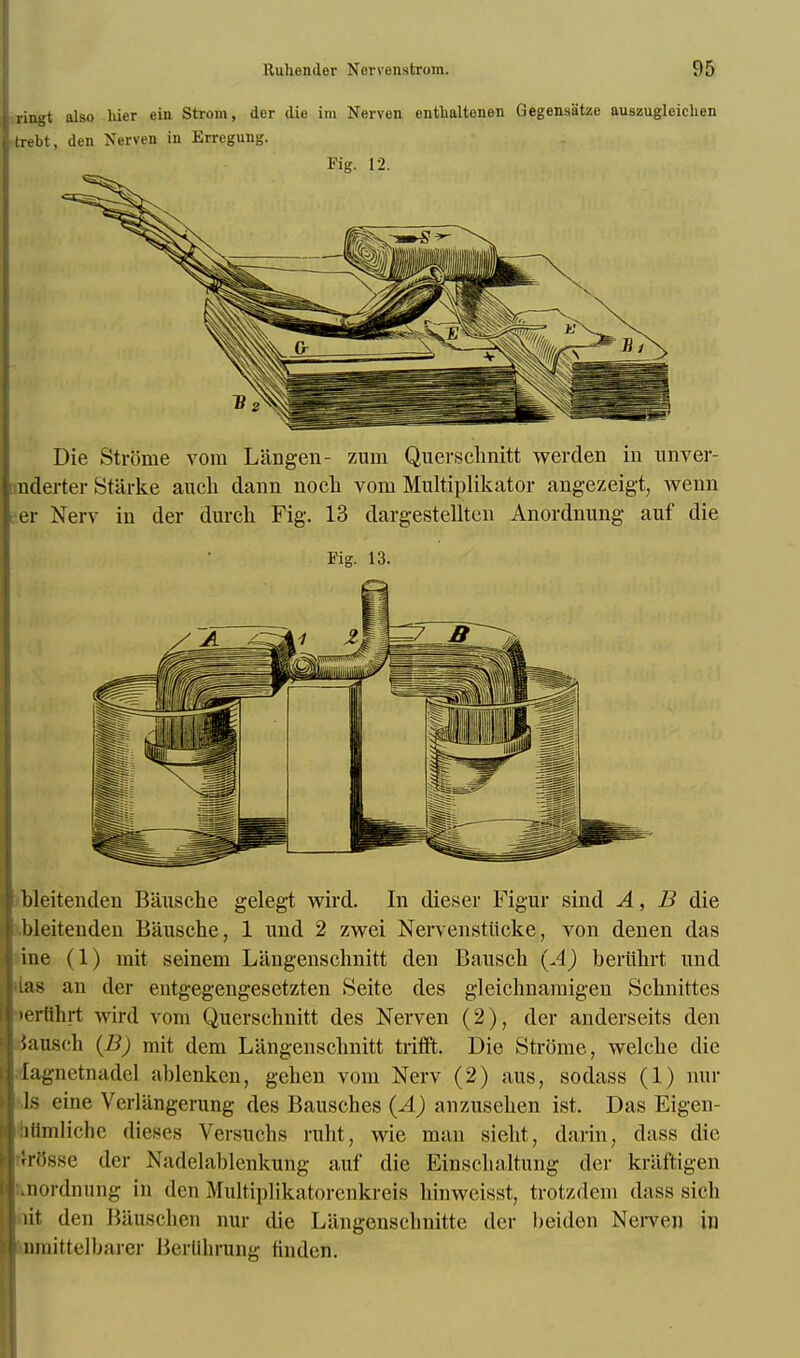 ringt also liier ein Strom, der die im Nerven entlialtonen Gegensatze auszugleiclien trebt, den Nerven in Erregung. Fig. 12. Die Strome vora Langen- zum Querschnitt werden in unver- mderter Starke auch dann noch vom Multiplikator angezeigt, wenn i-er Nerv in der durch Fig. 13 dargestellten Anordnung auf die Fig. 13. bleitenden Bausche gelegt wird. In dieser Figur sind A, B die bleitenden Bausche, 1 und 2 zwei Nervenstiicke, von denen das ine (1) mit seinem Langenschnitt den Bausch (A) bertthrt und las an der entgegengesetzten Seite des gleiclmaraigen Schnittes •ertihrt wird vom Querschnitt des Nerven (2), der anderseits den Jauscli (JJ) mit dem Langenschnitt trifft. Die Strome, welche die lagnctnadel ablcnken, gehen vom Nerv (2) aus, sodass (1) nul- ls ine Vcrlangerung des Bausches (A) anzusehen ist. Das Eigen- liflmlichc dieses Versuchs ruht, wie man sieht, darin, dass die irfissc der Nadelablenkung auf die Einschaltung der kriiftigen .nordnnng in den Multiplikatorenkreis hinvvcisst, trotzdem dass sich nit den Bauschen nur die Langenschnitte der beiden Neiven in tomittelbarer BerUhrung tinden.