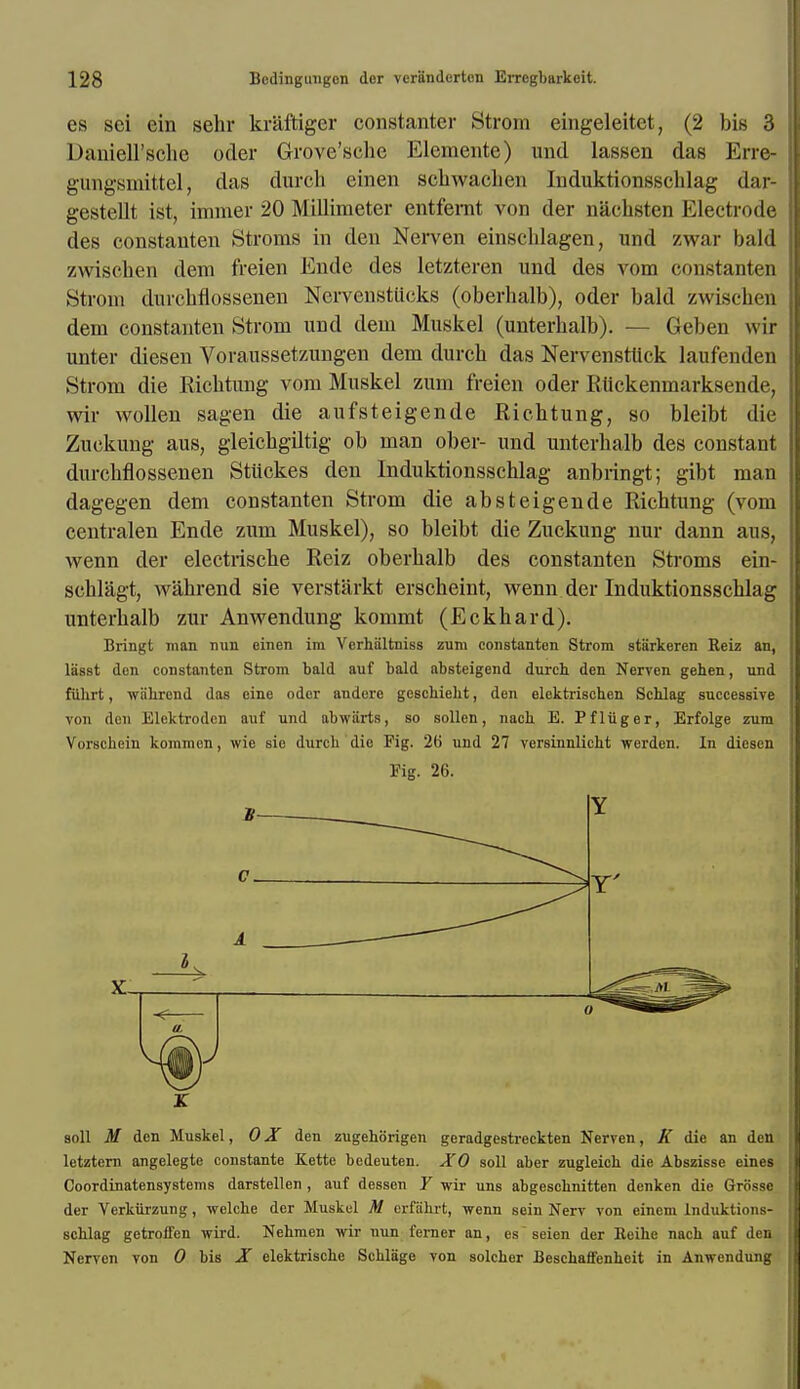 es sei ein sehr kraftiger constanter Strom eingeleitet, (2 bis 3 Daniell'sclie oder Grove'sche Elemente) und lassen das Erre- gungsnaittel, das durch einen schwachen Induktionsschlag dar- gestellt ist, immer 20 Millimeter entfemt von der nachsten Electrode des constauten Stroms in den Nerven einscblagen, und zwar bald zwischen dem freien Ende des letzteren und des vom constanten Strom durcbflosseneu Nervenstiicks (oberhalb), oder bald zwiseberi dem constanten Strom und dem Muskel (unterbalb). — Geben wir unter diesen Voraussetzungen dem durcb das Nervensttick laufenden Strom die Richtung vom Muskel zum freien oder Ruckenmarksende, wir wollen sagen die aufsteigende Ricbtung, so bleibt die Zuckung aus, gleicbgiltig ob man ober- und unterbalb des constant durcbflosseneu Stiickes den Induktionsschlag anbringt; gibt man dagegen dem constanten Strom die absteigende Richtung (vom centralen Ende zum Muskel), so bleibt die Zuckung nur dann aus, wenn der electriscbe Reiz oberbalb des constanten Stroms ein- sehlagt, wabrend sie verstarkt erscheint, wenn der Induktionsschlag unterbalb zur Anwendung kommt (Eckhard). Bringt man nun einen im Verhaltniss zum constanten Strom starkeren Reiz an, lasst den constanten Strom bald auf bald absteigend durch den Nerven gehen, und ftihrt, wabrend das cine odor andere gcscbiebt, den elektrischen Schlag successive von don Jilektrodcn auf und abwiirts, so sollen, nacb E. Pfliiger, Erfolge zum Vorschein kommen, wie sie durch die Pig. 26 und 27 versinnlicht werden. In diesen Fig. 26. soll M den Muskel, 0 X den zugehorigen geradgestreckten Nerven, K die an den letztern angelegte constante Kette bedeuten. XO soil aber zugleich die Abszisse eines Coordinatensystems darstellen , auf dessen Y wir uns abgeschnitten denken die Grtissc der Verkiirzung, welche der Muskel M erfiihrt, wenn sein Nerv von eincm Induktions- schlag getroffen wird. Nehmen wir nun ferner an, es seien der Reihe nach auf den Nerven von 0 bis X elektrische Schlage von solcher Beschaffenheit in Anwendung