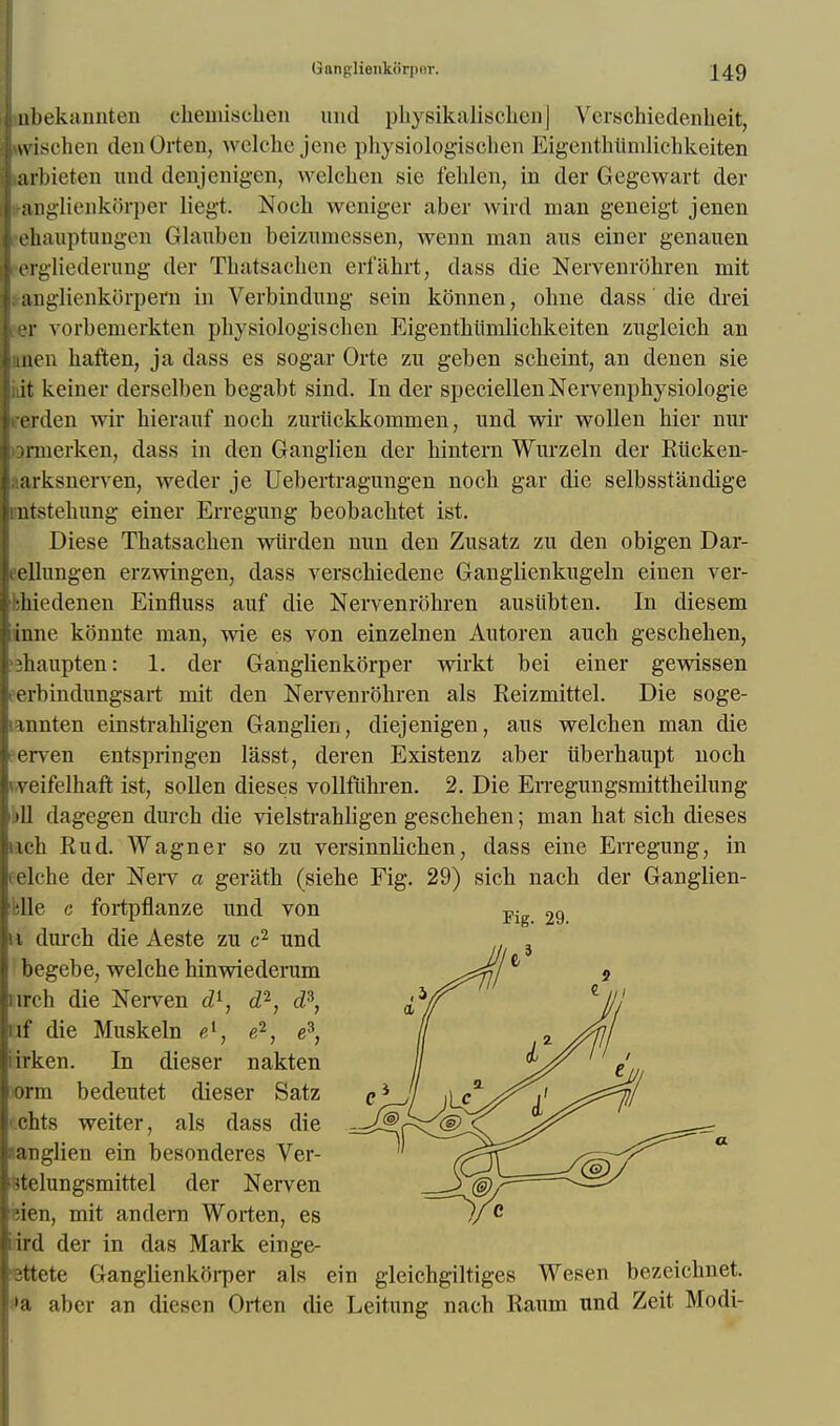 inbekannten ehemisehen und physikalisclien] Verschiedenbeit, u i-i hen denOrten, welche jene physiologischen Eigentbiinilichkeiten arliieten und denjenigen, welclien sie fehlen, in der Gegewart der anglienkbrper liegt. Nock weniger aber wird man geneigt jenen elmuptungen Glauben beizumessen, wenn man aus einer genauen ■ergliedevung der Tbatsacben erfahrt, dass die Nervenrobren mit Inglienkorpern in Verbindung sein kbnnen, obne dass die drei er vorbemerkten pbysiologiscben Eigentbiimlicbkeiten zugleich an men baften, ja dass es sogar Orte zu geben scheint, an denen sie dt keiner derselben begabt sind. In der speciellenNervenphysiologie erden wir bieranf nocb zuriickkommen, und wir wollen bier nur onnerken, dass in den Ganglien der bintern Wurzeln der Riicken- tarksnerven, weder je Uebertragungen nocb gar die selbsst'andige ntstebung einer Erregung beobacbtet ist. Diese Thatsacben wiirden nun den Zusatz zu den obigen Dar- ellungen erzwingen, dass verscbiedene Ganglienkugeln einen ver- bhiedenen Einfluss auf die Nervenrobren ausubten. In diesem inne kbnnte man, wie es von einzelnen Autoren auch gescbehen, jbaupten: 1. der Ganglienkorper wirkt bei einer gewissen erbindungsart mit den Nervenrbhren als Reizmittel. Die soge- annten einstrabligen Ganglien, diejenigen, aus welchen man die erven entspringen lasst, deren Existenz aber iiberhaupt noch veifelhaft ist, sollen dieses vollfubren. 2. Die En-egungsmittbeilung j11 dagegen durcb die vielsti-abligen gescheben; man bat sich dieses icb Rud. Wagner so zu versinnbeben, dass eine Erregung, in elche der Nerv a geriitb (siebe Fig. 29) sich nach der Ganglien- blle c fortpflanze und von i durch die Aeste zu c2 und begebe, welche hinwiederum ireh die Nerven d1, d2, d3, if die Muskeln el, e2, e3, irken. In dieser nakten orm bedeutet dieser Satz chts weiter, als dass die - anglien ein besonderes Ver- ?telungsmittel der Nerven iien, mit andern Worten, es ird der in das Mark einge- sttete Ganglienkoi-per als ein gleichgiltiges Wesen bczeichnet. 'a aber an dicsen Orten die Leitung nach Raum und Zeit Modi-