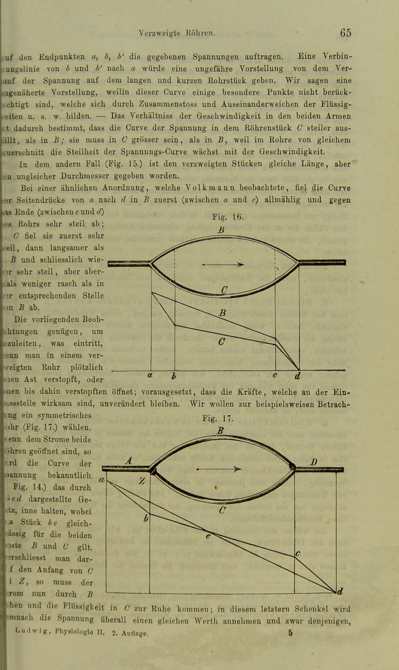 uf Jen Endpunkten a, b, b' die gegebenen Spannungen auftragen. Eine Verbin- ungslinie von b und b' nach a würde eine ungefähre Vorstellung von dem Ver- ruf der Spannung auf dem langen und kurzen Rohrstück geben. Wir sagen eine ifigenäherte Vorstellung, weilin dieser Curve einige besondere Punkte nicht berück- chtigt sind, welche sich durch Zusaramenstoss und Auseinanderweichen der Flüssig- eiten u. s. w. bilden. — Das Verhältniss der Geschwindigkeit in den beiden Armen it dadui-ch bestimmt, dass die Curve der Spannung in dem Röhrenstück C steiler aus- illt, als in B; sie muss in C grösser sein, als in B, weil im Rohre von gleichem uuerschnitt die Steilheit der Spannungs-Curve wächst mit der Geschwindigkeit. in dem andeni Fall (Fig. 15.) ist den verzweigten Stücken gleiche Länge, aber n ungleicher Durchmesser gegeben worden. Bei einer ähnlichen Anordnung, welche Volk mann beobachtete, fiel die Curve er Seitendrücke von a nach d in B zuerst (zwischen a und e) allmählig und gegen HS Ende (zwischen c und d) Rohrs sehr steil ab; C fiel sie zuerst sehr feil, dann langsamer als . B und schliesslich wie- \vc sehr steil, aber aber- als weniger rasch als in ir entsprechenden Stelle )n B ab. Die vorliegenden Beob- htungen genügen, um zuleiten, was eintritt, nun man in einem ver- 'feigten Rohr plötzlich neu Ast verstopft, oder • neu bis dahin verstopften öffnet; vorausgesetzt, dass die Kräfte, welche an der Ein- issstelle wirksam sind, unverändert bleiben. Wir wollen zur beispielsweisen Betrach- ng ein symmetrisches pjg )hr (Fig. 17.) wählen, f enn dem Strome beide ihren geöffnet sind, so .rd die Curve der «annung bekanntlich Fig. 14.) das durch ■» e d dargestellte Ge- iz, inne halten, wobei .8 Stück bc gleich- ässig für die beiden t38te B und C gilt. ■3rschlie88t man dar- f den Anfang von 0 i Z, so muss der rom nun durch B hen und die Flüssigkeit in O zur Ruhe kommen ; in diesem letztern Schenkel wird mnach die Spannung überall einen gleichen Werth annehmen und zwar denjenigen, Ludwig, Physiologie II. 2. Aiiilnge. 6