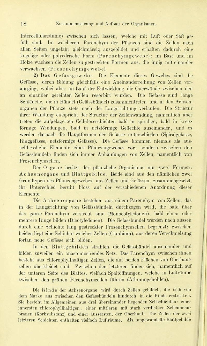 Intercellularräumej zwischen sich lassen, welche mit Luft oder Saft ge- füllt sind. Im weicheren Parenchym der Pflanzen sind die Zellen nach allen Seiten ungefähr gleichmässig ausgebildet und erhalten dadurch eine kugehge oder polyedrische Form (Parenchymgewebe); im Bast und im Holze wachsen die Zellen zu gestreckten Formen aus, die innig mit einander verwachsen (Prosenchymgewebe). 2) Das Gefässgewebe. Die Elemente dieses Gewebes sind die Gefässe, deren Bildung gleichfalls eine Aneinanderreihung von Zellen vor- ausging, wobei aber im Lauf der Entwicklung die Querwände zwischen den an einander gereihten Zellen resorbirt wurden. Die Gefässe sind lange Schläuche, die in Bündel (Gefässbündel) zusammentreten und in den Achsen- organen der Pflanze stets nach der Längsrichtung verlaufen. Die Structur ihrer Wandung entspricht der Structur der Zellenwandung, namentlich aber treten die aufgelagerten Gelluloseschichten bald in spiralige, bald in kreis- förmige Windungen, bald in netzförmige Geflechte auseinander, und es werden darnach die Hauptformen der Gefässe unterschieden (Spiralgefässe, Ringgefässe, netzförmige Gefässe). Die Gefässe kommen niemals als aus- schliessliche Elemente eines Pflanzengewebes vor, sondern zwischen den Gefässbündeln finden sich immer Anhäufungen von Zellen, namentlich von Prosenchymzellen. Der Organe besitzt der pflanzliche Organismus nur zwei Formen: Achsenorgane und Blattgebilde. Beide sind aus den nämlichen zwei Grundtypen des Pflanzengewebes, aus Zellen und Gefässen, zusammengesetzt, ihr Unterschied beruht bloss auf der verschiedenen Anordnung dieser Elemente. Die Achsen Organe bestehen aus einem Parenchym von Zellen, das in der Längsrichtung von Gefässbündeln durchzogen wird, die bald über das ganze Parenchym zerstreut sind (Monocotyledonen), bald einen oder mehrere Ringe bilden (Dicotyledonen). Die Gefässbündel werden nach aussen durch eine Schichte lang gestreckter Prosenchymzellen begrenzt; zwischen beiden liegt eine Schichte weicher Zellen (Gambium), aus deren Verschmelzung fortan neue Gefässe sich bilden. In den Blattgebilden strahlen die Gefässbündel auseinander und bilden zuweilen ein anastomosirendes Netz. Das Parenchym zwischen ihnen besteht aus chlorophyllhaltigen Zellen, die auf beiden Flächen von Oberhaut- zellen überkleidet sind. Zwischen den letzteren finden sich, namentlich auf der unteren Seite des Blattes, vielfach Spaltöffnungen, welche in Lufträume zwischen den grünen Parenchymzellen führen (Athmungshöhlen). Die Piinde der Achsenorgane wird durch Zellen gebildet, die sich von dem Marke aus zwischen den Gefässbündeln hindurch in die Rinde erstrecken. Sie besteht im Allgemeinen aus drei übereinander liegenden Zellschichten: einer innersten chlorophyllhaltigen, einer mittleren mit stark verdickten Zellenmem- branen (Korksubstanz) und einer äussersten, der Oberhaut. Die Zellen der zwei letzteren Schichten enthalten vielfach Lufträume. Als umgewandelte Blaltgebilde