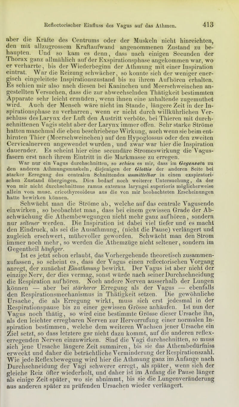 aber die Kräfte des Centrums oder der Muskeln nicht hinreichten, den mit allzugrossem Kraftaui'wand angenommenen Zustand zu be- haupten. Und so kam es denn, dass nach einigen Secunden der Thorax ganz allmählich auf der Exspirationsphase angekommen war, wo er verharrte, bis der Wiederbeginn der Athmung mit einer Inspiration eintrat. War die Reizung schwächer, so konnte sich der weniger ener- fisch eingeleitete Inspirationszustand bis zu ihrem Aufhören erhalten. Is schien mir also nach diesen bei Kaninchen und Meerschweinchen an- gestellten Versuchen, dass die zur abwechselnden Thätigkeit bestimmten Apparate sehr leicht ermüden, wenn ihnen eine anhaltende zugemuthet wird. Auch der Mensch wäre nicht im Stande, längere Zeit in der In- spirationsphase zu verharren, wenn er nicht durch willkührlichen Ver- schluss desLarynx der Luft den Austritt verböte, bei Thieren mit durch- schnittenen Vagis steht aber der Larynx immer offen. Sehr starke Ströme hatten manchmal die eben beschriebene Wirkung, auch wenn sie beim ent- hirnten Thier (Meerschweinchen) auf den Hypoglossus oder den zweiten Cervicalnerven angewendet wurden, und zwar war hier die Inspiration dauernder. Es scheint hier eine secundäre Stromeswirkung die Vagus- I fasern erst nach ihrem Eintritt in die Markmasse zu erregen. War nur ein Vagus durchschnitten, so schien es mir, dass im Gegensatz zu den anderen Athmungsrauskeln, diejenigen der Glottis der anderen Seite bei starker Erregung des centralen Schnittendes unmittelbar in einen exspiratori- ; sehen Zustand übergingen. Dies bedarf noch weiterer Untersuchung, da der I von mir nicht durchschnittene ramus externus laryngei superioris möglicherweise allein vom musc. cricothyreoideus aus die von mir beobachteten Erscheinungen hatte bewirken können. Schwächt man die Ströme ab, welche auf das centrale Vagusende einwirken, so beobachtet man, dass bei einem gewissen Grade der Ab- schwächung die Athembewegungen nicht mehr ganz aufhören, sondern nur seltener werden. Die Inspiration ist dabei viel tiefer und es macht den Eindruck, als sei die Ausathmung, (nicht die Pause) verlängert und zugleich erschwert, mühevoller geworden. Schwächt man den Strom immer noch mehr, so werden die Athemzüge nicht seltener, sondern im Gegentheil häufiger. Ist es jetzt schon erlaubt, das Vorhergehende theoretisch zusammen- zufassen , so scheint es, dass der Vagus einen reflectorischen Vorgang anregt, der zunächst Einathmung bewirkt. Der Vagus ist aber nicht der einzige Nerv, der dies vermas:, sonst würde nach seiner Durchschneidung die Respiration aufhören. Noch andere Nerven ausserhalb der Lungen können — aber bei stärkerer Erregung als der Vagus — ebenfalls I den Respirationsmechanismus in Thätigkeit setzen. Die gewöhnliche I Ursache, die als Erregung wirkt, muss sich erst jedesmal in der I Respirationspause bis zu einer gewissen Grösse anhäufen. Ist nun der Vagus noch thätig, so wird eine bestimmte Grösse dieser Ursache ihn, als den leichter erregbaren Nerven zur Hervorrufung einer normalen In- spiration bestimmen, welche dem weiteren Wachsen jener Ursache ein Ziel setzt, so dass letztere gar nicht dazu kommt, auf die anderen reflex- erregenden Nerven einzuwirken. Sind die Vagi durchschnitten, so muss sich jene Ursache längere Zeit summiren, bis sie das Athembedürfniss erweckt und daher die beträchtliche Verminderung der Respirationszahl. Wie jede Reflexbewegung wird hier die Athmung ganz im Anfange nach Durchschneidung der Vagi schwerer erregt, als später, wenn sich der gleiche Reiz öfter wiederholt, und daher ist im Anfang die Pause länger als einige Zeit später, wo sie abnimmt, bis sie die Lungenveränderung aus anderen später zu prüfenden Ursachen wieder verlängert.