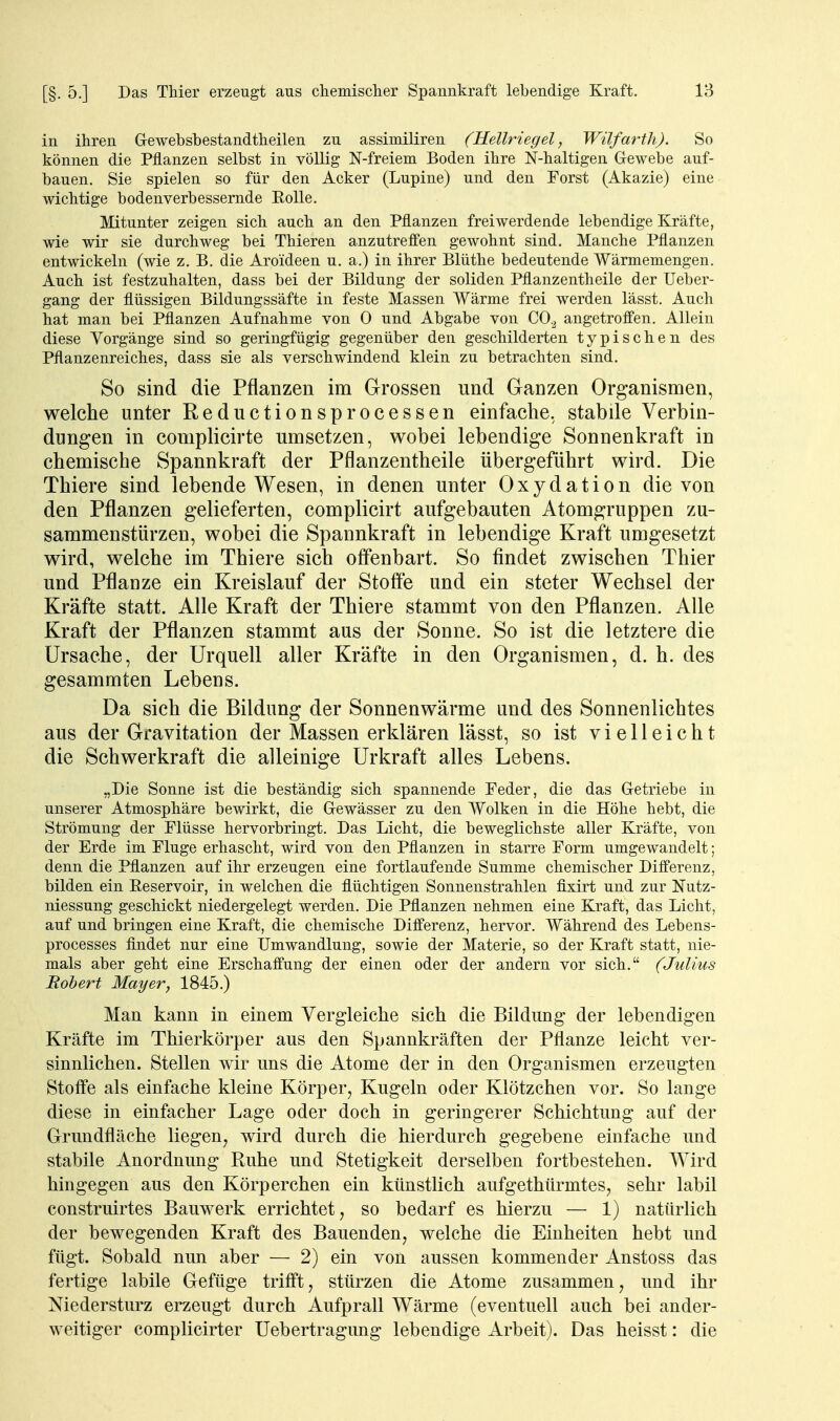 in ihren Gewebsbestandtheilen zu assimiliren (Hellriegel, Wilfarth). So können die Pflanzen selbst in völlig N-freiem Boden ihre N-haltigen Gewebe auf- bauen. Sie spielen so für den Acker (Lupine) und den Forst (Akazie) eine wichtige bodenverbessernde EoUe. Mitunter zeigen sich auch an den Pflanzen frei werdende lebendige Kräfte, wie wir sie durchweg bei Thieren anzutreffen gewohnt sind. Manche Pflanzen entwickeln (wie z. B. die Aroideen u. a.) in ihrer Blüthe bedeutende Wärmemengen. Auch ist festzuhalten, dass bei der Bildung der soliden Pflanzentheile der Ueber- gang der flüssigen Bildungssäfte in feste Massen Wärme frei werden lässt. Auch hat man bei Pflanzen Aufnahme von 0 und Abgabe von CO.^ angetroffen. Allein diese Vorgänge sind so geringfügig gegenüber den geschilderten typischen des Pflanzenreiches, dass sie als verschwindend klein zu betrachten sind. So sind die Pflanzen im Grossen und Ganzen Organismen, welche unter Reductionsprocessen einfache, stabile Verbin- dungen in complicirte umsetzen, wobei lebendige Sonnenkraft in chemische Spannkraft der Pflanzentheile übergeführt wird. Die Thiere sind lebende Wesen, in denen unter Oxydation die von den Pflanzen gelieferten, complicirt aufgebauten Atomgruppen zu- sammenstürzen, wobei die Spannkraft in lebendige Kraft umgesetzt wird, welche im Thiere sich offenbart. So findet zwischen Thier und Pflanze ein Kreislauf der Stofle und ein steter Wechsel der Kräfte statt. Alle Kraft der Thiere stammt von den Pflanzen. Alle Kraft der Pflanzen stammt aus der Sonne. So ist die letztere die Ursache, der Urquell aller Kräfte in den Organismen, d. h. des gesammten Lebens. Da sich die Bildung der Sonnenwärme und des Sonnenlichtes aus der Gravitation der Massen erklären lässt, so ist vielleicht die Schwerkraft die alleinige Urkraft alles Lebens. „Die Sonne ist die beständig sich spannende Feder, die das Getriebe in unserer Atmosphäre bewirkt, die Gewässer zu den Wolken in die Höhe hebt, die Strömung der Flüsse hervorbringt. Das Licht, die beweglichste aller Kräfte, von der Erde im Fluge erhascht, wird von den Pflanzen in starre Form umgewandelt; denn die Pflanzen auf ihr erzeugen eine fortlaufende Summe chemischer Differenz, bilden ein Reservoir, in welchen die flüchtigen Sonnenstrahlen fixirt und zur Nutz- niessung geschickt niedergelegt werden. Die Pflanzen nehmen eine Kraft, das Licht, auf und bringen eine Kraft, die chemische Differenz, hervor. Während des Lebens- processes findet nur eine Umwandlung, sowie der Materie, so der Kraft statt, nie- mals aber geht eine Erschaffung der einen oder der andern vor sich. (Julius Robert Mayer, 1845.) Man kann in einem Vergleiche sich die Bildung der lebendigen Kräfte im Thierkörper aus den Spannkräften der Pflanze leicht ver- sinnlichen. Stellen wir uns die Atome der in den Organismen erzengten Stoffe als einfache kleine Körper, Kugeln oder Klötzchen vor. So lange diese in einfacher Lage oder doch in geringerer Schichtung auf der Grundfläche liegen, wird durch die hierdurch gegebene einfache und stabile Anordnung Ruhe und Stetigkeit derselben fortbestehen. Wird hingegen aus den Körperchen ein künstlich aufgethürmtes, sehr labil construirtes Bauwerk errichtet, so bedarf es hierzu — 1) natürlich der bewegenden Kraft des Bauenden, welche die Einheiten hebt und fügt. Sobald nun aber — 2) ein von aussen kommender Anstoss das fertige labile Gefüge trifft, stürzen die Atome zusammen, und ihr Niedersturz erzeugt durch Aufprall Wärme (eventuell auch bei ander- weitiger complicirter üebertragung lebendige Arbeit). Das heisst: die