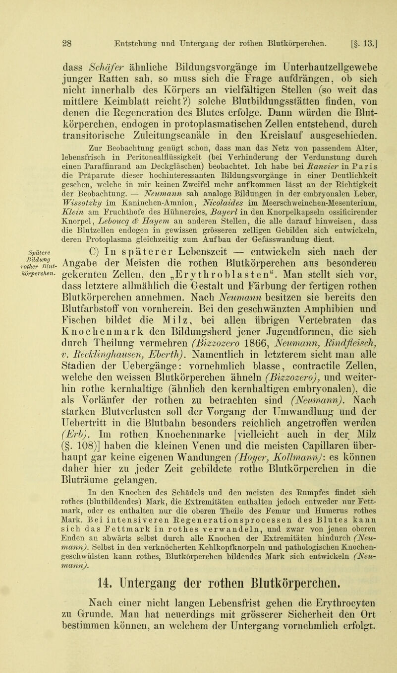 dass Schäfer ähnliche Bildungsvorgäuge im Unterhautzellgewebe junger Ratten sah, so muss sich die Frage aufdrängen, ob sich nicht innerhalb des Körpers an vielfältigen Stellen (so weit das mittlere Keimblatt reicht?) solche Blutbildungsstätten finden, von denen die Eegeneration des Blutes erfolge. Dann v^ürden die Blut- körperchen, endogen in protoplasmatischen Zellen entstehend, durch transitorische Zuleitungscanäle in den Kreislauf ausgeschieden. Zur Beobachtung genügt schon, dass man das Netz von passendem Alter, lebensfrisch in Peritonealflüssigkeit (bei Verhinderung der Verdunstung durch einen Paraffinrand am Deckgläschen) beobachtet. Ich habe bei Ranvier in P a r i s die Präparate dieser hochinteressanten Bildungsvorgänge in einer Deutlichkeit gesehen, welche in mir keinen Zweifel mehr aufkommen lässt an der Eichtigkeit der Beobachtung. — Neumann sah analoge Bildungen in der embryonalen Leber, Wissotzky im Kaninchen-Amnion, Nicolaides im Meerschweinchen-Mesenterium, Klein am Fruchthofe des Hühnereies, Bayerl in den Knorpelkapseln ossificirender Knorpel, Lehoucq & Hayem an anderen Stellen, die alle darauf hinweisen, dass die Blutzellen endogen in gewissen grösseren zelligen Gebilden sich entwickeln, deren Protoplasma gleichzeitig zum Aufbau der Gefässwandung dient. Spätere C) In spätcrcr Lebenszeit — entv^ickeln sich nach der rothet^'mut- Angabe der Meisten die rothen Blutkörperchen aus besonderen körperchen, gekernten Zellen, den „Erythroblasten. Man stellt sich vor, dass letztere allmählich die Gestalt und Färbung der fertigen rothen Blutkörperchen annehmen. Nach Neumann besitzen sie bereits den Blutfarbstoff von vornherein. Bei den geschwänzten Amphibien und Fischen bildet die Milz, bei allen übrigen Vertebraten das Knochenmark den Bildungsherd jener Jugendformeu, die sich durch Theilung vermehren (Bizzozero 1866, Netmiann^ Rindfleisch, V. Recklinghausen, Eherth). Namentlich in letzterem sieht man alle Stadien der Uebergänge: vornehmlich blasse, contractile Zellen, w^elche den weissen Blutkörperchen ähneln (Bizzozero), und weiter- hin rothe kernhaltige (ähnlich den kernhaltigen embryonalen), die als Vorläufer der rothen zu betrachten sind (Neumann). Nach starken Blutverlusten soll der Vorgang der Umwandlung und der Uebertritt in die Blutbahn besonders reichlich angetroffen werden (Erh). Im rothen Knochenmarke [vielleicht auch in der Milz (§. 108)] haben die kleinen Venen und die meisten Capillaren über- haupt gar keine eigenen Wandungen (Hoyer, KoIImannJ: es können daher hier zu jeder Zeit gebildete rothe Blutkörperchen in die Bluträume gelangen. In den Knochen des Schädels und den meisten des Eumpfes findet sich rothes (blutbildendes) Mark, die Extremitäten enthalten jedoch entweder nur Fett- mark, oder es enthalten nur die oberen Theile des Femur und Humerus rothes Mark, Bei intensiveren Regenerationsprocessen des Blutes kann sich das Fettmark in rothes verwandeln, und zwar von jenen oberen Enden an abwärts selbst durch alle Knochen der Extremitäten hindurch (Neu- mann). Selbst in den verknöcherten Kehlkopfknorpeln und pathologischen Knochen- geschwülsten kann rothes, Blutkörperchen bildendes Mark sich entwickeln (Neu- mann). 14. Untergang der rotlien Blntkörperchen. Nach einer nicht langen Lebensfrist gehen die Erythrocyten zu Grunde. Man hat neuerdings mit grösserer Sicherheit den Ort bestimmen können, an welchem der Untergang vornehmlich erfolgt.