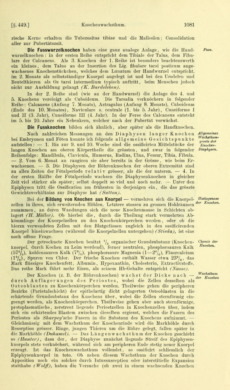 rische Kerne erhalten die Tiiberositas tibiae und die Malleolen; Consolidation aller zur Pubertätszeit. Die Fusswurzelknochen haben eine ganz analoge Anlage, wie die Hand- wurzelknochen : in der ersten Reihe entspricht dem Tibiale der Talus, dem Fibu- lare der Calcaneus. Als 3. Knochen der 1. Reihe ist besonders beachtenswerth ein kleines, dem Talus an der Insertion des Lig. flbulare tarsi posticum ange- wachsenes Knochenstückchen, welches dem Lunatum der Handwurzel entspricht, im 2. Monate als selbstständiger Knorpel angelegt ist und bei den Urodelen und Beutelthieren als Os tarsi intermedium typisch auftritt, beim Menschen jedoch nicht zur Ausbildung gelangt (K. Bardelehen). In der 2. Reihe sind (wie an der Handwurzel) die Anlage des 4. und 5. Knochens vereinigt als Cuboideum. Die Tarsalia verknöchern in folgender Reihe: Calcaneus (Anfang 7. Monats), Astragalus (Anfang 8. Monats), Cuboideum (Ende des 10. Monates), Naviculare s. centrale (1, bis 5. Jahr), Cuneiforme I und II (3. Jahr), Cuneiforme III (4. Jahr). In der Ferse des Calcaneus entsteht im 5. bis 10. Jahre ein Nebenkern, welcher nach der Pubertät verwächst. Die Fussicnochen bilden sich ähnlich, aber später als die Handknochen. Nach zahlreichen Messungen an den Diaphysen langer Knochen bei Embryonen und Föten konnte ich folgende allgemeine Gesichtspunkte aufstellen: — 1. Bis zur 9. und 10. Woche sind die ossificirten Mittelstücke der langen Knochen am oberen Körpertheile die grössten, und zwar in folgender Reihenfolge: Mandibula, Clavicula, Humerus, Radius, Ulna, Femur, Tibia, Fibula. — 2. Vom 6. Monat an rangiren sie aber bereits in der Grösse, wie beim Er- wachsenen. — 3. Die Diaphysen der Röhrenknochen der oberen Extremität sind zu allen Zeiten der Fötalperiode relativ grösser, als die der unteren. — 4. In der ersten Hälfte der Fötalperiode wachsen die Diaphysenknochen in gleicher Zeit viel stärker als später; selbst doppelt so viel und noch mehr. — Unter den Epiphysen tritt die Ossification am frühesten in derjenigen ein, die das grösste Gewichtsverhältniss zur Diaphyse hat (Sutton). Bei der Bildung von Knochen aus Knorpel — vermehren sich die Knorpel- zellen in ihren, sich erweiternden Höhlen. Letztere stossen zu grossen Hohlräumen zusammen, an deren Wandungen sich die neue Kuochenniasse in Schichten ab- lagert (H. Müller). Ob hierbei die, durch die Theilung stark vermehrten Ab- kömmlinge der Knorpelzellen zu den Knochenkörperchen werden, oder ob die hierzu verwendeten Zellen mit den Blutgefässen zugleich in den ossificirenden Knorpel hineinwachsen (während die Knorpelzellen untergehen) (^*S'f^e(^a>, ist eine noch offene Frage. Der getrocknete Knochen besitzt Ys organischer Grundsubstanz (Knochen- knorpel, durch Kochen zu Leim werdend), ferner neutralen, phosphorsaur.en Kalk (577o)) kohlensauren Kalk (77o)) phosphorsaure Magnesia (1 — 27o)) Fluorcalcium (17o)5 Spuren von Chlor. Der frische Knochen enthält Wasser etwa 237o > Mark flüssiges Knochenfett, Albumin, Hypoxanthin, Cholesterin, Extractivstoöe, Das rothe Mark führt mehr Eisen, als seinem Hb-Gehalte entspricht (Nasse). Der Knochen (z. B. der Röhrenknochen) wächst der Dicke nach — durch Auflagerungen des Periostes, wobei die Zellen desselben als Osteoblasten zu Knochenkörperchen werden. Theilweise gehen die peripheren Bezirke (Parietalschicht) der epithelartig dicht gelagerten Osteoblasten in die erhärtende Grundsubstanz des Knochens über, wobei die Zellen sternförmig ein- geengt werden, als Knochenkörperchen. Theilweise gehen aber auch sternförmige, protoplasmatische, zerstreut liegende Periostzellen in Knochenzellen über, indem sich ein erhärtendes Blastem zwischen dieselben ergiesst, welches die Fasern des Periostes als Shar2Jey'sche Fasern in die Substanz des Knochens aufnimmt. — Gleichmässig mit dem Wachsthum der Knochenrinde wird die Markhöhle durch Resorption grösser. Ringe, jungen Thieren um die Röhre gelegt, fallen später in die Markhöhle (Duhamel). — Das Längen wach stimm der Knochen geschieht so (Hunter), dass der, der Diaphyse zunächst liegende Streif des Epiphysen- knorpels stets verknöchert, während sich am peripheren Ende stetig neuer Knorpel erzeugt. Ist das Knochenwachsthuni vollendet, so ossificirt schliesslich der Epiphysenknorpel in toto. Ob neben diesem Wachsthum der Knochen durch Apposition noch ein solches durch Intussusception oder interstitielle Expansion statthabe (Woljf), haben die Versuche (ob zwei in einem wachsenden Knochen Fuss. Allgemeines Wachsthum- yesetz der Knochen- Diaphysen. Histiogenese der Knochen. Chemie der Knochen. Wachsthum der Knochen