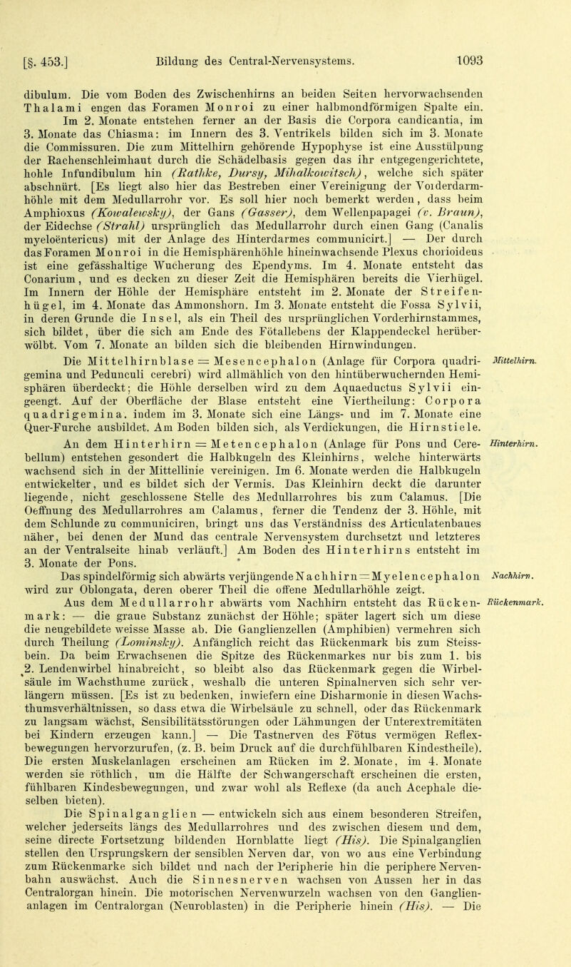 [§. 453.] dibulum. Die vom Boden des Zwisclienhirns an beiden Seiten liervorwachsenden Thalami engen das Foramen Monroi zu einer halbmondförmigen Spalte ein. Im 2. Monate entstehen ferner an der Basis die Corpora candicantia, im 3. Monate das Chiasma: im Innern des 3. Ventrikels bilden sich im S.Monate die Commissuren. Die zum Mittelhirn gehörende Hypophyse ist eine Ausstülpung der Rachenschleimhaut durch die Schädelbasis gegen das ihr entgegengerichtete, hohle Infundibulum hin (Eathke^ Dursy, Mihalkotvitsch), welche sich später abschnürt. [Es liegt also hier das Bestreben einer Vereinigung der Voiderdarm- höhle mit dem Medullarrohr vor. Es soll hier noch bemerkt werden, dass beim Amphioxus (Kotvalewshy)^ der Gans (Gasser), dem Wellenpapagei (v. Braun), der Eidechse f'AS'fra/^/^ ursprünglich das Medullarrohr durch einen Gang (Canalis myeloentericus) mit der Anlage des Hinterdarmes communicirt.] — Der durch das Foramen Monroi in die Hemisphärenhöhle hineinwachsende Plexus chorioideus ist eine gefässhaltige Wucherung des Ependyms. Im 4. Monate entsteht das Conarium, und es decken zu dieser Zeit die Hemisphären bereits die Vierhügel. Im Innern der Höhle der Hemisphäre entsteht im 2. Monate der Streifen- hügel, im 4. Monate das Ammonshorn. Im 3. Monate entsteht die Fossa Sylvii, in deren Grunde die Insel, als ein Theil des ursprünglichen Vorderhirnstammes, sich bildet, über die sich am Ende des Fötallebens der Klappendeckel herüber- wölbt. Vom 7. Monate an bilden sich die bleibenden Hirnwindungen. Die Mittelhirnblase = Mesencephalon (Anlage für Corpora quadri- Mitteihirn. gemina und Pedunculi cerebri) wird allmählich von den hintüberwuchernden Hemi- sphären überdeckt; die Höhle derselben wird zu dem Aquaeductus Sylvii ein- geengt. Auf der Oberfläche der Blase entsteht eine Viertheilung: Corpora quadrigemina. indem im 3. Monate sich eine Längs- und im 7. Monate eine Quer-Furche ausbildet. Am Boden bilden sich, als Verdickungen, die Hirnstiele. An dem Hinterhirn = Metencephalon (Anlage für Pons und Cere- HinterMm. bellum) entstehen gesondert die Halbkugeln des Kleinhirns, welche hinterwärts wachsend sich in der Mittellinie vereinigen. Im 6. Monate werden die Halbkugeln entwickelter, und es bildet sich der Vermis. Das Kleinhirn deckt die darunter liegende, nicht geschlossene Stelle des Medullarrohres bis zum Calamus. [Die Oeffnung des Medullarrohres am Calamus, ferner die Tendenz der 3. Höhle, mit dem Schlünde zu communiciren, bringt uns das Verständniss des Articulatenbaues näher, bei denen der Mund das centrale Nervensystem durchsetzt und letzteres an der Ventralseite hinab verläuft.] Am Boden des Hinterhirns entsteht im 3. Monate der Pons. Das spindelförmig sich abwärts verjüngendeNaclihirn = Myelencephalon JS/achMrv. wird zur Oblongata, deren oberer Theil die offene Medullarhöhle zeigt. Aus dem Medullarrohr abwärts vom Nachhirn entsteht das Rücken- BückenmarJc. mark: — die graue Substanz zunächst der Höhle; später lagert sich um diese die neugebildete weisse Masse ab. Die Ganglienzellen (Amphibien) vermehren sich durch Theilung (Lominsky). Anfänglich reicht das Rückenmark bis zum Steiss- bein. Da beim Erwachsenen die Spitze des Rückenmarkes nur bis zum 1. bis 2. Lendenwirbel hinabreicht, so bleibt also das Rückenmark gegen die Wirbel- säule im Wachsthume zurück, weshalb die unteren Spinalnerven sich sehr ver- längern müssen. [Es ist zu bedenken, inwiefern eine Disharmonie in diesen Wachs- thumsverhältnissen, so dass etwa die Wirbelsäule zu schnell, oder das Rückenmark zu langsam wächst, Sensibilitätsstörungen oder Lähmungen der Unterextremitäten bei Kindern erzeugen kann.] — Die Tastnerven des Fötus vermögen Reflex- bewegungen hervorzurufen, (z. B. beim Druck auf die durchfühlbaren Kindestheile). Die ersten Muskelanlagen erscheinen am Rücken im 2. Monate, im 4. Monate werden sie röthlich, um die Hälfte der Schwangerschaft erscheinen die ersten, fühlbaren Kindesbewegungen, und zwar wohl als Reflexe (da auch Acephale die- selben bieten). Die Spinalganglien — entwickeln sich aus einem besonderen Streifen, welcher jederseits längs des Medullarrohres und des zwischen diesem und dem, seine directe Fortsetzung bildenden Hornblatte liegt (His). Die Spinalganglien stellen den Ursprungskern der sensiblen Nerven dar, von wo aus eine Verbindung zum Rückenmarke sich bildet und nach der Peripherie hin die periphere Nerven- bahn auswächst. Auch die Sinnesnerven wachsen von Aussen her in das Centraiorgan hinein. Die motorischen Nervenwurzeln wachsen von den Ganglien- anlagen im Centraiorgan (Neuroblasten) in die Peripherie hinein (His). — Die